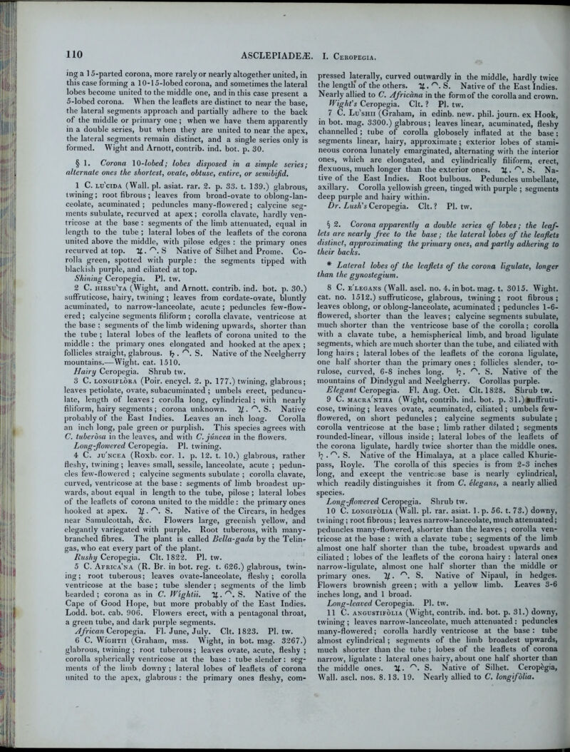 ing a 15-parted corona, more rarely or nearly altogether united, in this case forming a 10-15-lobed corona, and sometimes the lateral lobes become united to the middle one, and in this case present a 5-lobed corona. When the leaflets are distinct to near the base, the lateral segments approach and partially adhere to the back of the middle or primary one ; when we have them apparently in a double series, but when they are united to near the apex, the lateral segments remain distinct, and a single series only is formed. Wight and Arnott, contrib. ind. bot. p. 30. § 1. Corona 10-lobed; lobes disposed in a simple series; alternate ones the shortest, ovate, obtuse, entire, or semibifid. 1 C. lu'cida (Wall. pi. asiat. rar. 2. p. 33. t. 139.) glabrous, twining; root fibrous; leaves from broad-ovate to oblong-lan- ceolate, acuminated ; peduncles many-flowered; calycine seg- ments subulate, recurved at apex; corolla clavate, hardly ven- tricose at the base : segments of the limb attenuated, equal in length to the tube ; lateral lobes of the leaflets of the corona united above the middle, with pilose edges : the primary ones recurved at top. %.r'. S Native of Silhet and Prome. Co- rolla green, spotted with purple: the segments tipped with blackish purple, and ciliated at top. Shining Ceropegia. PL tw. 2 C. iiirsu'ta (Wight, and Arnott. contrib. ind. bot. p. 30.) suffruticose, hairy, twining; leaves from cordate-ovate, bluntly acuminated, to narrow-lanceolate, acute; peduncles few-flow- ered ; calycine segments filiform; corolla clavate, ventricose at the base : segments of the limb widening upwards, shorter than the tube ; lateral lobes of the leaflets of corona united to the middle : the primary ones elongated and hooked at the apex ; follicles straight, glabrous. F?. S. Native of the Neelgherry mountains.—Wight, cat. 1.510. Hairy Ceropegia. Shrub tw. 3 C. longiflora (Poir. encycl. 2. p. 177.) twining, glabrous; leaves petiolate, ovate, subacuminated ; umbels erect, peduncu- late, length of leaves; corolla long, cylindrical; with nearly filiform, hairy segments; corona unknown. 1/. rs. S. Native probably of the East Indies. Leaves an inch long. Corolla an inch long, pale green or purplish. This species agrees with C. tuberosa in the leaves, and with C. juncea in the flowers. Long-Jlowered Ceropegia. PI. twining. 4 C. ju'ncea (Roxb. cor, 1. p. 12. t. 10.) glabrous, rather fleshy, twining; leaves small, sessile, lanceolate, acute ; pedun- cles few-flowered ; calycine segments subulate ; corolla clavate, curved, ventricose at the base: segments of limb broadest up- wards, about equal in length to the tube, pilose; lateral lobes of the leaflets of corona united to the middle : the primary ones hooked at apex. 1/. /”\ S. Native of the Circars, in hedges near Samulcottah, &c. Flowers large, greenish yellow, and elegantly variegated with purple. Root tuberous, with many- branched fibres. The plant is called Bella-gada by the Telin- gas, who eat every part of the plant. Rushy Ceropegia. Clt. 1822. PI. tw. 5 C. Africa'na (R. Br. in bot. reg. t. G26.) glabrous, twin- ing; root tuberous; leaves ovate-lanceolate, fleshy; corolla ventricose at the base; tube slender; segments of the limb bearded; corona as in C. Wightii. 7£.''\ S. Native of the Cape of Good Hope, but more probably of the East Indies. Lodd. bot. cab. 906. Flowers erect, with a pentagonal throat, a green tube, and dark purple segments. African Ceropegia. FI. June, July. Clt. 1823. PI. tw. 6 C. Wightii (Graham, mss. Wight, in bot. mag. 3267.) glabrous, twining ; root tuberous; leaves ovate, acute, fleshy ; corolla spherically ventricose at the base : tube slender: seg- ments of the limb downy ; lateral lobes of leaflets of corona united to the apex, glabrous : the primary ones fleshy, com- pressed laterally, curved outwardly in the middle, hardly twice the length' of the others. %. S. Native of the East Indies. Nearly allied to C. Africana in the form of the corolla and crown. Wight's Ceropegia. Clt. ? PL tw. 7 C. Lu'shii (Graham, in edinb. new. phil. journ. ex Hook, in bot. mag. 3300.) glabrous; leaves linear, acuminated, fleshy channelled; tube of corolla globosely inflated at the base; segments linear, hairy, approximate; exterior lobes of stami- neous corona lunately emarginated, alternating with the interior ones, which are elongated, and cylindrically filiform, erect, flexuous, much longer than the exterior ones. %. r'. S. Na- tive of the East Indies. Root bulbous. Peduncles umbellate, axillary. Corolla yellowish green, tinged with purple ; segments deep purple and hairy within. Dr. Lush's Ceropegia. Clt.? PL tw. § 2. Corona apparently a double series of lobes; the leaf- lets are nearly free to the base; the lateral lobes of the leaflets distinct, approximating the primary ones, and partly adhering to their backs. * Lateral lobes of the leaflets of the corona ligulate, longer than the gynostegium. 8 C. e'legans (Wall. ascl. no. 4. in bot. mag. t. 3015. Wight, cat. no. 1512.) suffruticose, glabrous, twining; root fibrous; leaves oblong, or oblong-lanceolate, acuminated ; peduncles 1-6- flowered, shorter than the leaves; calycine segments subulate, much shorter than the ventricose base of the corolla; corolla with a clavate tube, a hemispherical limb, and broad ligulate segments, which are much shorter than the tube, and ciliated with long hairs ; lateral lobes of the leaflets of the corona ligulate, one half shorter than the primary ones ; follicles slender, to- rulose, curved, 6-8 inches long. Tj. r'. S. Native of the mountains of Dindygul and Neelgherry. Corollas purple. Elegant Ceropegia. FI. Aug. Oct. Clt. 1828. Shrub tw. 9 C. macra'ntha (Wight, contrib. ind. bot. p. 31.) suffruti- cose, twining; leaves ovate, acuminated, ciliated; umbels few- flowered, on short peduncles; calycine segments subulate; corolla ventricose at the base ; limb rather dilated ; segments rounded-linear, villous inside; lateral lobes of the leaflets of the corona ligulate, hardly twice shorter than the middle ones. J? • S. Native of the Himalaya, at a place called Khurie- pass, Royle. The corolla of this species is from 2-3 inches long, and except the ventricose base is nearly cylindrical, which readily distinguishes it from C. elegans, a nearly allied species. Long-flowered Ceropegia. Shrub tw. 10 C. longifolia (Wall. pi. rar. asiat. l.p. 56. t. 73.) downy, twining; root fibrous; leaves narrow-lanceolate, much attenuated; peduncles many-flowered, shorter than the leaves; corolla ven- tricose at the base : with a clavate tube ; segments of the limb almost one half shorter than the tube, broadest upwards and ciliated ; lobes of the leaflets of the corona hairy : lateral ones narrow-ligulate, almost one half shorter than the middle or primary ones. 7/. rN. S. Native of Nipaul, in hedges. Flowers brownish green; with a yellow limb. Leaves 3-6 inches long, and 1 broad. Long-leaved Ceropegia. PL tw. 11C. angustifolia (Wight, contrib. ind. bot. p. 31.) downy, twfining ; leaves narrow-lanceolate, much attenuated : peduncles many-flowered; corolla hardly ventricose at the base: tube almost cylindrical; segments of the limb broadest upwards, much shorter than the tube ; lobes of the leaflets of corona narrow, ligulate : lateral ones hairy, about one half shorter than the middle ones. r'. S. Native of Silhet. Ceropegia, Wall. ascl. nos. 8. 13. 19. Nearly allied to C. longifolia.