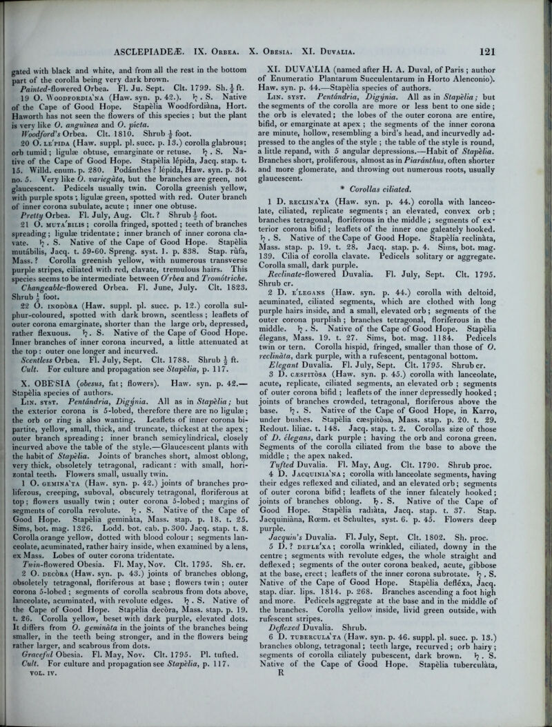 ASCLEPIADEiE. IX. Orbea. X. Obesia. XI. Duvalia. gated with black and white, and from all the rest in the bottom part of the corolla being very dark brown. Painted-Powered Orbea. FI. Ju. Sept. Clt. 1799. Sh.-§Tt. 19 0. Woodfordia'na (Haw. syn. p. 42.). Tj . S. Native of the Cape of Good Hope. Stapelia Woodfordittna, Hort. Haworth has not seen the flowers of this species ; but the plant is very like O. angulnea and O. picta. Woodford's Orbea. Clt. 1810. Shrub ^ foot. 20 O. le'pida (Haw. suppl. pi. succ. p. 13.) corolla glabrous; orb tumid ; ligulae obtuse, emarginate or retuse. Tj . S. Na- tive of the Cape of Good Hope. Stapelia lepida, Jacq. stap. t. 15. Willd. enum.p. 280. Podanthes ? lepida, Haw. syn. p. 34. no. 5. Very like 0. variegata, but the branches are green, not glaucescent. Pedicels usually twin. Corolla greenish yellow, with purple spots ; ligulae green, spotted with red. Outer branch of inner corona subulate, acute ; inner one obtuse. Pretty Orbea. FI. July, Aug. Clt.? Shrub \ foot. 21 O. muta'bilis ; corolla fringed, spotted ; teeth of branches spreading; ligulae tridentate; inner branch of inner corona cla- vate. Tj . S. Native of the Cape of Good Hope. Stapelia mutabilis, Jacq. t. 59-60. Spreng. syst. 1. p. 838. Stap. rufa, Mass. ? Corolla greenish yellow, with numerous transverse purple stripes, ciliated with red, clavate, tremulous hairs. This species seems to be intermediate between O'rbea and Tromotriche. Changeable-Powered Orbea. FI. June, July. Clt. 1823. Shrub j foot. 22 O. inodora (Haw. suppl. pi. succ. p. 12.) corolla sul- phur-coloured, spotted with dark brown, scentless ; leaflets of outer corona emarginate, shorter than the large orb, depressed, rather flexuous. Tj. S. Native of the Cape of Good Hope. Inner branches of inner corona incurved, a little attenuated at the top : outer one longer and incurved. Scentless Orbea. FI. July, Sept. Clt. 1788. Shrub \ ft. Cult. For culture and propagation see Stapelia, p. 117. X. OBE'SIA (obesus, fat; flowers). Haw. syn. p. 42.— Stapelia species of authors. Lin. syst. Pentandria, Digynia. All as in Stapelia; but the exterior corona is 5-lobed, therefore there are no ligulae; the orb or ring is also wanting. Leaflets of inner corona bi- i partite, yellow, small, thick, and truncate, thickest at the apex ; outer branch spreading; inner branch semicylindrical, closely incurved above the table of the style.—Glaucescent plants with the habit of Stapelia. Joints of branches short, almost oblong, very thick, obsoletely tetragonal, radicant: with small, hori- zontal teeth. Flowers small, usually twin. 1 O. gemina'ta (Haw. syn. p. 42.) joints of branches pro- liferous, creeping, suboval, obscurely tetragonal, floriferous at top; flowers usually twin ; outer corona 5-lobed ; margins of segments of corolla revolute. Tj . S. Native of the Cape of Good Hope. Stapelia geminata, Mass. stap. p. 18. t. 25. Sims, bot. mag. 1326. Lodd. bot. cab. p.300. Jacq. stap. t. 8. Corolla orange yellow, dotted with blood colour ; segments lan- ceolate, acuminated, rather hairy inside, when examined by a lens, ex Mass. Lobes of outer corona tridentate. 7»i’iw-flowered Obesia. FI. May, Nov. Clt. 1795. Sh. cr. 2 O. decora (Haw. syn. p. 43.) joints of branches oblong, obsoletely tetragonal, floriferous at base ; flowers twin ; outer corona 5-lobed ; segments of corolla scabrous from dots above, lanceolate, acuminated, with revolute edges. Tj . S. Native of i the Cape of Good Hope. Stapelia decora, Mass. stap. p. 19. t. 26. Corolla yellow, beset with dark purple, elevated dots. It differs from 0. geminata in the joints of the branches being smaller, in the teeth being stronger, and in the flowers being rather larger, and scabrous from dots. Graceful Obesia. FI. May, Nov. Clt. 1795. PI. tufted. Cult. For culture and propagation see Stapelia, p. 117. VOL. IV. 121 XI. DUVA'LIA (named after H. A. Duval, of Paris ; author of Enumeratio Plantarum Succulentarum in Horto Alenconio). Haw. syn. p. 44.—Stapelia species of authors. Lin. syst. Pentdndria, Digynia. All as in Stapelia; but the segments of the corolla are more or less bent to one side ; the orb is elevated; the lobes of the outer corona are entire, bifid, or emarginate at apex ; the segments of the inner corona are minute, hollow, resembling a bird’s head, and incurvedly ad- pressed to the angles of the style ; the table of the style is round, a little repand, with 5 angular depressions.—Habit of Stapelia. Branches short, proliferous, almost as in Piaranthus, often shorter and more glomerate, and throwing out numerous i-oots, usually glaucescent. * Corollas ciliated. 1 D. reclina'ta (Haw. syn. p. 44.) corolla with lanceo- late, ciliated, replicate segments; an elevated, convex orb; branches tetragonal, floriferous in the middle; segments of ex- terior corona bifid ; leaflets of the inner one galeately hooked. I? . S. Native of the Cape of Good Hope. Stapelia reclinkta, Mass. stap. p. 19. t. 28. Jacq. stap. p. 4. Sims, bot. mag. 139. Cilia of corolla clavate. Pedicels solitary or aggregate. Corolla small, dark purple. Reclinate-Powered Duvalia. FI. July, Sept. Clt. 1795. Shrub cr. 2 D. e'legans (Haw. syn. p. 44.) corolla with deltoid, acuminated, ciliated segments, which are clothed with long purple hairs inside, and a small, elevated orb ; segments of the outer corona purplish ; branches tetragonal, floriferous in the middle. 1j . S. Native of the Cape of Good Hope. Stapelia elegans, Mass. 19. t. 27. Sims, bot. mag. 1184. Pedicels twin or tern. Corolla hispid, fringed, smaller than those of O. reclinata, dark purple, with a rufescent, pentagonal bottom. Elegant Duvalia. FI. July, Sept. Clt. 1795. Shrubcr. 3 D. c^sriTosA (Haw. syn. p. 45.) corolla with lanceolate, acute, replicate, ciliated segments, an elevated orb ; segments of outer corona bifid ; leaflets of the inner depressedly hooked ; joints of branches crowded, tetragonal, floriferous above the base. 12 • S. Native of the Cape of Good Hope, in Karro, under bushes. Stapelia caespitosa, Mass. stap. p. 20. t. 29. Redout. liliac. t. 148. Jacq. stap. t. 2. Corollas size of those of D. elegans, dark purple ; having the orb and corona green. Segments of the corolla ciliated from the base to above the middle ; the apex naked. Tufted Duvalia. FI. May, Aug. Clt. 1790. Shrub proc. 4 D. Jacquinia'na ; corolla with lanceolate segments, having their edges reflexed and ciliated, and an elevated orb; segments of outer corona bifid; leaflets of the inner falcately hooked; joints of branches oblong. 1?. S. Native of the Cape of Good Hope. Stapelia radi^ta, Jacq. stap. t. 37. Stap. Jacquiniana, Rcem. et Schultes, syst. 6. p. 45. Flowers deep purple. Jacquin’s Duvalia. FI. July, Sept. Clt. 1802. Sh. proc. 5 D. ? defle'xa ; corolla wrinkled, ciliated, downy in the centre; segments with revolute edges, the whole straight and deflexed ; segments of the outer corona beaked, acute, gibbose at the base, erect; leaflets of the inner corona subrotate. lj . S. Native of the Cape of Good Hope. Stapelia deflexa, Jacq. stap. diar. lips. 1814. p.268. Branches ascending a foot high and more. Pedicels aggregate at the base and in the middle of the branches. Corolla yellow inside, livid green outside, with rufescent stripes. Deflexed Duvalia. Shrub. 6 D. tuberculata (Haw. syn. p. 46. suppl. pi. succ. p. 13.) branches oblong, tetragonal; teeth large, recurved ; orb hairy ; segments ol corolla ciliately pubescent, dark brown. Tj . S. Native of the Cape of Good Hope. Stapelia tuberculata,