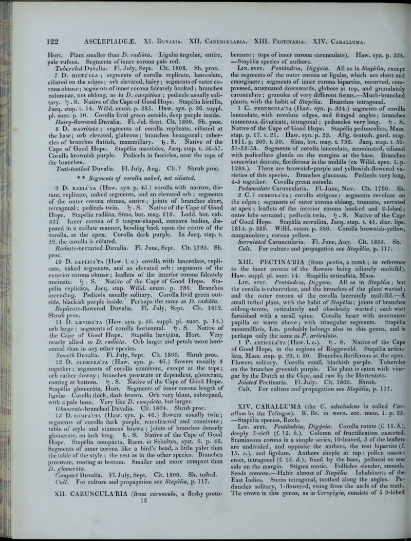 Hort. Plant smaller than D. radiata. Ligulae angular, entire, pale rufous. Segments of inner corona pale red. Tubercled Duvalia. FI. July, Sept. Clt. 1808. Sh. proc. 7 D. hirte'lla ; segments of corolla replicate, lanceolate, ciliated on the edges ; orb elevated, hairy ; segments of outer co- rona obtuse; segments of inner corona falcately hooked; branches columnar, not oblong, as in D. ccespitosa ; pedicels usually soli- tary. Tj. S. Native of the Cape of Good Hope. Stap&lia hirtella, Jacq. stap. t. 14. Willd. enum. p. 285. Haw. syn. p. 26. suppl. pi. succ. p. 10. Corolla livid green outside, deep purple inside. Hairy-fiowered Duvalia. FI. Jul. Sept. Clt. 1800. Sh. proc. 8 D. mastodes ; segments of corolla replicate, ciliated at the base; orb elevated, glabrous; branches hexagonal; tuber- cles of branches flattish, mammillary. Tj • S. Native of the Cape of Good Hope. StapHia mastodes, Jacq. stap. t. 56-57. Corolla brownish purple. Pedicels in fascicles, near the tops of the branches. Teat-toothed Duvalia. FI. July, Aug. Clt.? Shrub proc. * * Segments of corolla naked, not ciliated. 9 D. radia'ta (Haw. syn. p. 45.) corolla with narrow, dis- tant, replicate, naked segments, and an elevated orb ; segments of the outer corona obtuse, entire ; joints of branches short, tetragonal; pedicels twin. Tj . S. Native of the Cape of Good Hope. Stapelia radiata, Sims, bot. mag. 619. Lodd. bot. cab. 831. Inner corona of 5 tongue-shaped, concave bodies, dis- posed in a stellate manner, bending back upon the centre of the corolla, at the apex. Corolla dark purple. In Jacq. stap. t. 29, the corolla is ciliated. Aac/taie-nectaried Duvalia. FI. June, Sept. Clt. 1795. Sh. proc. 10 D. replica'ta (Haw. 1. c.) corolla with lanceolate, repli- cate, naked segments, and an elevated orb ; segments of the exterior corona obtuse ; leaflets of the interior corona falcately uncinate. Tj . S. Native of the Cape of Good Hope. Sta- pelia replic&ta, Jacq. stap. Willd. enum, p. 286. Branches ascending. Pedicels usually solitary. Corolla livid green out- side, blackish purple inside. Perhaps the same as D. radiata. RepZicate-flowered Duvalia. FI. July, Sept. Clt. 1812. Shrub proc. 11 D. l^viga'ta (Haw. syn. p. 46. suppl. pi. succ. p. 14.) orb large ; segments of corolla horizontal. 1? . S. Native of the Cape of Good Hope. Stapelia laevigata, Hort. Very nearly allied to D. radiata. Orb larger and petals more hori- zontal than in any other species. Smooth Duvalia. FI. July, Sept. Clt. 1800. Shrub proc. 12 D. glomera'ta (Haw. syn. p. 46.) flowers usually 4 together; segments of corolla connivent, except at the tops; orb rather downy ; branches prostrate or dependent, glomerate, rooting at bottom. \ . S. Native of the Cape of Good Hope. Stapelia glomerata, Hort. Segments of inner corona length of ligulae. Corolla thick, dark brown. Orb very blunt, subrepand, with a pale base. Very like D. compacta, but larger. Glomerate-branched Duvalia. Clt. 1804. Shrub proc. 13 D. compa'cta (Haw. syn. p. 46.) flowers usually tw'in ; segments of corolla dark purple, retrofracted and connivent; table of style and stamens brown ; joints of branches densely glomerate, an inch long. 1? . S. Native of the Cape of Good Hope. Stapelia compacta, Rcem. et Schultes, syst. 6. p. 46. Segments of inner corona like a bird’s head, a little paler than the table of the style ; the rest as in the other species. Branches prostrate, rooting at bottom. Smaller and more compact than D. glomerata. Compact Duvalia. FI. July, Sept. Clt. 1800. Sh. tufted. Cult. For culture and propagation see Stapelia, p. 117. XII. CARUNCULA'RIA (from caruncula, a fleshy protu- 12 berance ; tops of inner corona carunculate). Haw. syn. p. 334. —Stapelia species of authors. Lin. syst. Pentdndria, Digynia. All as in Stapelia, except the segments of the outer corona or ligulae, which are short and emarginate ; segments of inner corona bipartite, recurved, com- pressed, attenuated downwards, globose at top, and granulately carunculate ; granules of very different forms.—Much-branched plants, with the habit of Stapelia. Branches tetragonal. 1 C. peduncula'ta (Haw. syn. p. 334.) segments of corolla lanceolate, with revolute edges, and fringed angles; branches numerous, divaricate, tetragonal ; peduncles very long. . S. Native of the Cape of Good Hope. Stapelia pedunculata, Mass, stap. p. 17. t. 21. Haw. syn. p. 23. Allg. teutsch. gard. mag. 1811. p. 309. t. 30. Sims, bot. mag. t. 793. Jacq. stap. t 50- 51-52-53. Segments of corolla lanceolate, acuminated, ciliated with pedicellate glands on the margins at the base. Branches somewhat dentate, floriferous in the middle (ex Willd. spec. 1. p. 1284.). There are brownish-purple and yellowish-flowered va- rieties of this species. Branches glaucous. Pedicels very long, 4-5 together. Corolla green outside. Pedunculate Caruncularia. FI. June, Nov. Clt. 1790. Sh. 2 C. ? serrula'ta ; corolla strigose; segments revolute on the edges ; segments of outer corona oblong, truncate, serrated at apex ; leaflets of the interior corona hooked and 2-lobed; outer lobe serrated ; pedicels twin. . S. Native of the Cape of Good Hope. Stapelia serrulata, Jacq. stap. t. 41. diar. lips. 1814. p. 269. Willd. enum. p. 286. Corolla brownish-yellow, campanulate ; corona yellow. Serrulated Caruncularia. FI. June, Aug. Clt. 1805. Sh. Cult. For culture and propagation see Stapelia, p. 117. XIII. PECTINA'RIA (from pectin, a comb; in reference to the inner corona of the flowers being ciliately multifid). Haw. suppl. pi. succ. 14. Stapelia articulata, Mass. Lin. syst. Pentdndria, Digynia. All as in Stapelia ; but the corolla is tuberculate, and the branches of the plant warted ; and the outer corona of the corolla lacerately multifid.—A small tufted plant, with the habit of Stapelia; joints of branches oblong-terete, reticulately and obsoletely warted; each wart furnished with a small spine. Corolla beset with mucronate papilla or warts above ; with triangular segments. Stapelia mammillaris, Lin. probably belongs also to this genus, and is perhaps only the same as P. articulata. 1 P. articula'ta (Haw. 1. c.). . S. Native of the Cape of Good Hope, in the regions of Roggeweld. Stapelia articu- lata, Mass. stap. p. 20. t. 30. Branches floriferous at the apex. Flowers solitary. Corolla small, blackish purple. Tubercles on the branches greenish purple. The plant is eaten with vine- gar by the Dutch at the Cape, and raw by the Hottentots. Jointed Peetinaria. FI. July. Clt. 1800. Shrub. Cult. For culture and propagation see Slajoelia, p. 117. XIV. CARALLU'MA (the C. adscendens is called Car- allum by the Telingas). R. Br. in wern. soc. mem. 1. p. 25. —Stapelia species, Roxb. Lin. syst. Pentdndria, Digynia. Corolla rotate (f. 15.5.), deeply 5-cleft (f. 15. b.). Column of fructification exserted. Stamineous corona in a simple series, 10-leaved, 5 of the leaflets are undivided, and opposite the anthers, the rest bipartite (f. 15. c.), and ligulate. Anthers simple at top: pollen masses erect, tetragonal (f. 15. d.), fixed by the base, pellucid on one side on the margin. Stigma mutic. Follicles slender, smooth. Seeds comose.—Habit almost of Stapelia. Inhabitants of the East Indies. Stems tetragonal, toothed along the angles. Pe- duncles solitary, 1-flowered, rising from the axils of the teeth. The crown in this genus, as in Ceropegia, consists of 5 3-lobed