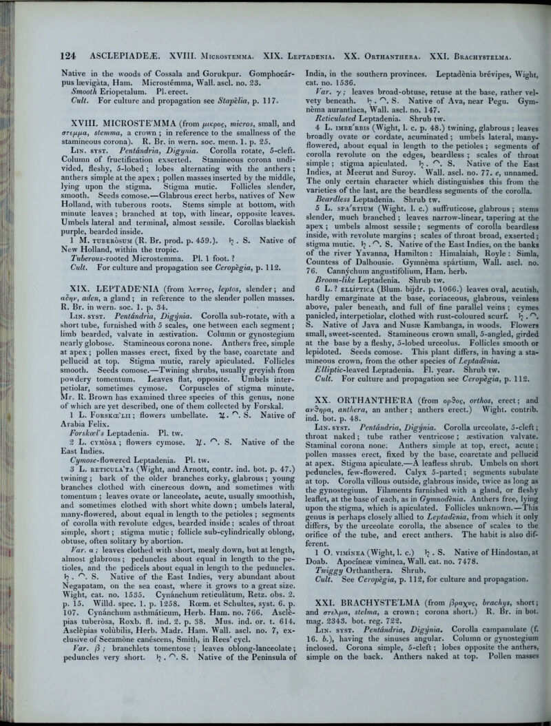 Native in the woods of Cossala and Gorukpur. Gomphocar- pus laevigata, Ham. Microstemma, Wall. ascl. no. 23. Smooth Eriopetalum. PI. erect. Cult. For culture and propagation see Stapelia, p. 117. XVIII. MICROSTE'MMA (from gtKpog, micros, small, and ortfipa, slemmu, a crown ; in reference to the smallness of the stamineous corona). R. Br. in wern. soc. mem. 1. p. 25. Lin. syst. Pentdndria, Digynia. Corolla rotate, 5-cleft. Column of fructification exserted. Stamineous corona undi- vided, fleshy, 5-lobed; lobes alternating with the anthers; anthers simple at the apex ; pollen masses inserted by the middle, lying upon the stigma. Stigma mutic. Follicles slender, smooth. Seeds comose.—Glabrous erect herbs, natives of New Holland, with tuberous roots. Stems simple at bottom, with minute leaves ; branched at top, with linear, opposite leaves. Umbels lateral and terminal, almost sessile. Corollas blackish purple, bearded inside. 1 M. tuberosum (R. Br. prod. p. 459.). • S. Native of New Holland, within the tropic. Tuberous-rooted Microstemma. PI. 1 foot. ? Cult. For culture and propagation see Ceropegia, p. 112. XIX. LEPTADE'NIA (from Xenroe, leptos, slender; and aSqv, aden, a gland; in reference to the slender pollen masses. R. Br. in wern. soc. 1. p. 34. Lin. syst. Pentdndria, Digynia. Corolla sub-rotate, with a short tube, furnished with 5 scales, one between each segment; limb bearded, valvate in aestivation. Column or gynostegium nearly globose. Stamineous corona none. Anthers free, simple at apex; pollen masses erect, fixed by the base, coaretate and pellucid at top. Stigma mutic, rarely apiculated. Follicles smooth. Seeds comose.—Twining shrubs, usually greyish from powdery tomentum. Leaves flat, opposite. Umbels inter- petiolar, sometimes cymose. Corpuscles of stigma minute. Mr. R. Brown has examined three species of this genus, none of which are yet described, one of them collected by Forskal. 1 L. Forskce'lii ; flowers umbellate. If. rs. S. Native of Arabia Felix. Forskcel's Leptadenia. PI. tw. 2 L. cymosa ; flowers cymose. 'll. r'. S. Native of the East Indies. Cymose-ftowered Leptadenia. PI. tw. 3 L. reticula'ta (Wight, and Arnott, contr. ind. bot. p. 47.) twining ; bark of the older branches corky, glabrous ; young branches clothed with cinereous down, and sometimes with tomentum ; leaves ovate or lanceolate, acute, usually smoothish, and sometimes clothed with short white down ; umbels lateral, many-flowered, about equal in length to the petioles ; segments of corolla with revolute edges, bearded inside ; scales of throat simple, short; stigma mutic ; follicle sub-cylindrically oblong, obtuse, often solitary by abortion. Far. a; leaves clothed with short, mealy down, but at length, almost glabrous; peduncles about equal in length to the pe- tioles, and the pedicels about equal in length to the peduncles. . r'. S. Native of the East Indies, very abundant about Negapatam, on the sea coast, where it grows to a great size. Wight, cat. no. 1535. Cynanchum reticulatum, Retz. obs. 2. p. 15. Willd. spec. 1. p. 1258. Roem. et Schultes, syst. 6. p. 107. Cynanchum asthmaticum, Herb. Ham. no. 766. Ascle- pias tuberosa, Roxb. fl. ind. 2. p. 38. Mus. ind. or. t. 614. Asclepias volubilis, Herb. Madr. Ham. Wall. ascl. no. 7, ex- clusive of Secamone canescens, Smith, in Rees’ cycl. Var. /3 ; branchlets tomentose ; leaves oblong-lanceolate; peduncles very short. I? . rs. S. Native of the Peninsula of India, in the southern provinces. Leptadenia brevipes, Wight, cat. no. 1536. Far. y; leaves broad-obtuse, retuse at the base, rather vel- vety beneath. ^ . ''X S. Native of Ava, near Pegu. Gym- nema aurantiaca, Wall. ascl. no. 147. Reticulated Leptadenia. Shrub tw. 4 L. imbe'rbis (Wight, 1. c. p. 48.) twining, glabrous ; leaves broadly ovate or cordate, acuminated; umbels lateral, many- flowered, about equal in length to the petioles ; segments of corolla revolute on the edges, beardless ; scales of throat simple ; stigma apiculated. Tj . r\ S. Native of the East Indies, at Meerut and Suroy. Wall. ascl. no. 77. e, unnamed. The only certain character which distinguishes this from the varieties of the last, are the beardless segments of the corolla. Beardless Leptadenia. Shrub tw. 5 L. spa/rtium (Wight. 1. c.) suffruticose, glabrous ; stems slender, much branched ; leaves narrow-linear, tapering at the apex ; umbels almost sessile; segments of corolla beardless inside, with revolute margins ; scales of throat broad, exserted ; stigma mutic. Tj . ''X S. Native of the East Indies, on the banks of the river Yavanna, Hamilton: Himalaiah, Royle : Simla, Countess of Dalhousie. Gymnema spartium, Wall. ascl. no. 76. Cannychum angustifolium, Ham. herb. Broom-like Leptadenia. Shrub tw. 6 L. ? eluptica (Blum, bijdr. p. 1066.) leaves oval, acutish, hardly emarginate at the base, coriaceous, glabrous, veinless above, paler beneath, and full of fine parallel veins ; cymes panicled, interpetiolar, clothed with rust-coloured scurf. Tj . rs. S. Native of Java and Nusae Kambanga, in woods. Flowers small, sweet-scented. Stamineous crown small, 5-angled, girded at the base by a fleshy, 5-lobed urceolus. Follicles smooth or lepidoted. Seeds comose. This plant differs, in having a sta- mineous crown, from the other species of Leptadenia. Elliptic-leaved Leptadenia. Fl. year. Shrub tw. Cult. For culture and propagation see Ceropegia, p. 112. XX. ORTHANTHE'RA (from opSoc, orthos, erect; and av&qpa, anthera, an anther ; anthers erect.) Wight, contrib. ind. bot. p. 48. Lin. syst. Pentdndria, Digynia, Corolla urceolate, 5-cleft; throat naked; tube rather ventricose; aestivation valvate. Staminal corona none: Anthers simple at top, erect, acute; pollen masses erect, fixed by the base, coaretate and pellucid at apex. Stigma apiculate.—A leafless shrub. Umbels on short peduncles, few-flowered. Calyx 5-parted; segments subulate at top. Corolla villous outside, glabrous inside, twice as long as the gynostegium. Filaments furnished with a gland, or fleshy leaflet, at the base of each, as in Gymnodenia. Anthers free, lying upon the stigma, which is apiculated. Follicles unknown.—This genus is perhaps closely allied to Leptadenia, from which it only differs, by the urceolate corolla, the absence of scales to the orifice of the tube, and erect anthers. The habit is also dif- ferent. 1 O. viminea (Wight, 1. c.) J? . S. Native of Hindostan, at Doab. Apocineae viminea, Wall. cat. no. 7478. Twiggy Orthanthera. Shrub. Cult. See Ceropegia, p. 112, for culture and propagation. XXL BRACHYSTELMA (from fipaxvc, brachys, short; and areXpa, stelma, a crown; corona short.) R. Br. in bot. mag. 2343. bot. reg. 722. Lin. syst. Pentdndria, Digijnia. Corolla campanulate (f. 16. 6.), having the sinuses angular. Column or gynostegium inclosed. Corona simple, 5-cleft; lobes opposite the anthers, simple on the back. Anthers naked at top. Pollen masses