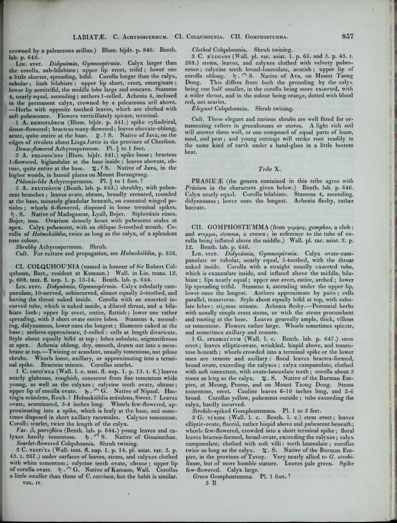 crowned by a paleaceous arillus.) Blum, bijdr. p. 840. Benth. lab. p. 643. Lin. syst. Didynamia, Gymnospermia. Calyx larger than the corolla, sub-bilabiate; upper lip erect, trifid ; low'er one a little shorter, spreading, bifid. Corolla longer than the calyx, tubular; limb bilabiate ; upper lip short, erect, emarginate ; lower lip semitrifid, the middle lobe large and concave. Stamens 4, nearly equal, ascending; anthers 1-celled. Achenia 4, inclosed in the permanent calyx, crowned by a paleaceous aril above. —Herbs with opposite toothed leaves, which are clothed with soft pubescence. Flowers verticillately spicate, terminal. 1 A. densiflorum (Blum, bijdr. p. 841.) spike cylindrical, dense-flowered; bracteas many-flowered; leaves obovate-oblong, acute, quite entire at the base. U . ? S. Native of Java, on the edges of rivulets about LingaJattie in the province of Cheribon. Dense-Jlorvered Achyrospermum. PI. | to 1 foot. 2 A. phlomoi'des (Blum, bijdr. 841.) spike loose; bracteas 1-flowered, biglandular at the base inside ; leaves obovate, ob- tuse, quite entire at the base. ? S. Native of Java, in the higher woods, in humid places on Mount Burangrang. Phlomis-like Achyrospermum. PI. | to 1 foot. ? 13 A. fruticosum (Benth. lab. p. 643.) shrubby, with pubes- cent branches ; leaves ovate, obtuse, broadly crenated, rounded at the base, minutely glandular beneath, on cuneated winged pe- tioles ; whorls 6-flowered, disposed in loose terminal spikes. (?. S. Native of Madagascar, Lyall, Bojer. Siphotaxis rosea, Bojer, mss. Ovarium densely beset with pubescent scales at I apex. Calyx pubescent, with an oblique 5-toothed mouth. Co- rolla of Holmskioldia, twice as long as the calyx, of a splendent rose colour. Shrubby Achyrospermum. Shrub. Cult. For culture and propagation, see Holmskioldia, p. 856. Cl. COLQUHOU'NIA (named in honour of Sir Robert Col- quhoun, Bart., resident at Kamaon.) Wall, in Lin. trans. 13. p. 608. tent. fl. nep. 1. p. 13-14. Benth. lab. p. 644. Lin. syst. Didynamia, Gymnospermia. Calyx tubularly cam- panulate, 10-nerved, subincurved, almost equally 5-toothed, and having the throat naked inside. Corolla with an exserted in- curved tube, which is naked inside, a dilated throat, and a bila- biate limb ; upper lip erect, entire, flattish ; lower one rather spreading, with 3 short ovate entire lobes. Stamens 4, ascend- ing, didynamous, lower ones the longest; filaments naked at the base ; anthers approximate, 2-celled : cells at length divaricate. Style about equally bifid at top ; lobes subulate, stigmatiferous at apex. Achenia oblong, dry, smooth, drawn out into a mem- brane at top.—Twining or scandent, usually tomentose, not pilose shrubs. Whorls loose, axillary, or approximating into a termi- nal spike. Bracteas minute. Corollas scarlet. ] C. cocci'nea (Wall. 1. c. tent. fl. nap. 1. p. 13. t. 6.) leaves nearly glabrous, roughish, canescent from fine tomentum while young, as well as the calyxes ; calycine teeth ovate, obtuse; upper lip of corolla ovate. T? . ^ G. Native of Nipaul. Has- tingia scandens, Roxb. ? Holmskioldia scandens, Sweet. ? Leaves ovate, acuminated, 3-4 inches long. Whorls few-flowered, ap- proximating into a spike, which is leafy at the base, and some- times disposed in short axillary racemules. Calyxes tomentose. Corolla scarlet, twice the length of the calyx. Var. /3, parvifldra (Benth. lab. p. 644.) young leaves and ca- lyxes bardly tomentose. 1? . S. Native of Gosainsthan. .Scarfei-flowered Colquhounia. Shrub twining. 2 C. vesti'ta (Wall. tent. fl. nap. 1. p. 14. pi. asiat. rar. 3. p. 43. t. 267.) under surfaces of leaves, stems, and calyxes clothed with white tomentum ; calycine teeth ovate, obtuse ; upper lip of corolla ovate. T? . ^ G. Native of Kamaon, Wall. Corollas a little smaller than those of C. coccinea, but the habit is similar. VOL. IV. Clothed Colquhounia. Shrub twining. 3 C. e'legans (Wall. pi. rar. asiat. 1. p. 65. and 3. p. 43. t. 268.) stems, leaves, and calyxes clothed with velvety pubes- cence ; calycine teeth broad-lanceolate, acutish ; upper lip of corolla oblong. Tj . ^ S. Native of Ava, on Mount Taong Dong. This differs from both the preceding by the calyx being one half smaller, in the corolla being more exserted, with a wider throat, and in the colour being orange, dotted with blood red, not scarlet. Elegant Colquhounia. Shrub twining. Cult. These elegant and curious shrubs are well fitted for or- namenting rafters in greenhouses or stoves. A light rich soil will answer them well, or one composed of equal parts of loam, sand, and peat; and young cuttings will strike root readily in the same kind of earth under a hand-glass in a little bottom heat. Tribe X. PRASIE'iE (the genera contained in this tribe agree with Prasium in the characters given below\) Benth. lab. p. 646. Calyx nearly equal. Corolla bilabiate. Stamens 4, ascending, didynamous ; lower ones the longest. Achenia fleshy, rather baccate. CII. GOMPHOSTE'MMA (from yoptyog, gomphos, a club ; and (TTEgya, slemma, a crown ; in reference to the tube of co- rolla being inflated above the middle.) Wall. pi. rar. asiat. 2. p. 12. Benth. lab. p. 646. Lin. syst. Didynamia, Gymnospermia. Calyx ovate-cam- panulate or tubular, nearly equal, 5-toothed, with the throat naked inside. Corolla with a straight usually exserted tube, which is exannulate inside, and inflated above the middle, bila- biate ; lips nearly equal; upper one erect, entire, arched ; lower lip spreading trifid. Stamens 4, ascending under the upper lip, lower ones the longest. Anthers approximate by pairs ; cells parallel, transverse. Style about equally bifid at top, with subu- late lobes; stigmas minute. Achenia fleshy.-—Perennial herbs with usually simple erect stems, or with the stems procumbent and rooting at the base. Leaves generally ample, thick, villous or tomentose. Flowers rather large. Whorls sometimes spicate, and sometimes axillary and remote. 1 G. strobili'num (Wall. 1. c. Benth. lab. p. 647.) stem erect; leaves elliptic-ovate, wrinkled, hispid above, and tomen- tose beneath ; whorls crowded into a terminal spike or the lower ones are remote and axillary : floral leaves bractea-formed, broad ovate, exceeding the calyxes ; calyx campanulate, clothed with soft tomentum, with ovate-lanceolate teeth ; corolla about 3 times as lcng as the calyx. S. Native of the Burman Em- pire, at Meong, Prome, and on Mount Taong Dong. Stems tomentose, erect. Cauline leaves 6-10 inches long, and 3-6 broad Corollas yellow, pubescent outside ; tube exceeding the calyx, hardly incurved. Strobile-spiked Gomphostemma. PI. 1 to 3 feet. 2 G. vi'ride (Wall. 1. c. Benth. 1. c.) stem erect; leaves elliptic-ovate, flaccid, rather hispid above and pubescent beneath; w’horls few-flowered, crowded into a short terminal spike; floral leaves bractea-formed, broad-ovate, exceeding the calyxes ; calyx campanulate, clothed with soft villi: teeth lanceolate ; corollas twice as long as the calyx. If.. S. Native of the Burman Em- pire, in the province of Tavoy. Very nearly allied to G. sirobi- linum, but of more humble stature. Leaves pale green. Spike few-flowered. Calyx large. Green Gomphostemma. PI. 1 foot. ? 5 R