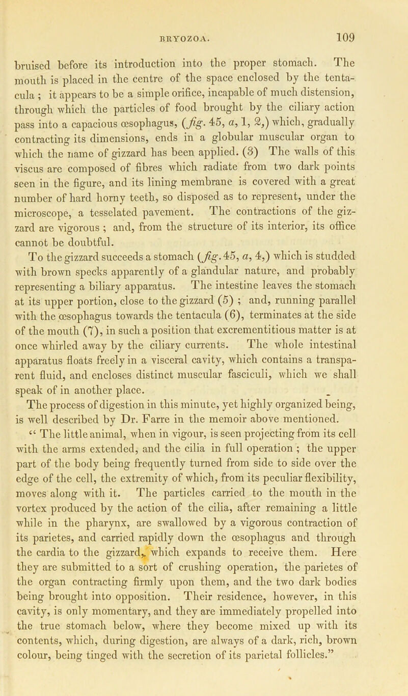 bruised before its introduction into the proper stomach. The mouth is placed in the centre of the space enclosed by the tenta- cula ; it appears to be a simple orifice, incapable of much distension, through which the particles of food brought by the ciliary action pass into a capacious oesophagus, (Jig- 45, a, 1, 2,) which, gradually contracting its dimensions, ends in a globular muscular organ to which the name of gizzard has been applied. (3) The walls of this viscus are composed of fibres which radiate from two dark points seen in the figure, and its lining membrane is covered with a great number of hard horny teeth, so disposed as to represent, under the microscope, a tesselated pavement. The contractions of the giz- zard are vigorous ; and, from the structure of its interior, its office cannot be doubtful. To the gizzard succeeds a stomach (JigA5, a, 4,) which is studded with brown specks apparently of a glandular nature, and probably representing a biliary apparatus. The intestine leaves the stomach at its upper portion, close to the gizzard (5) ; and, running parallel with the oesophagus towards the tentacula (6), terminates at the side of the mouth (7), in such a position that excrementitious matter is at once whirled away by the ciliary currents. The whole intestinal apparatus floats freely in a visceral cavity, which contains a transpa- rent fluid, and encloses distinct muscular fasciculi, which we shall speak of in another place. The process of digestion in this minute, yet highly organized being, is well described by Dr. Farre in the memoir above mentioned. “ The little animal, when in vigour, is seen projecting from its cell with the arms extended, and the cilia in full operation ; the upper- part of the body being frequently turned from side to side over the edge of the cell, the extremity of which, from its peculiar flexibility, moves along with it. The particles carried to the mouth in the vortex produced by the action of the cilia, after remaining a little while in the pharynx, are swallowed by a vigorous contraction of its parietes, and carried rapidly down the oesophagus and through the cardia to the gizzard* which expands to receive them. Here they are submitted to a sort of crushing operation, the parietes of the organ contracting firmly upon them, and the two dark bodies being brought into opposition. Their residence, however, in this cavity, is only momentary, and they are immediately propelled into the true stomach below, where they become mixed up with its contents, which, during digestion, are always of a dark, rich, brown colour, being tinged with the secretion of its parietal follicles.”