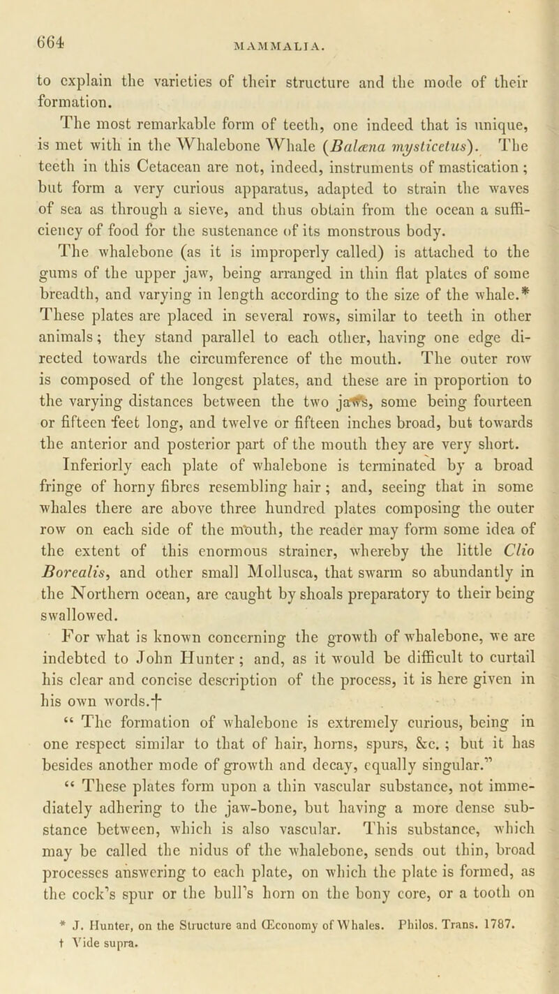 to explain the varieties of their structure and the mode of their formation. The most remarkable form of teeth, one indeed that is unique, is met with in the Whalebone Whale (Baleena viysticetus). The teeth in this Cetacean are not, indeed, instruments of mastication ; but form a very curious apparatus, adapted to strain the waves of sea as through a sieve, and thus obtain from the ocean a suffi- ciency of food for the sustenance of its monstrous body. The whalebone (as it is improperly called) is attached to the gums of the upper jaw, being arranged in thin flat plates of some breadth, and varying in length according to the size of the whale.* These plates are placed in several rows, similar to teeth in other animals; they stand parallel to each other, having one edge di- rected towards the circumference of the mouth. The outer row is composed of the longest plates, and these are in proportion to the varying distances between the two jartC^s, some being fourteen or fifteen feet long, and twelve or fifteen inches broad, but towards the anterior and posterior part of the mouth they are very short. Inferiorly each plate of whalebone is terminated by a broad fringe of horny fibres resembling hair; and, seeing that in some whales there are above three hundred plates composing the outer row on each side of the mouth, the reader may form some idea of the extent of this enormous strainer, whereby the little Clio Borealis, and other small Mollusca, that swarm so abundantly in the Northern ocean, are caught by shoals preparatory to their being swallowed. For what is known concerning the growth of whalebone, we are indebted to John Hunter; and, as it would be difficult to curtail his clear and concise description of the process, it is here given in his own words.*}* “ The formation of whalebone is extremely curious, being in one respect similar to that of hair, horns, spurs, &c. ; but it has besides another mode of growth and decay, equally singular.” “ These plates form upon a thin vascular substance, not imme- diately adhering to the jaw-bone, but having a more dense sub- stance between, which is also vascular. This substance, which may be called the nidus of the whalebone, sends out thin, broad processes answering to each plate, on which the plate is formed, as the cock’s spur or the bull’s horn on the bony core, or a tooth on * J. Hunter, on the Structure and (Economy of Whales. Philos. Trans. 1787. t Vide supra.
