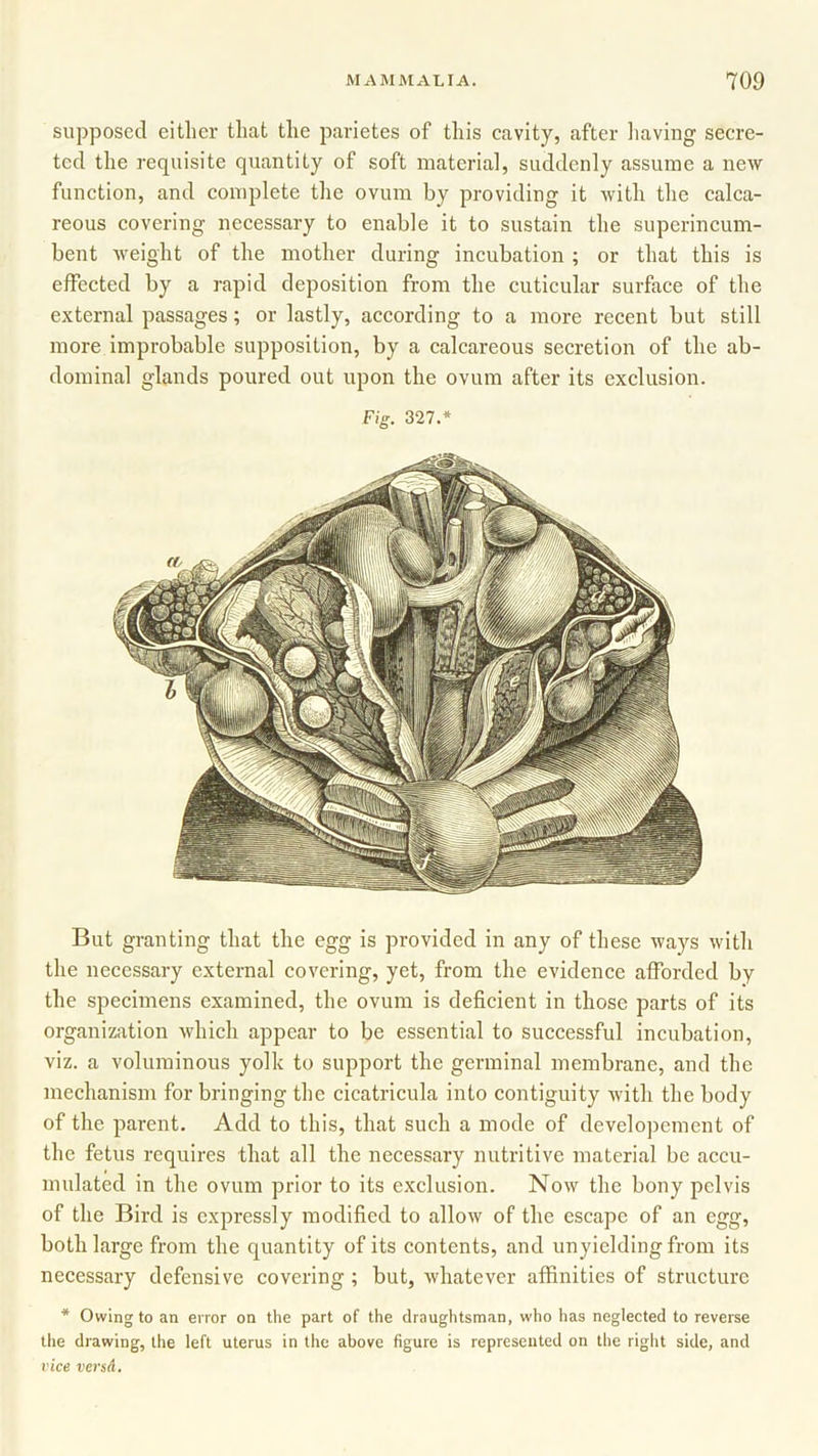 supposed either that the parietes of this cavity, after having secre- ted the requisite quantity of soft material, suddenly assume a new function, and complete the ovum by providing it with the calca- reous covering necessary to enable it to sustain the superincum- bent weight of the mother during incubation ; or that this is efFected by a rapid deposition from the cuticular surface of the external passages; or lastly, according to a more recent but still more improbable supposition, by a calcareous secretion of the ab- dominal glands poured out upon the ovum after its exclusion. Fig. 327.* But granting that the egg is provided in any of these ways with the necessary external covering, yet, from the evidence afforded by the specimens examined, the ovum is deficient in those parts of its organization which appear to be essential to successful incubation, viz. a voluminous yolk to support the germinal membrane, and the mechanism for bringing the cicatricula into contiguity with the body of the parent. Add to this, that such a mode of developement of the fetus requires that all the necessary nutritive material be accu- mulated in the ovum prior to its exclusion. Now the bony pelvis of the Bird is expressly modified to allow of the escape of an egg, both large from the quantity of its contents, and unyielding from its necessary defensive covering; but, whatever affinities of structure * Owing to an error on the part of the draughtsman, who has neglected to reverse the drawing, the left uterus in the above figure is represented on the right side, and vice versd.