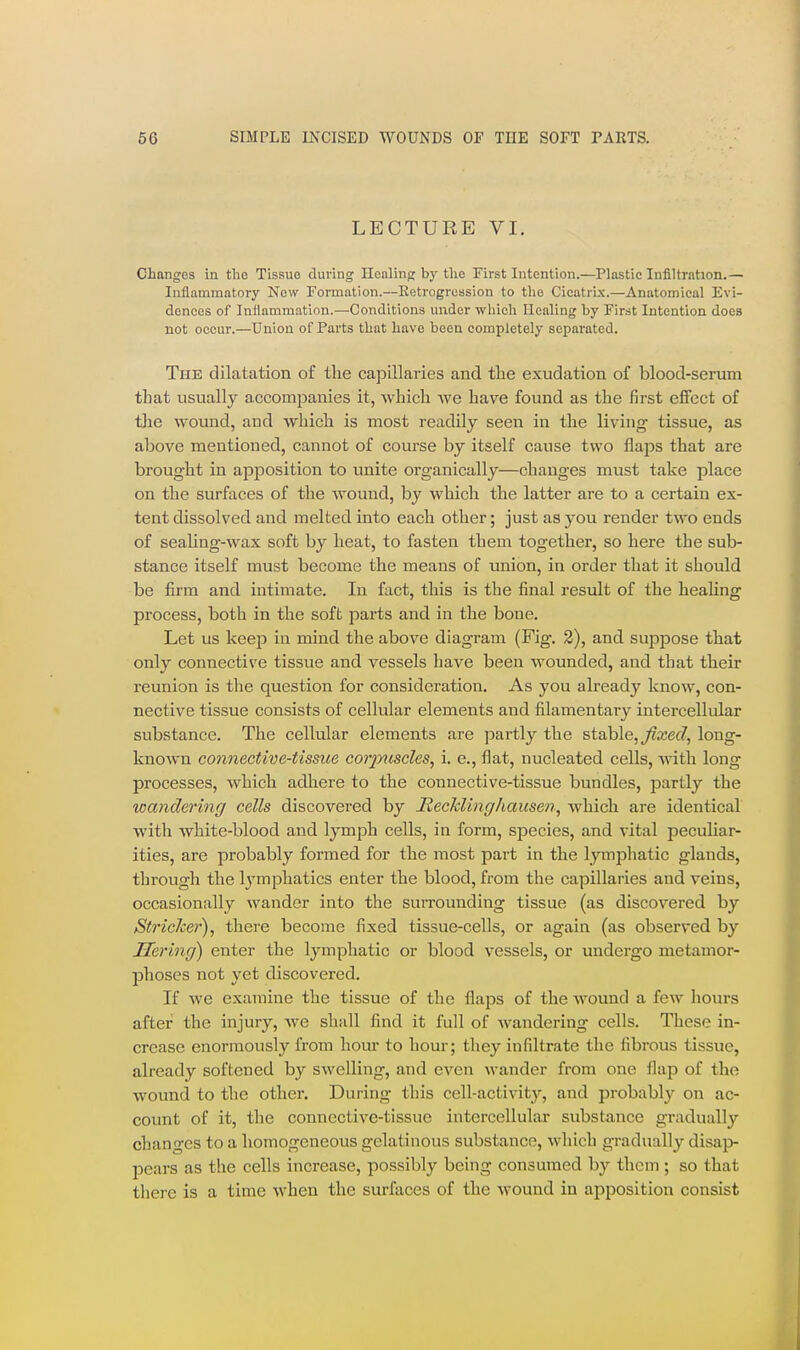 LECTURE VI. Changes in tlie Tissue during Healing by tlio First Intention.—Plastic Infiltration.— Inflammatory New Formation.—Eetrogrossion to the Cicatrix.—Anatomical Evi- dences of Inflammation.—Conditions under wliicli Ilealing by First Intention does not occur.—Union of Parts that have been completely separated. The dilatation of the capillaries and the exudation of blood-seram that usually accompanies it, which we have found as the first efiFect of the wound, and which is most readily seen in the living tissue, as above mentioned, cannot of course by itself cause two flaps that are brought in apposition to unite organically—changes must take place on the surfaces of the wound, by which the latter are to a certain ex- tent dissolved and melted into each other; just as you render two ends of seaUng-wax soft by heat, to fasten them together, so here the sub- stance itself must become the means of union, in order that it should be firm and intimate. In fact, this is the final result of the healing process, both in the soft parts and in the bone. Let us keep in mind the above diagram (Fig. 3), and suppose that only connective tissue and vessels have been wounded, and that their reunion is tlie question for consideration. As you already know, con- nective tissue consists of cellular elements and filamentary intercellular substance. The cellular elements are partly the stahle, Jixed, long- known connective-tissue corpuscles, i. e., flat, nucleated cells, with long processes, which adliere to the connective-tissue bundles, partly the wandering cells discovered by JRecJclinghausen, which are identical with white-blood and lymph cells, in form, species, and vital peculiar- ities, are probably formed for the most part in the lymphatic glands, through the lymphatics enter the blood, from the capillaries and veins, occasionally wander into the surrounding tissue (as discovered by Strieker), there become fixed tissue-cells, or again (as observed by Hering) enter the lymphatic or blood vessels, or undergo metamor- phoses not yet discovered. If we examine the tissue of the flaps of the Avound a few hours after the injury, we shall find it full of wandering cells. These in- crease enormously from hour to hour; they infiltrate the fibrous tissue, already softened by swelling, and even wander from one flap of the wound to the other. During this cell-activity, and probably on ac- count of it, the connective-tissue intercellular substance graduall}'- changes to a homogeneous gelatinous substance, which gradually disap- pears as the cells increase, possibly being consumed by them ; so that there is a time when the surfaces of the wound in apposition consist