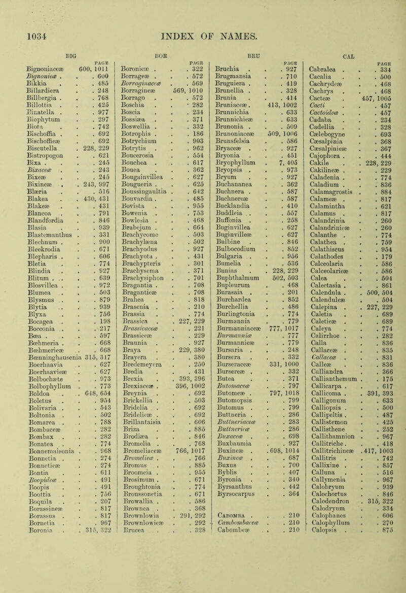 Oil 600 485 248 768 425 977 297 742 692 692 229 621 245 243 245 997 516 431 431 791 846 939 331 900 671 606 774 927 639 972 503 879 939 756 198 217 597 668 668 317 627 627 973 773 654 954 543 502 788 282 282 774 968 274 274 611 491 491 756 207 817 817 967 , 322 468 468 005 457 457 234 328 693 368 367 444 229 229 774 836 884 817 621 817 260 260 774 759 954 179 586 586 504 861 504 504 229 689 689 774 282 836 835 831 836 366 175 617 393 633 500 487 425 252 967 418 1003 742 857 516 967 939 846 322 334 606 270 875 INDEX OF NAMES. BOR BRU PAGE Boroniete . . 322 Borrageae . . 572 Borraginaccce . 669 Borrngineae 569, 1010 Borrago . 572 Boschia • 282 Boscia . 234 Bossisea . 371 Boswellia . . 332 Botrophis . . 186 Botrychium . 903 Botrytis . 962 Boucerosia . 554 Bouchea . . 617 Bouea . 362 Bougainvillea . 627 Bougueria . . 625 Boussingaultia . 642 Bouvardia . . . 485 Bo vista . 955 Bowenia . . 753 Bowlesia . . 468 Brabejum . . 664 Brachycome . 503 Brachylsena . 502 Brachyodus . 927 Brachyota . . 431 Brachypteris . 301 Brachysema . 371 Brachysiphon . 701 Bragantia . . 708 Bragantieae . 708 Brahea . 818 Brasenia . . 210 Brassia . 774 Brassica , 227, 229 Brassicacece . 221 Brassieeae . 229 Braunia . 927 Braya . 229, 380 Brayera . 380 Bredemeyera . 250 Bredia . 431 Brexia . 393, 396 Brexiaceae . 396, 1002 Breynia . 692 Brickellia . . 503 Bridelia . 692 Bridelieae . . 692 Brillantaisia . 606 Briza . 885 Brodiaea . 846 Bromelia . . 768 Bromeliaceae 766, 1017 Bromeliea . . . 766 Bromus . 885 Broomeia . . . 955 Brosimum . . 671 Broughtonia . 774 Broussonetia . 671 Browallia . . 586 Brownea . . 368 Brownlowia . 291, 292 Brownlowieoe . 292 Bnicea . 328 PAGE Brucliia . 927 Brugraansia . 710 Bruguiera . . 419 Brunellia . . . 328 Brunia . 414 Bruniaceae. 413, 1002 Brunnichia . 633 Brunnichieae . 633 Brunonia . . 509 Brunoniaceae 509, 1006 Brunsfelsia . 586 Bryace* . . 927 Bryonia . 451 Bryophyllum . 7, 405 Bryopsis . . . 973 Bryum . 927 Buehananea . 362 Buchnera . . 587 Buclmereae . 587 Bucklandia . 410 Buddleia . . 557 Buffonia . 258 Buginvillea . 627 Buginvilleae . 627 Bulbine . 846 Bulbocodium . 852 Bulgaria . . 956 Bumelia . 536 Bunias . 228, 229 Buphthalmum 502, 503 Bupleurum . . 468 Burasaia . . 201 Burchardea . 852 Burchellia . 486 Burlingtonia . 774 Burmannia . 779 Burmanniaceae 777, 1017 Burmannia . 777 Burin annieae . 779 Bursaria . . . 248 Bursera . 332 Burseraceae 331, 1000 Bursereae , . 332 Butea . 371 Butomacea . 797 Butomeae . 797, 1018 Butomopsis . 799 Butomus . . 799 Buttneria . . 286 Buttneriacea . 283 Buttnerica . 286 Buxacea . . 698 Buxbaumia . 927 Buxine* . . 698, 1014 Buxincat . 687 Buxus . . 700 Byblis . 407 Byronia . 340 Byrsanthus . 442 Byrsoearpus . 364 Cabomha . . 210 Cambombacca . 210 Cabombeae . . 210