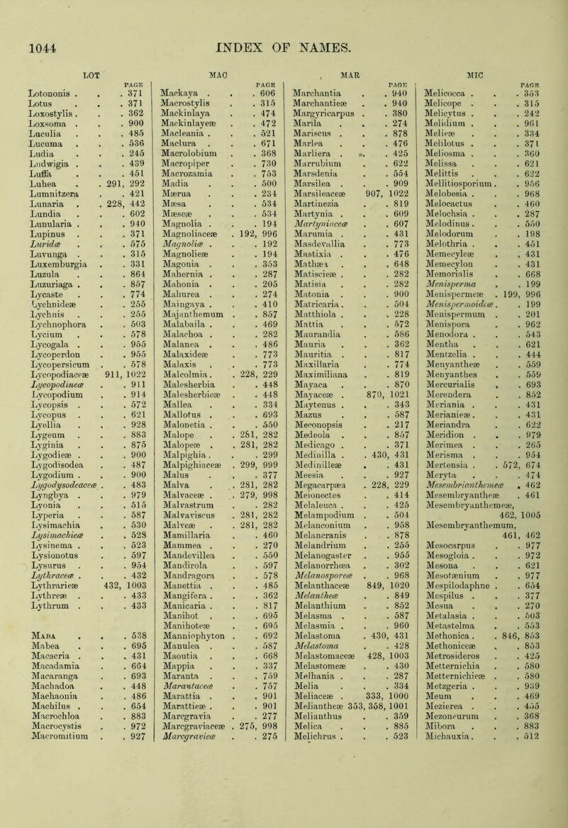LOT MAO PAGE PAGE Lotononis . . . 371 Mackaya . a . 606 Lotus . 371 Macrostylis . 315 Loxostylis . . 362 Mackinlaya . 474 Loxsoma . . 900 Maekinlayere . 472 Lueulia . 485 Macleania . . 521 Lucuma . 536 Maclura . 671 Ludia . 245 Macrolobium . 368 Ludwigia , . 439 Macropiper . 730 Luffa . 451 Macrozamia . 753 Luhea . 291, 292 Madia . 500 Lumnitzer-a . 421 Maerua . 234 Lunaria . 228, 442 Mresa . 534 Lundia . 602 Mseseae . 534 Lunularia . . 940 Magnolia . . 194 Lupinus . 371 Magnoliaeeae 192, 996 Lurida . 575 Magnolia . . 192 Luvunga . . 315 Magnoliere . 194 Luxemburgia . 331 Magonia . . 353 Luzula . 864 Mahernia . . 287 Luzuriaga . . 857 Mahonia . . 205 Lycaste . 774 Mahurea . . 274 Lyehnidese . 255 Maingaya . . 410 Lychnis . 255 Majanthemum . 857 Lyehnophora . 503 Malabaila . . 469 Lycium . 578 Malachoa . . 282 Lycogala . . 955 Malanea . . 486 Lycoperdon . 955 Malaxide® . 773 Lyeopersicum . 578 Malaxis . 773 Lycopodiaceae 911, 1022 Malcolmia. 228, 229 Ltjcopodinem . 911 Malesherbia . 448 Lycopodium . 914 Malesherbiese . 448 Lycopsis . . 572 Mai lea . 334 Lycopus . 621 Mallotus . . 693 Lyellia . 928 Malonetia . . 550 Lygeum . 883 Malope 281, 282 Lyginia . . 875 Malopese . 281, 282 Lygodieae . . 900 Malpigkia. . 299 Lygodisodea . 487 Malpighiaceae 299, 999 Lygodium . . 900 Malus . 377 Lygodysodeacea . 483 Malva 281, 282 Lyngbya . . 979 Malvaceae . 279, 998 Lyonia . 515 Malvastrum . 282 Lyperia . 587 Malvaviscus 281, 282 Lysimachia . 530 Malveae 281, 282 Lysimachiets . 528 Mamillaria . 460 Lysinema . . 523 Mammea . . 270 Lysiouotus . 597 Mandevillea . 550 Lysurus . 954 Mandirola . 597 Ijythracem . . 432 Mandragora . 578 Lythrari ese 432, 1003 Manettia . . 485 Lytbreae . . 433 Mangifera . . 362 Lythrum . . 433 Manicaria . . 817 Manihot . 695 Manihoteae . 695 Maba . . 538 Manniophyton . 692 Mabea . 695 Manulea . . 587 Macacria . . 431 Maoutia . 668 Macadamia . 664 Mappia . 337 Macaranga . 693 Maranta . 759 Machadoa . 448 Marantacece . 757 Machaonia . 486 Marattia . . 901 Machilus . . 654 Marattieae . . 901 Macrochloa . 883 Marcgravia . 277 Macrocyst.is . 972 Marcgraviacese 275, 998 Macromitium . 927 Marcgraviete . 275 MAR MIC PAGE PAGE Marchantia . 940 Melicocca . 353 March anti ere . 940 Melicope . 315 Margyri carpus . 380 Melicytus . 242 Mari la . . 274 Melidium . 961 Mariscus . . 878 Meliese 334 Marlea . 476 MeliloUis . 371 Marliera . .. . 425 Meliosma . 360 Marrubium . 622 Melissa 621 Marsdenia . 554 Melittis 622 Marsilea . . 909 Mellitiosporium. 956 Marsileacere 907, 1022 Melobesia . 968 Marti nezia . 819 Melocactus 460 Martynia . . 609 Melochsia . . 287 Martyviacea . 607 Melodinus. 550 Marumi a . . 431 Melodorum 198 Masdevallia . 773 Melothria . 451 Mastixia . . 476 Memecylere 431 Math sea . 648 Memecylon 431 Matiseiere . . 282 Memorialis 668 Matisia . 282 Menisperma 199 Matonia . 900 Menispermete 199, 996 Matricaria. . 504 Menispermoidca. 199 Matthiola . . . 228 Menispermum . 201 Mattia . 572 Menispora 962 Maurandia . 586 Menodora . 543 Mauria . 362 Mentha 621 Mauritia . . 817 Mentzelia . 444 Maxi 11 aria . 774 Menyanthe* 559 Maximiliana . 819 Menyanthes 559 Mayaca . 870 Mercurialis , 693 Mayacese . 870, 1021 Merendera 852 Maytenus . . 343 Meriania . 431 Mazus . 587 Merianieae. , 431 Meconopsis . 217 Meriandra 622 Medeola . 857 Meridion . 979 Medieago . . 371 Merimea . 265 Medinilla . . 430, 431 Merisma . 954 Medinilleae . . 431 Mertensia . 572, 674 Meesia . 927 Meryta 474 Mcgacarprea . 228, 229 Mesembrionthemece . 462 Meioneetes . 414 Mesembryanthese 461 Melaleuca . . 425 Mesembryanthemere, Melampodium . 504 462, 1005 Melanconium . 958 Mesembryanthemum, Melancranis . 878 461, 462 Melandrium . 255 Mesocarpus 977 Melanogaster . . 955 Mesogloia . 972 Melanorrhcea . 302 Mesona 621 Melanosporea . 968 Mesotrenium 977 Melanthaeere 849, 1020 Mespilodaphne . 654 Melcinthece . 849 Mespilus . 377 Melanthium . 852 Mesua 270 Melasma . . 587 Metalasia . 503 Melasmia . . 960 Metastelma 553 Melastoma . 430, 431 Methonica . 846, 853 Melastoma . 428 Methonicese 853 Melastomaee® 428, 1003 Metrosideros 425 Melastome* . 430 Metterniehia 580 Melhania . . 287 Metternichicte . 580 Melia . 334 Metzgeria . 939 Meliaceae . 333, 1000 Meum 469 Meliantheae 353, 358, 1001 Mezierea . 455 Melianthus . 359 Mezoneurum 368 Melica . 885 Mibora 883 Melichrus , . 523 Michauxia. 512