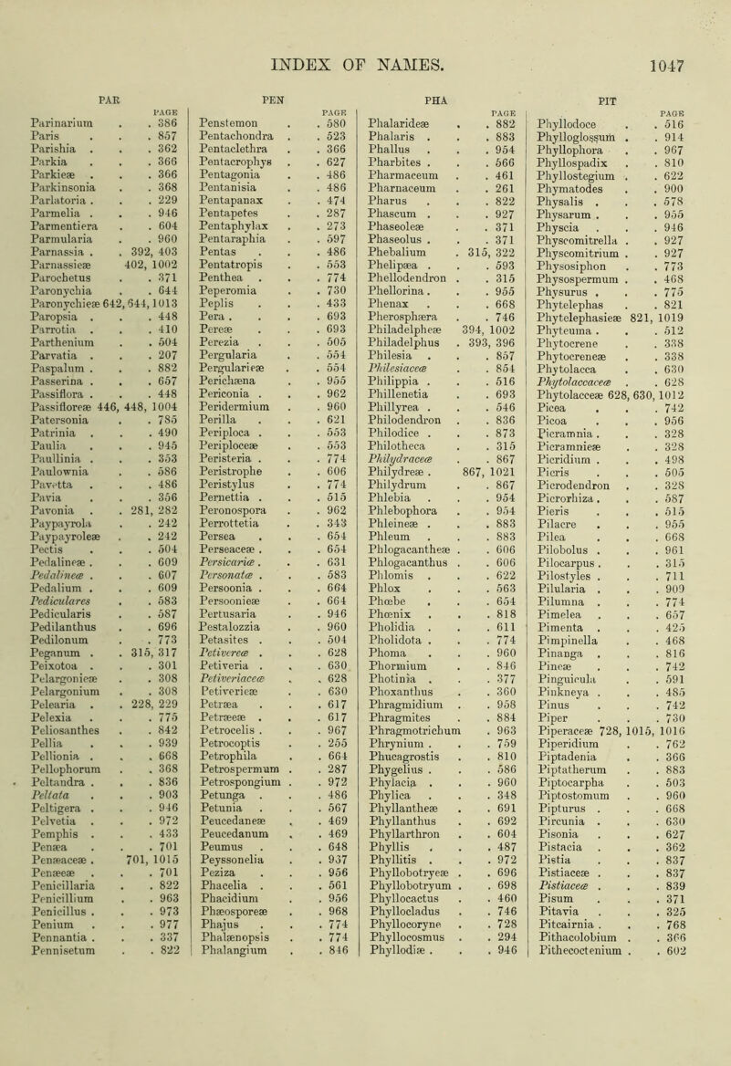 PAR PEN PAGE PAGE Parinarium . 386 Penstemon . 580 Paris . 857 Pentachondra . . 523 Parishia . . 362 Pentaclethra . 366 Parkia . 366 Pentacrophyg . 627 Parkie* . 366 Pentagonia . 486 Parkinsonia . 368 Pentanisia . 486 Parlatoria . . 229 Pentapanax . 474 Parmelia . . 946 Pentapetes . 287 Parmentiera . 604 Pentaphylax . 273 Parmularia . 960 Pentarapliia . 597 Parnassia . . 392, 403 Pentas . 486 Parnassie® 402, 1002 Pentatropis . 553 Parochetus . 371 Penthea . 774: Paronychia . 644 Peperomia . 730 Paronychie® 642,644,1013 Peplis . 433 Paropsia . . 448 Pera . . 693 Parrotia . . 410 Pere® . 693 Parthenium . 504 Perezia . 505 Parvatia . . 207 Pergnlaria . 554 Paspalum . . 882 Pergularie® . 554 Passerina . . 657 Perich®na . 955 Passiflora . . 448 Periconia . . 962 Passiflore* 446, 448, 1004 Peridermium . 960 Patersonia . 785 Perilla . 621 Patrinia . . 490 Periploca . . 553 Paulia . 945 Periploce* . 553 Paullinia . . 353 Peristeria . . 774 Paulownia . 586 Peristropke . 606 Pavetta . 486 Peristylus . 774 Pavia . 356 Pernettia . . 515 Pavonia . 281, 282 Peronospora . 962 Paypayrola . 242 Perrottetia . 343 Pay pay role® . 242 Persea . 654 Pectis . 504 Perseace® . . 654 Pedaline® . . 609 Pcrsicarits. . 631 Pedalinece . . 607 Personate . . 583 Pedalium . . 609 Persoonia . . 664 Pedieulares . . 583 Persoonie® . 664 Pedicularis . 587 Pertusaria . 946 Pedilanthus . 696 Pestalozzia . 960 Pedilonum . 773 Petasites . . 504 Peganum . . 315, 317 Petivcrets . . 628 Peixotoa . . 301 Petiveria . , . 630 Pelargonie® . 308 Petivcriacee . 628 Pelargonium . 308 Petiverie® . 630 Pelearia . . 228, 229 Petr®a . 617 Pelexia . 775 Petr®e® , . 617 Peliosanthes . 842 Petrocelis . . 967 Pellia . 939 Petrocoptis . 255 Pellionia . . 668 Petrophila . 664 Pellophorum . 368 Petrospermum . . 287 Peltandra . . . 836 Petrospongium . . 972 Peltata . 903 Petunga . . 486 Peltigera . . 946 Petunia . 567 Pelvetia . . 972 Peucedane® . 469 Pemphis . . 433 Peucedanum . . 469 Pen®a . 701 Peumus . 648 Penwace® . 701, 1015 Peyssonelia . 937 Pen»e» . 701 Peziza . 956 Penicillaria . 822 Phacelia . . 561 Penicillium . 963 Phacidium . 956 Penicillus . . 973 Ph®ospore® . 968 Penium . 977 Phajus . 774 Pennantia . . 337 Phal®nopsis . 774 Pennisetum . 822 Phalangium , . 846 PHA PIT PAGE PAGE Phalaride® . 882 Phyllodoce . 516 Phalaris . . 883 Phylloglo$!?urh . . 914 Phallus . 954 Phyllophora . 967 Pharbites . . 666 Phyllospadix . 810 Pharmaeeum . 461 Phyllostegium . . 622 Pharnaceum . 261 Phymatodes . 900 Pharus . 822 Physalis . . 578 Phascum . . 927 Physarum . . 955 Phaseole* . 371 Physcia . 946 Phaseolus . . 371 Physcomitrella . . 927 Phebalium 315, 322 Pliyscomitrium . . 927 Phelipsa . . 593 Physosiphon . 773 Phellodendron . 315 Physospermum , . 468 Phellorina . . 955 Phvsurus . . 775 Plienax . 668 Phytelephas . 821 Pherosph®ra . 746 Phytelephasie® 821, 1019 Philadelphe® 394, 1002 Phyteuma . . 512 Philadelphus 393, 396 Phytoerene . 338 Philesia . 857 Phytocrene® . 338 Philesiaccce . 854 Phytolacca . 630 Philippia . . 516 Phytolaccaeee . . 628 Phillenetia . 693 Phytolacce® 628, 630, 1012 Phillyrea . . 546 Picea . 742 Philodendron . 836 Picoa . 956 Philodice . . 873 Picramnia . . 328 Philotheca . 315 Pieramnie® . 328 Philydracece . 867 Pieridium . . 498 Philydre® . 867, 1021 Picris . 505 Philydrum . 867 Picrodendron . 32S Phlebia . 954 Picrorhiza . . 587 Phlebophora . 954 Pieris . 515 Phleine® . . 883 Pilacre . 955 Phleum . 883 Pilea . 668 Phlogacanthe® . 606 Pilobolus . . 961 Phlogacanthus . 606 Pilocarpus . . 315 Phlomis . . 622 Pilostyles . . 711 Phlox . 563 Pilularia , . 909 Phoebe . 654 Pilunina . . 774 Phoenix . 818 Pimelea . 657 Pholidia . . 611 Pimenta . . 425 Pholidota . . 774 Pimpinella . 468 Phoma . 960 Pinanga . 816 Phormium . 846 Pine® . 742 Photinia . . 377 Pinguioula . 591 Phoxanthus . 360 Pinkneya . . 485 Phragmidium . 958 Pinus . 742 Phragmites . 884 Piper . 730 Phragmotrichum . 963 Piperace® 728, 1015, 1016 Phrynium . . 759 Piperidium . 762 Phucagrostis . 810 Piptadenia . 366 Phygelius . . 586 Piptatherum . 883 Phylacia . . 960 Piptocarpha . 503 Phylica . 348 Piptostomum . 960 Phyllanthe® . 691 Pipturus . . 668 Phyllanthus . 692 Pircunia . . 630 Phyllarthron . 604 Pisonia . 627 Phyllis . 487 Pistacia . 362 Phyllitis . . 972 Pistia . 837 Phyllobotrye® . 696 Pistiace® . . 837 Phyllobotryum . 698 Pistiacee . . 839 Phyllocaetus . 460 Pi sum . 371 Phyllocladus . 746 Pitavia . 325 Phyllocoryne . 728 Pitcairnia . . 768 Phyllocosmus . 294 Pithacolobium . . 366 Phyllodi® . . 946 Pithecoctenium . . 602