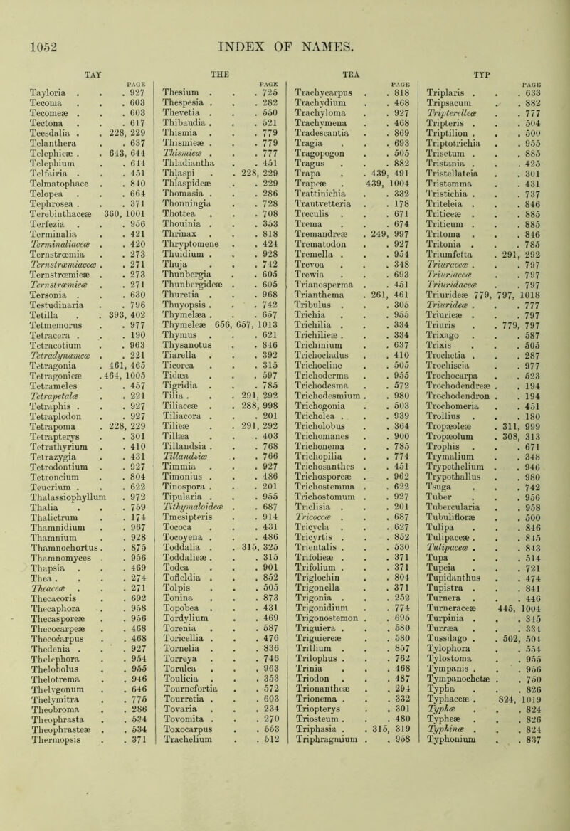 TAY Tayloria . PAGE . 927 THE Thesium . PAGE . 725 Tecoma . 603 Thespesia . 282 Tecome® . . 603 Thevetia . 550 Tectona . 617 Thibaudia . . 521 Teesdalia . 228, 229 Thismia 779 Telanthera . 637 Thismie* . 779 Telephie® . Telepliiuin 643, 644 Tkismica . 777 . 644 Thladiantha 451 Telfairia . . 451 Tklaspi 228, 229 Telmatophace . 840 Thlaspide® 229 Telopea . 664 Tkomasia . 286 Tephrosea . . 371 Thounmgia 728 Terebinthaee® 360, 1001 Tkottea 708 Terfezia . 956 Thouinia . 353 Terminalia . 421 Thrinax 818 Terrnin aliacece . 420 Thryptomene 424 Ternstrcemia . 273 Thuidium . 928 Terns trmri iacece . 271 Thuja , 742 Ternstixemie® . 273 Thunbergia . 605 Ternstroemie <e . 271 Thunbergidese . 605 Tersonia . . 630 Thuretia . 968 Testudinaria . 796 Tkuyopsis . Thymelsea . 742 Tetilla 393, 402 657 Tetmemorus . 977 Thymele® 656, 657, 1013 Tetracera . . 190 Thymus 621 Tetracotium . 963 Thysanotus 846 Tetradynamece . 221 Tiarella 392 Tetragouia 461, 465 Ticorca 315 Tetragonic® 464, 1005 Tidsea 597 Tetrameles . 457 Tigridia 785 Tetrapetala . 221 Tilia . 291, 292 Tetraphis . . 927 Tiliace® . 288, 998 Tetraplodon . 927 Tiliacora . 201 Tetrapoma 228, 229 Tilie® 291, 292 Tetrapterys Totrathyrium . 301 Tillsea 403 . 410 Tillaudsia . 768 Tetrazygia . 431 Tillandbice 766 Tetrodontium . 927 Timmia 927 Tetroncium . 804 Timonius . 486 Teucrium . . 622 TiDospora . 201 Thalassiophyllum . 972 Tipularia . 955 Thalia . 759 Tithymaloidea . 687 Thalictrum . 174 Tmesipteris 914 Tkamnidium . 967 Tococa 431 Thamnium . 928 Tocoyeua . 486 Thamnochortus . 875 Toddalia . 315, 325 Thamnomyces . 956 Toddalie® . 315 Thapsia . 469 Todea • 901 Thea . . 274 Tofieldia . 852 Theacets . 271 Tolpis 505 Theeaeoris . 692 Tonina . 873 Thecaphora . 958 Topobea . 431 Thecaspore® . 956 Tordylium 469 Thecocarpe® . 468 Torenia 587 Theeoc'arpus . 468 Toricellia . 476 Thedenia . . 927 Tornelia 836 Thelepliora Thelobolus . 954 Torreya 746 . 955 Torulea , 963 Thelotrema . 946 Toulicia . 353 Thelygonum . 646 Tournefortia . 572 Thelymitra . 775 Tourretia . 603 Theobroma . 286 Tovaria . 234 Theophrasta . 534 Tovomita . 270 Theophraste® . 534 Toxocarpus Trackelium . 553 Thermopsis . 371 512 TEA PAGE TYP PAGE Trackycarpus Trachydium 818 Triplaris . . 633 468 Tripsacum . 882 Trachyloma 927 Tripterdlice . 777 Trackymena . 468 Tripteris . . 504 Tradeseantia 869 Triptilion . . 500 Tragia 693 Triptotrichia . 955 Tragopogon 505 Trisetum . , 885 Tragus 882 Tristania . . 425 Trapa 439, 491 Tristellateia . 301 Trapese 439, 1004 Tristemma . 431 Trattinichia 332 Tristichia . . 737 Trautvetteria 178 Triteleia . . 846 Treculis 671 Tritiee® . . 885 Trema 674 Triticum . . 885 Tremandreae 249, 997 Tritoma . . 846 Trematodon . 927 Tritonia . . 785 Tremella . 954 Triumfetta 291, 292 Trevoa 348 Triuracea . . 797 Trewia 693 Triurlacete . 797 Trianosperma 451 Triuridacea . 797 Trianthema 261, 461 Triuridese 779, 797, 1018 Tribulus . , 305 Triuridem . . 777 Trichia 955 Triurie® . . 797 Triehilia . 334 Triuris 779, 797 Trichilie® . 334 Trixago . 587 Trichinium 637 Trixis . 505 Trichocladus 410 Troclietia . . 287 Trichocline 505 Trochiscia . 977 Trichoderma 955 Trochocarpa . 523 Trichodesma 572 Troc-hodendre® . 194 Trichodesmium 980 Trochodendron . 194 Trichogonia Tricholea . . 503 Trochomeria . 451 . 939 Trollius . 180 Tricholobus 364 Trop®ole® 311, 999 Trichomanes 900 Trop»olum 308, 313 Trichonema • 785 Trophis . 671 Trichopilia 774 Trymalium . 348 Trichosanthes 451 Trypetheliura . 946 Trickospore® 962 Trypothallus Tsuga . 980 Trichostemma 622 . 742 Trichostomum 927 Tuber . 956 Triclisia . 201 Tubercularia . 958 Tricocca . 687 Tubuliflor® . 500 Tricycla 627 Tulipa . 846 Tricyrtis . 852 Tulipace® , . 845 Trientalis . 530 Tulipacea . . 843 Trifolie® . . 371 Tupa . 514 Trifolium . 371 Tupeia . 721 Triglochin 804 Tupidanthus . 474 Trigonella 371 Tupistra . . 841 Trigonia . 252 Turnera . 446 Trigouidium Trigonostemon 774 Turnerace® 445, 1004 . 695 Turpinia . . 345 Triguiera . , 580 Turr®a . 334 Triguiere® 580 Tussilago . 502, 504 Trillium . . 857 Tylophora . 554 Trilophus . 762 Tylostoma Tympanis . . 955 Trinia 468 . 956 Triodon 487 Tympanochet® . 750 Trionanthe® , 294 Typha . 826 Trionema . 332 Typhace® . 324, 1019 Triopterys . 301 Typha . 824 Triosteum . 480 Typhe* . 826 Triphasia . 315, 319 Typhince . . 824 Tripkragmium « 958 Typhouium . 837