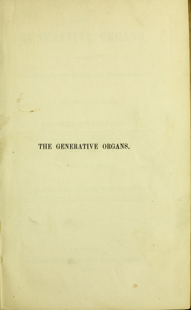 THE GENERATIVE ORGANS.