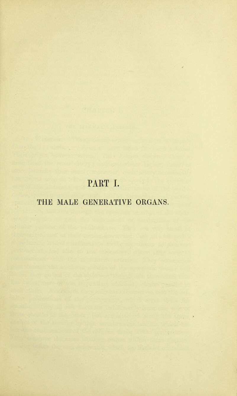 PART I. THE MALE GENERATIVE ORGANS.