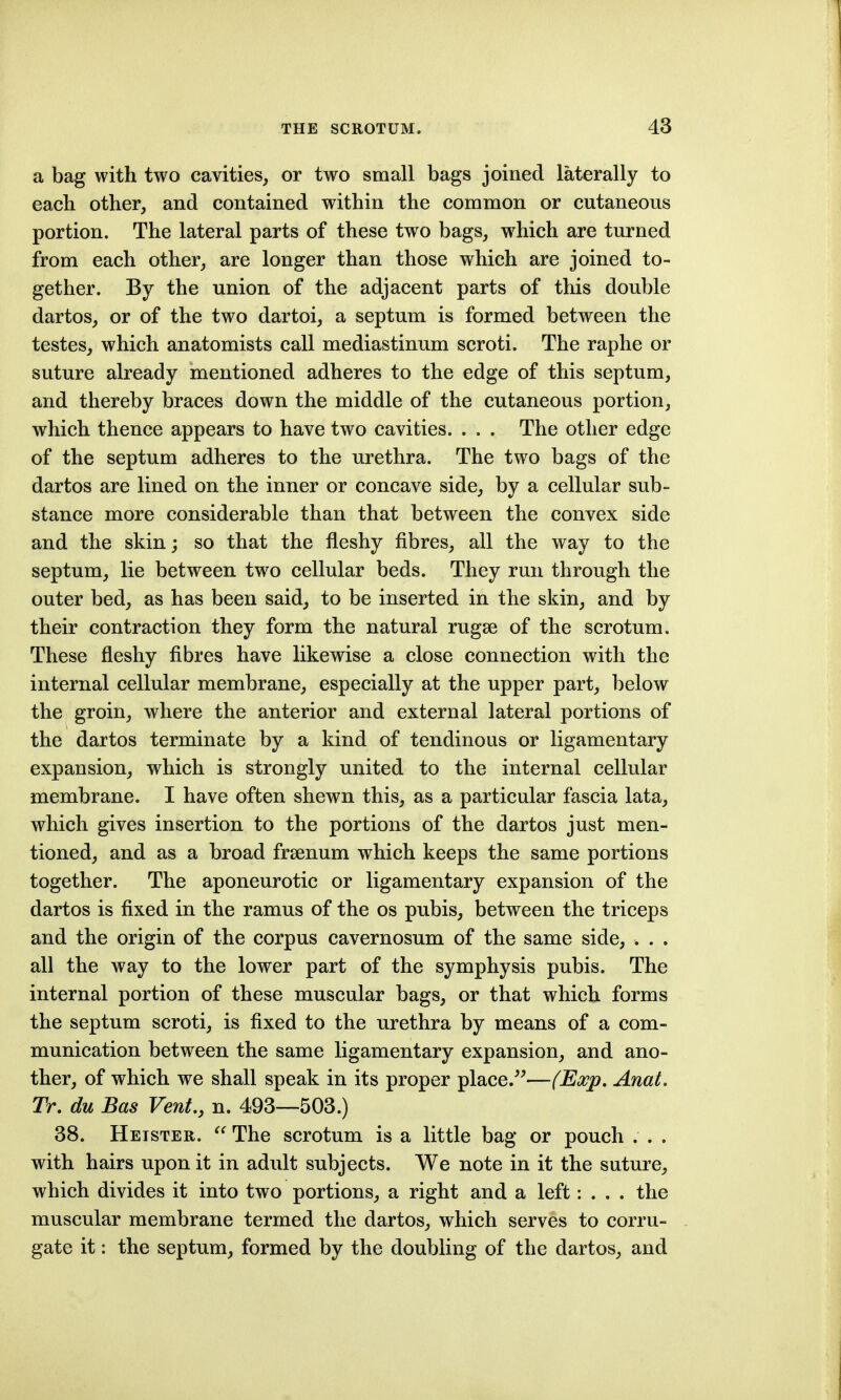 a bag with two cavities, or two small bags joined laterally to each other, and contained within the common or cutaneous portion. The lateral parts of these two bags, w^hich are turned from each other, are longer than those which are joined to- gether. By the union of the adjacent parts of this double dartos, or of the two dartoi, a septum is formed between the testes, which anatomists call mediastinum scroti. The raphe or suture already mentioned adheres to the edge of this septum, and thereby braces down the middle of the cutaneous portion, which thence appears to have two cavities. . . . The other edge of the septum adheres to the urethra. The two bags of the dartos are lined on the inner or concave side, by a cellular sub- stance more considerable than that between the convex side and the skin; so that the fleshy fibres, all the way to the septum, lie between two cellular beds. They run through the outer bed, as has been said, to be inserted in the skin, and by their contraction they form the natural rugae of the scrotum. These fleshy fibres have likewise a close connection with the internal cellular membrane, especially at the upper part, below the groin, where the anterior and external lateral portions of the dartos terminate by a kind of tendinous or ligamentary expansion, which is strongly united to the internal cellular membrane. I have often shewn this, as a particular fascia lata, which gives insertion to the portions of the dartos just men- tioned, and as a broad frsenum which keeps the same portions together. The aponeurotic or ligamentary expansion of the dartos is fixed in the ramus of the os pubis, between the triceps and the origin of the corpus cavernosum of the same side, . . . all the way to the lower part of the symphysis pubis. The internal portion of these muscular bags, or that which forms the septum scroti, is fixed to the urethra by means of a com- munication between the same ligamentary expansion, and ano- ther, of which we shall speak in its proper place.^^—(Eocp, Anat. Tr. du Bas Vent., n. 493—503.) 38. Heister.  The scrotum is a little bag or pouch . . . with hairs upon it in adult subjects. We note in it the suture, which divides it into two portions, a right and a left: . . . the muscular membrane termed the dartos, which serves to corru- gate it: the septum, formed by the doubling of the dartos, and