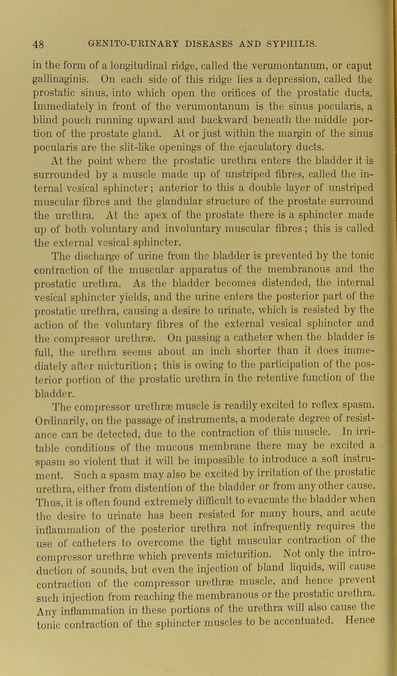 in the form of a longitudinal ridge, called the verumontanum, or caput gallinaginis. On each side of this ridge lies a depression, called the prostatic sinus, into which open the orifices of the prostatic ducts. Immediately in front of the verumontanum is the sinus pocularis, a blind pouch running upward and backward beneath the middle por- tion of the prostate gland. At or just within the margin of the sinus pocularis are the slit-like openings of the ejaculatory ducts. At the point where the prostatic urethra enters the bladder it is surrounded by a muscle made up of unstriped fibres, called the in- ternal vesical sphincter; anterior to this a double layer of unstriped muscular fibres and the glandular structure of the prostate surround the urethra. At the apex of the prostate there is a sphincter made up of both voluntary and involuntary muscular fibres; this is called the external vesical sphincter. The discharge of urine from the bladder is prevented by the tonic contraction of the muscular apparatus of the membranous and the prostatic urethra. As the bladder becomes distended, the internal vesical sphincter yields, and the urine enters the posterior part of the prostatic urethra, causing a desire to urinate, which is resisted by the action of the voluntary fibres of the external vesical sphincter and the compressor urethrae. On passing a catheter when the bladder is full, the urethra seems about an inch shorter than it does imme- diately after micturition; this is owing to the participation of the pos- terior portion of the prostatic urethra in the retentive function of the bladder. The compressor urethrae muscle is readily excited to reflex spasm. Ordinarily, on the passage of instruments, a moderate degree of resist- ance can be detected, due to the contraction ot this muscle. In irri- table conditions of the mucous membrane there may be excited a spasm so violent that it will be impossible to introduce a solt instru- ment. Such a spasm may also be excited by irritation ol the prostatic urethra, either from distention of the bladder or from any other cause. Thus, it is often found extremely difficult to evacuate the bladder when the desire to urinate has been resisted for many hours, and acute inflammation of the posterior urethra not infrequently requires the use of catheters to overcome the tight muscular contraction ol the compressor urethrae which prevents micturition. Not only the intro- duction of sounds, but even the injection of bland liquids, will cause contraction of the compressor urethrie muscle, and hence prevent such injection from reaching the membranous or the prostatic urethra. Any inflammation in these portions of the urethra will also cause the tonic contraction of the sphincter muscles to be accentuated. Hence