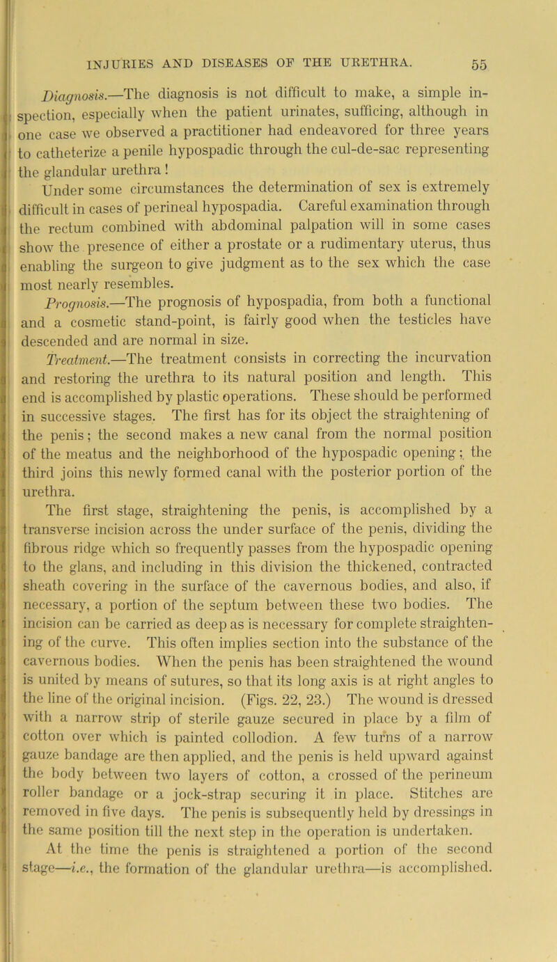 Diagnosis.—The diagnosis is not difficult to make, a simple in- spection, especially when the patient urinates, sufficing, although in one case we observed a practitioner had endeavored for three years to catheterize a penile hypospadic through the cul-de-sac representing the glandular urethra! Under some circumstances the determination of sex is extremely difficult in cases of perineal hypospadia. Careful examination through the rectum combined with abdominal palpation will in some cases show the presence of either a prostate or a rudimentary uterus, thus enabling the surgeon to give judgment as to the sex which the case most nearly resembles. Prognosis.—The prognosis of hypospadia, from both a functional and a cosmetic stand-point, is fairly good when the testicles have descended and are normal in size. Treatment.—The treatment consists in correcting the incurvation and restoring the urethra to its natural position and length. This end is accomplished by plastic operations. These should be performed in successive stages. The first has for its object the straightening of the penis; the second makes a new canal from the normal position of the meatus and the neighborhood of the hypospadic opening; the third joins this newly formed canal with the posterior portion of the urethra. The first stage, straightening the penis, is accomplished by a transverse incision across the under surface of the penis, dividing the fibrous ridge which so frequently passes from the hypospadic opening to the glans, and including in this division the thickened, contracted sheath covering in the surface of the cavernous bodies, and also, if necessary, a portion of the septum between these two bodies. The incision can be carried as deep as is necessary for complete straighten- ing of the curve. This often implies section into the substance of the cavernous bodies. When the penis has been straightened the wound is united by means of sutures, so that its long axis is at right angles to the line of the original incision. (Figs. 22, 23.) The wound is dressed with a narrow strip of sterile gauze secured in place by a film of cotton over which is painted collodion. A few turns of a narrow gauze bandage are then applied, and the penis is held upward against the body between two layers of cotton, a crossed of the perineum roller bandage or a jock-strap securing it in place. Stitches are removed in five days. The penis is subsequently held by dressings in the same position till the next step in the operation is undertaken. At the time the penis is straightened a portion of the second stage—i.e., the formation of the glandular urethra—is accomplished.