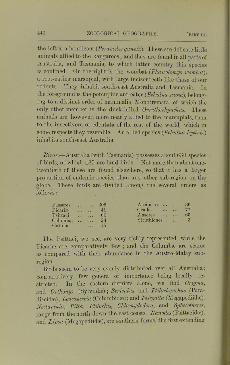 [part Ilf, the left is a bandicoot (Pcramelcs gunnii). These are delicate little animals allied to the kangaroos; and they are found in all parts of Australia, and Tasmania, to which latter country this species is confined. On the right is the wombat {Phascolomys wombat), a root-eating marsupial, with large incisor teeth like those of our rodents. They inhabit south-east Australia and Tasmania. In the foreground is the porcupine ant-eater (Echidna setosa), belong- ing to a distinct order of mammalia, Monotremata, of which the only other member is the duck-billed OmWinrhynchus. These animals are, however, more nearly allied to the marsupials, than to the insectivora or edentata of the rest of the world, which in some respects they resemble. An allied species (Echidna hystrix) inhabits south-east Australia. Birds.—Australia (with Tasmania) possesses about 630 species of birds, of which 485 are land-birds. jSTot more than about one- tAventieth of these are found elsewhere, so that it has a larger proportion of endemic species than any other sub-region on the globe. These birds are divided among the several orders as follows: Passeres .... ... 306 Accipitres 36 Picarite 41 GralJae 77 Psittaci 60 Anseres 65 Columbqe 24 Striithiones ... 3 Gallin.se 15 Tlie Psittaci, we see, are very richly represented, while the Picarise are comparatively few ; and the Columbfe are scarce as compared with their abundance in the Austro-Malay sub- region. Birds seem to be very evenly distributed over all Australia; comparatively few genera of importance being locally re- stricted. In the eastern districts alone, we find Origma, and Orthonyx (Sylviidse); Sericidus and FHlorhynchus (Para- diseid^e); Leucosarcia (Columbidse); and Talegalla (Megapodiidfe). Nectarinia, Pitta, Ptilorhis, Chlamydodera, and SijhecotUres, range from the north down the east coasts. iVa%of?c>?(Psittacid{ie), and Li^wa (Megapodiidse), are southern forms, the first extending