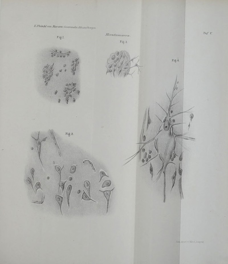 KFlcisrhl [-im Mar.roir. liemn rig.i. Kg.; Fig.3.