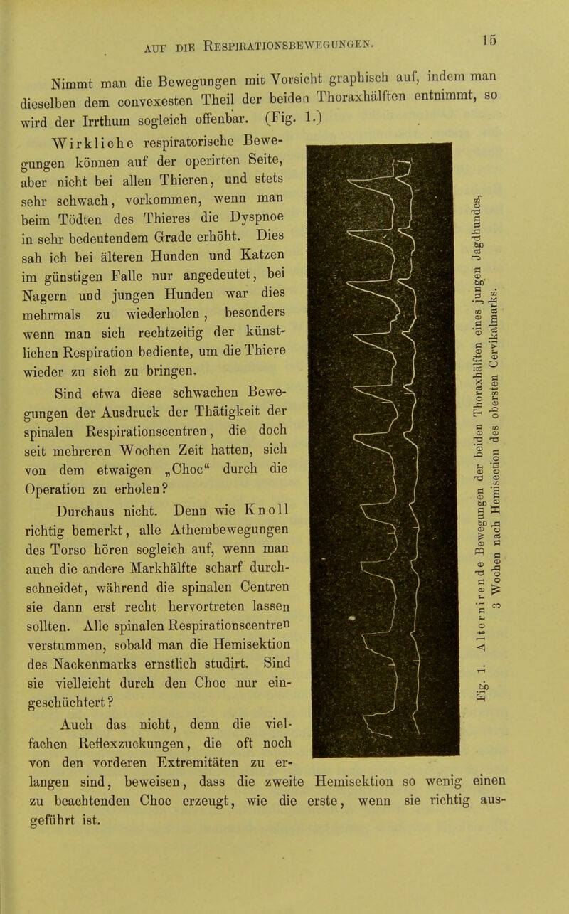 Nimmt man die Bewegungen mit Vorsicht graphisch auf, indem man dieselben dem convexesten Theil der beiden Thoraxhälften entnimmt, so wird der Irrthum sogleich offenbar. (Fig. 1.) Wirkliche respiratorische Bewe- gungen können auf der operirten Seite, aber nicht bei allen Thieren, und stets sehr schwach, vorkommen, wenn man beim Tödten des Thieres die Dyspnoe in sehr bedeutendem Grade erhöht. Dies sah ich bei älteren Hunden und Katzen im günstigen Falle nur angedeutet, bei Nagern und jungen Hunden war dies mehrmals zu wiederholen, besonders wenn man sich rechtzeitig der künst- lichen Respiration bediente, um die Thiere wieder zu sich zu bringen. Sind etwa diese schwachen Bewe- gungen der Ausdruck der Thätigkeit der spinalen Respirationscentren, die doch seit mehreren Wochen Zeit hatten, sich von dem etwaigen „Choc durch die Operation zu erholen? Durchaus nicht. Denn wie Knoll richtig bemerkt, alle Athembewegungen des Torso hören sogleich auf, wenn man auch die andere Markhälfte scharf durch- schneidet, während die spinalen Centren sie dann erst recht hervortreten lassen sollten. Alle spinalen Respirationscentren verstummen, sobald man die Hemisektion des Nackenmarks ernstlich studirt. Sind sie vielleicht durch den Choc nur ein- geschüchtert ? Auch das nicht, denn die viel- fachen Reflexzuckungen, die oft noch von den vorderen Extremitäten zu er- langen sind, beweisen, dass die zweite Hemisektion so wenig einen zu beachtenden Choc erzeugt, wie die erste, wenn sie richtig aus- geführt ist.