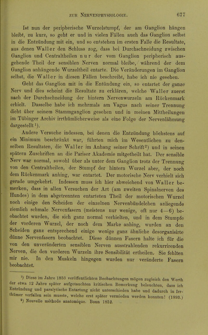 Ist nun der peripherische Wurzelstumpf, der am Ganglion hängen bleibt, zu kurz, so geht er und in vielen Fällen auch das Ganglion selbst in die Entzündung mit ein, und so entstehen im ersten Falle die Resultate, aus denen Waller den Schluss zog, dass bei Durchschneidung zwischen Ganglion und Centraltheilen nur der vom Ganglion peripherisch aus- gehende Theil der sensiblen Nerven normal bleibe, während der dem Ganglion anhängende Wurzeltheil entarte. Die Veränderungen im Ganglion selbst, die Waller in diesen Fällen beschreibt, habe ich nie gesehen. Geht das Ganglion mit in die Entündung ein, so entartet der ganze Nerv und dies seheint die Resultate zu erklären, welche Waller zuerst nach der Durchschneidung der hintern Nervenwurzeln am Rückenmark erhielt. Dasselbe habe ich mehrmals am Vagus nach seiner Trennung dicht über seinem Stammganglion gesehen und in meinen Mittheilungen im Tübinger Archiv irrthümhcherweise als eine Folge der Nervenlähmung dargestellt ^). Andere Versuche indessen, bei denen die Entzündung höchstens auf ein Minimum beschränkt war, führten mich im Wesentlichen zu den- selben Resultaten, die Waller im Anhang seiner Schrift2) und in seinen spätem Zuschriften an die Pariser Akademie mitgetheilt hat. Der sensible Nerv war normal, sowohl über als unter dem Ganglion trotz der Trennung von den Centraltheilen, der Stumpf der hintern Wurzel aber, der noch dem Rückenmark anhing, war entartet. Der motorische Nerv verhielt sich gerade umgekehrt. Indessen muss ich hier abweichend von Waller be- merken, dass in allen Versuchen der Art (am zweiten Spinalnerven des Hundes) in dem abgetrennten entarteten Theil der motorischen Wurzel noch einige den Scheiden der einzelnen Nervenbündelchen anliegende ziemlich schmale Nervenfasern (meistens nur wenige, oft nur 4—6} be- obachtet wurden, die sich ganz normal verhielten, und in dem Stumpfe der vorderen Wurzel, der noch dem Marke anhing, wurden an den Scheiden ganz entsprechend einige wenige ganz ähnliche desorganisirte dünne Nervenfasern beobachtet. Diese dünnen Fasern halte ich für die von den unveränderten sensiblen Nerven ausstrahlenden rekurrirenden Nerven, die den vorderen Wurzeln ihre SensibiHtät ertheilen. Sie fehlten mir nie. In den Muskeln hingegen wurden nur veränderte Fasern beobachtet. ') Diese im Jahre 1853 veröffentlichten Beobachtungen mögen zugleich den Werth der etwa 12 Jahre später aufgetauchten kritischen Bemerkung beleuchten, dass ich Entzündung und paralytische Entartung nicht unterschieden habe und dadurch in Irr- thümer verfallen sein musste, welche erst später vermieden werden konnten! (1893.) *J Nouvelle möthode anatomique. Bonn 1852.