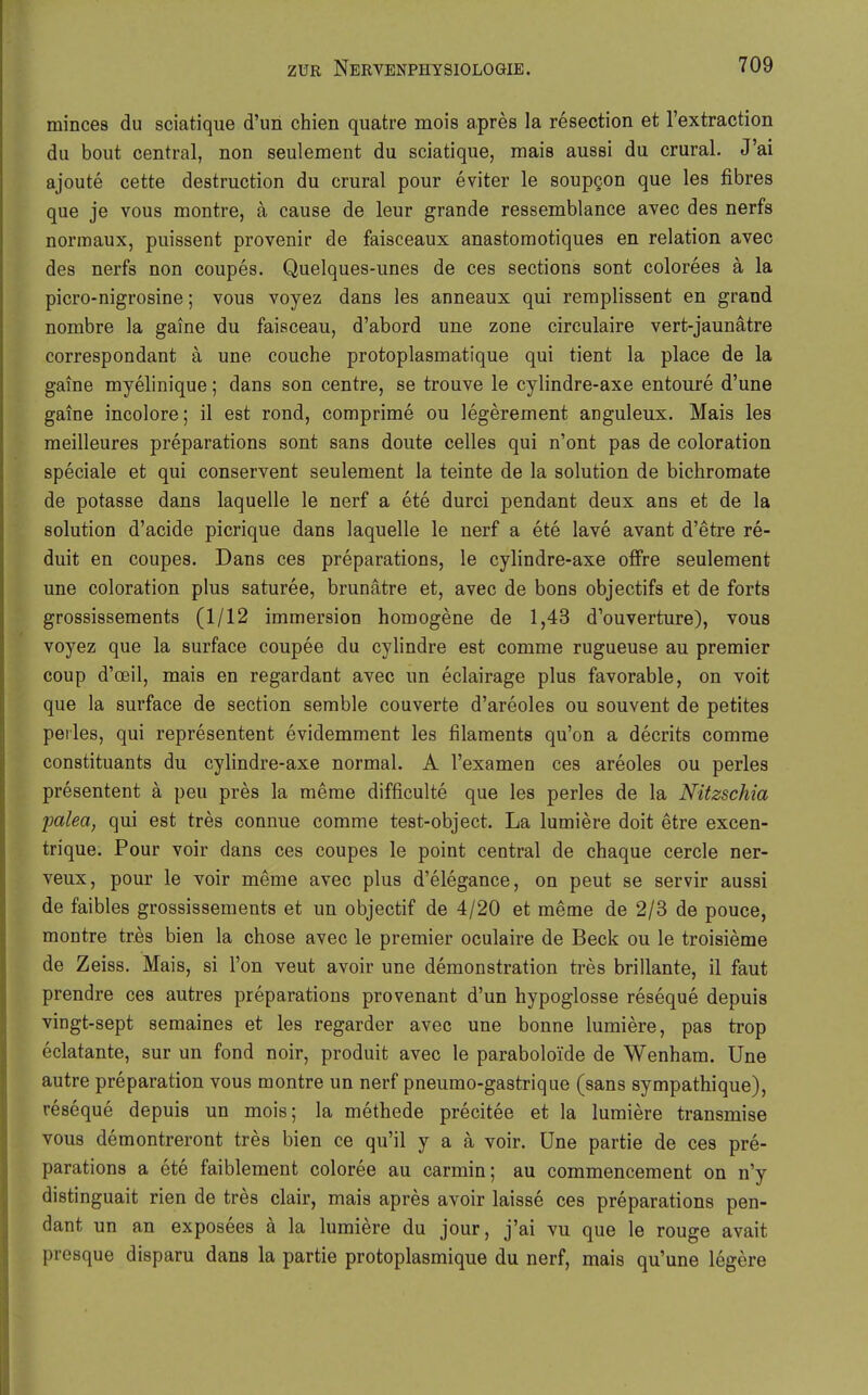 minces du sciatique d'un chien quatre mois apres la resection et l'extraction du bout central, non seulement du sciatique, mais aussi du crural. J'ai ajoute cette destruction du crural pour eviter le soupgon que les fibres que je vous montre, ä cause de leur grande ressemblance avec des nerfs normaux, puissent provenir de faisceaux anastomotiques en relation avec des nerfs non coupes. Quelques-unes de ces sections sont colorees ä la picro-nigrosine; vous voyez dans les anneaux qui remplissent en grand nombre la gaine du faisceau, d'abord une zone circulaire vert-jaunätre correspondant ä une couche protoplasmatique qui tient la place de la gaine myelinique; dans son centre, se trouve le cylindre-axe entoure d'une gaine incolore; il est rond, comprime ou legerement anguleux. Mais les meilleures preparations sont sans doute celles qui n'ont pas de coloration speciale et qui conservent seulement la teinte de la Solution de bichromate de potasse dans laquelle le nerf a ete durci pendant deux ans et de la Solution d'acide picrique dans laquelle le nerf a ete lave avant d'etre re- duit en coupes. Dans ces preparations, le cylindre-axe offre seulement une coloration plus saturee, brunätre et, avec de bons objectifs et de forts grossissements (1/12 Immersion homogene de 1,43 d'ouverture), vous voyez que la surface coupee du cylindre est comme rugueuse au premier coup d'oeil, mais en regardant avec un eclairage plus favorable, on voit que la surface de section semble couverte d'areoles ou souvent de petites perles, qui representent evidemment les filaments qu'on a decrits comme constituants du cylindre-axe normal. A l'examen ces areoles ou perles presentent ä peu pres la meme difficulte que les perles de la Nitzschia falea, qui est tres connue comme test-object. La lumiere doit etre excen- trique. Pour voir dans ces coupes le point central de chaque cercle ner- veux, pour le voir meme avec plus d'elegance, on peut se servir aussi de faibles grossissements et un objectif de 4/20 et meme de 2/3 de pouce, montre trßs bien la chose avec le premier oculaire de Beck ou le troisieme de Zeiss. Mais, si l'on veut avoir une demonstration tres brillante, il faut prendre ces autres preparations provenant d'un hypoglosse reseque depuis vingt-sept semaines et les regarder avec une bonne lumiere, pas trop eclatante, sur un fond noir, produit avec le paraboloi'de de Wenham. Une autre preparation vous montre un nerf pneumo-gastrique (sans sympathique), reseque depuis un mois; la methede precitee et la lumiere transmise vous demontreront tres bien ce qu'il y a ä voir. Une partie de ces pre- parations a ete faiblement coloree au carmin; au commencement on n'y distinguait rien de tres clair, mais apres avoir laisse ces preparations pen- dant un an exposees ä la lumiere du jour, j'ai vu que le rouge avait presque disparu dans la partie protoplasmique du nerf, mais qu'une legere