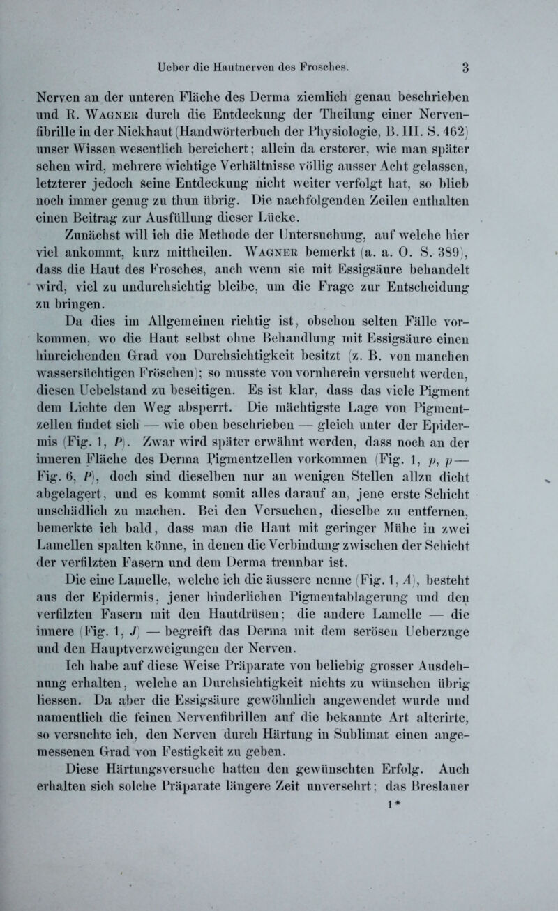 Nerven an der unteren Fläche des Derma ziemlich genau beschrieben und R. Wagner durch die Entdeckung der Theilung einer Nerven- fibrille in der Nickhaut (Handwörterbuch der Physiologie, B. III. S. 462) unser Wissen wesentlich bereichert; allein da ersterer, wie man später sehen wird, mehrere wichtige Verhältnisse völlig ausser Acht gelassen, letzterer jedoch Seine Entdeckung nicht weiter verfolgt hat, so blieb noch immer genug zu thun übrig. Die nachfolgenden Zeilen enthalten einen Beitrag zur Ausfüllung dieser Lücke. Zunächst will ich die Methode der Untersuchung, auf welche hier viel ankommt, kurz mittheilen. Wagner bemerkt (a. a. 0. S. 389), dass die Haut des Frosches, auch wenn sie mit Essigsäure behandelt wird, viel zu undurchsichtig bleibe, um die Frage zur Entscheidung zu bringen. Da dies im Allgemeinen richtig ist, obschon selten Fälle Vor- kommen, wo die Haut selbst ohne Behandlung mit Essigsäure einen hinreichenden Grad von Durchsichtigkeit besitzt (z. B. von manchen wassersüchtigen Fröschen); so musste von vornherein versucht werden, diesen Uebelstand zu beseitigen. Es ist klar, dass das viele Pigment dem Lichte den Weg absperrt. Die mächtigste Lage von Pigment- zellen findet sich — wie oben beschrieben — gleich unter der Epider- mis (Fig. 1, P). Zwar wird später erwähnt werden, dass noch an der inneren Fläche des Derma Pigmentzellen Vorkommen (Fig. 1, p, p — Fig. 6, P), doch sind dieselben nur an wenigen Stellen allzu dicht abgelagert, und es kommt somit alles darauf an, jene erste Schicht unschädlich zu machen. Bei den Versuchen, dieselbe zu entfernen, bemerkte ich bald, dass man die Haut mit geringer Mühe in zwei Lamellen spalten könne, in denen die Verbindung zwischen der Schicht der verfilzten Fasern und dem Derma trennbar ist. Die eine Lamelle, welche ich die äussere nenne (Fig. 1, A), besteht aus der Epidermis, jener hinderlichen Pigmentablagerung und den verfilzten Fasern mit den Hautdrüsen; die andere Lamelle — die innere Fig. 1, J) —begreift das Derma mit dem serösen Ueberzuge und den Hauptverzweigungen der Nerven. Ich habe auf diese Weise Präparate von beliebig grosser Ausdeh- nung erhalten, welche an Durchsichtigkeit nichts zu w ünschen übrig Hessen. Da aber die Essigsäure gewöhnlich ang*ewrendet wurde und namentlich die feinen Nervenfibrillen auf die bekannte Art alterirte, so versuchte ich, den Nerven durch Härtung in Sublimat einen ange- messenen Grad von Festigkeit zu geben. Diese Härtungsversuche hatten den gewünschten Erfolg. Audi erhalten sich solche Präparate längere Zeit unversehrt: das Breslauer l*