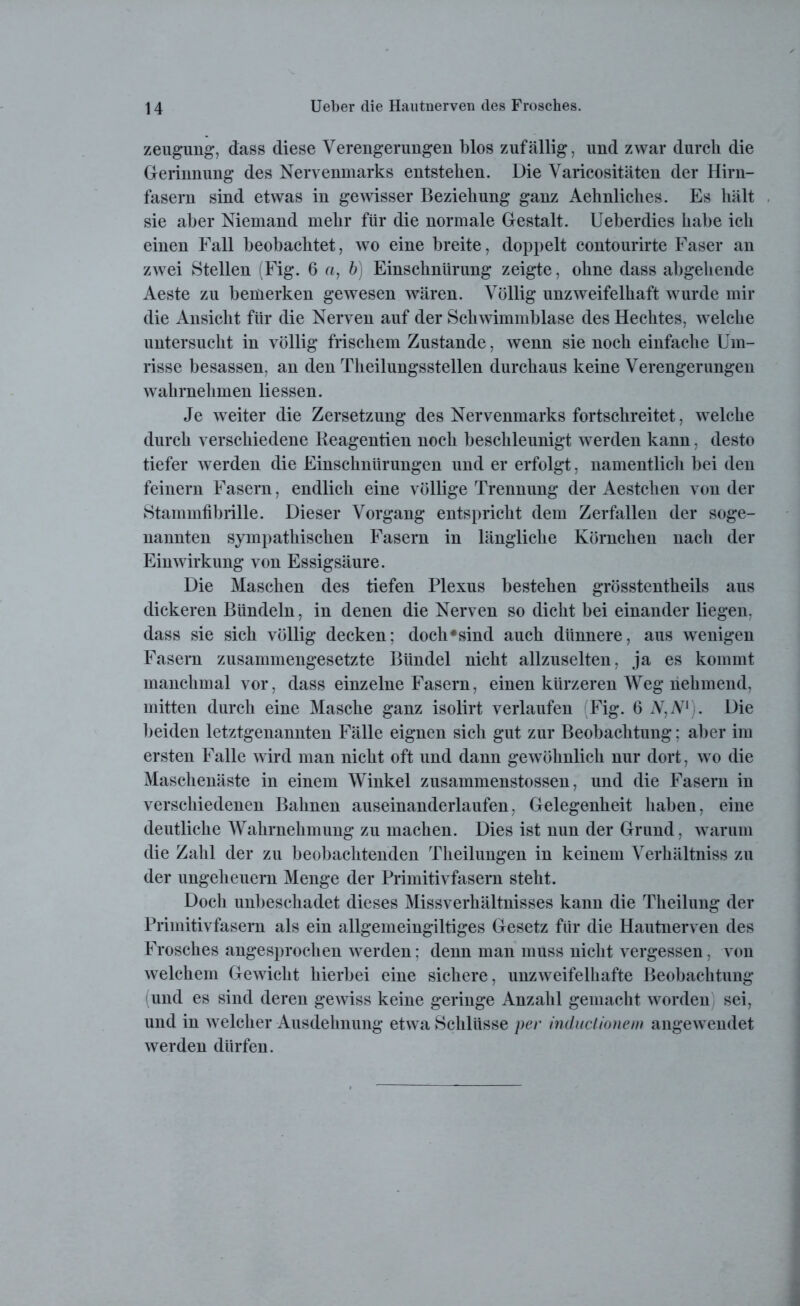 zeugung, dass diese Verengerungen blos zufällig, und zwar durch die Gerinnung des Nervenmarks entstehen. Die Varicositäten der Hirn- fasern sind etwas in gewisser Beziehung ganz Aehnliches. Es hält sie aber Niemand mehr für die normale Gestalt. Ueberdies habe ich einen Fall beobachtet, wo eine breite, doppelt contourirte Faser an zwei Stellen (Fig. 6 a, b) Einschnürung zeigte, ohne dass abgehende Aeste zu bemerken gewesen wären. Völlig unzweifelhaft wurde mir die Ansicht für die Nerven auf der Schwimmblase des Hechtes, welche untersucht in völlig frischem Zustande, wenn sie noch einfache Um- risse besassen, an den Theilungsstellen durchaus keine Verengerungen wahrnehmen Hessen. Je weiter die Zersetzung des Nervenmarks fortschreitet, welche durch verschiedene Keagentien noch beschleunigt werden kann, desto tiefer werden die Einschnürungen und er erfolgt, namentlich bei den feinem Fasern, endlich eine völlige Trennung der Aestchen von der Stammfibrille. Dieser Vorgang entspricht dem Zerfallen der soge- nannten sympathischen Fasern in längliche Körnchen nach der Einwirkung von Essigsäure. Die Maschen des tiefen Plexus bestehen grösstentheils aus dickeren Bündeln, in denen die Nerven so dicht bei einander liegen, dass sie sich völlig decken; doch*sind auch dünnere, aus wenigen Fasern zusammengesetzte Bündel nicht allzuselten, ja es kommt manchmal vor, dass einzelne Fasern, einen kürzeren Weg nehmend, mitten durch eine Masche ganz isolirt verlaufen Fig. 6 A,V1). Die beiden letztgenannten Fälle eignen sich gut zur Beobachtung: aber im ersten Falle wird man nicht oft und dann gewöhnlich nur dort, wo die Maschenäste in einem Winkel zusammenstossen, und die Fasern in verschiedenen Bahnen auseinanderlaufen, Gelegenheit haben, eine deutliche Wahrnehmung zu machen. Dies ist nun der Grund, warum die Zahl der zu beobachtenden Theilungen in keinem Verhältniss zu der Ungeheuern Menge der Primitivfasern steht. Doch unbeschadet dieses Missverhältnisses kann die Theilung der Primitivfasern als ein allgemeingiltiges Gesetz für die Hautnerven des Frosches angesprochen werden: denn man muss nicht vergessen, von welchem Gewicht hierbei eine sichere, unzweifelhafte Beobachtung (und es sind deren gewiss keine geringe Anzahl gemacht worden sei, und in welcher Ausdehnung etwa Schlüsse per inductionem angewendet werden dürfen.