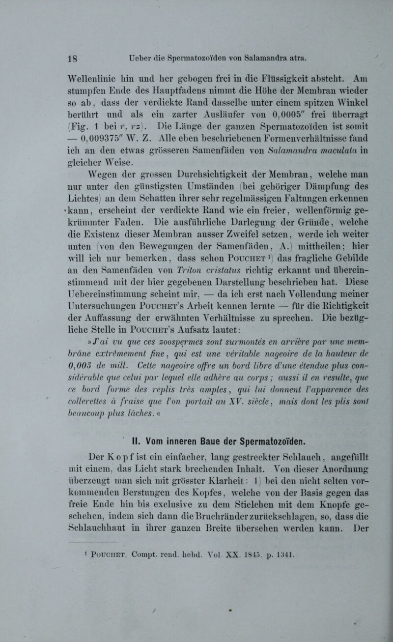 y Wellenlinie hin und her gebogen frei in die Flüssigkeit absteht. Am stumpfen Ende des Hauptfadens nimmt die Höhe der Membran wieder so ab, dass der verdickte Rand dasselbe unter einem spitzen Winkel berührt und als ein zarter Ausläufer von 0,0005 frei überragt (Fig. 1 bei r, rz). Die Länge der ganzen Spermatozoiden ist somit — 0,009375 W. Z. Alle eben beschriebenen Formenverhältnisse fand ich an den etwas grösseren Samenfäden von Salamandra maculata in gleicher Weise. Wegen der grossen Durchsichtigkeit der Membran, welche man nur unter den günstigsten Umständen (bei gehöriger Dämpfung des Lichtes) an dem Schatten ihrer sehr regelmässigen Faltungen erkennen • kann, erscheint der verdickte Rand wie ein freier, wellenförmig ge- krümmter Faden. Die ausführliche Darlegung der Gründe, welche die Existenz dieser Membran ausser Zweifel setzen, werde ich weiter unten von den Bewegungen der Samenfäden, A.) mittheilen; hier will ich nur bemerken, dass schon Pouchet 1 das fragliche Gebilde an den Samenfäden von Triton cristatus richtig erkannt und überein- stimmend mit der hier gegebenen Darstellung beschrieben hat. Diese Uebereinstimmung scheint mir, — da ich erst nach Vollendung meiner Untersuchungen Pouchet’s Arbeit kennen lernte — für die Richtigkeit der Auffassung der erwähnten Verhältnisse zu sprechen. Die bezüg- liche Stelle in Pouchet’s Aufsatz lautet: »Tai vu que ces zoospermes sont surmontes en arriere par ane mem- bräne extr&mement fine, qui est une veritable nageoire de la hauteur de 0,005 de mill. Cette nageoire offre un bord libre d’une etendue plus con- siderable que celui par lequel eile adhere au corps ; aussi il en resulte, que ce bord forme des replis tres amples, qui lui donnent Vapparence des collerettes ä fraise que Von portait au XV. siecle, mais dont les plis sont beaucoup plus läches. « II. Vom inneren Baue der Spermatozoiden. Der Kopf ist ein einfacher, lang gestreckter Schlauch, angefüllt mit einem, das Licht stark brechenden Inhalt. Von dieser Anordnung überzeugt man sich mit grösster Klarheit: 1 bei den nicht selten vor- kommenden Berstungen des Kopfes, welche von der Basis gegen das freie Ende hin bis exclusive zu dem Stielchen mit dem Knopfe ge- schehen, indem sich dann die Bruchränder Zurückschlagen, so, dass die Schlauchhaut in ihrer ganzen Breite übersehen werden kann. Der 1 Pouchet, Compt. rend. lieüd. Vol. XX. 1S45. p. 1341.