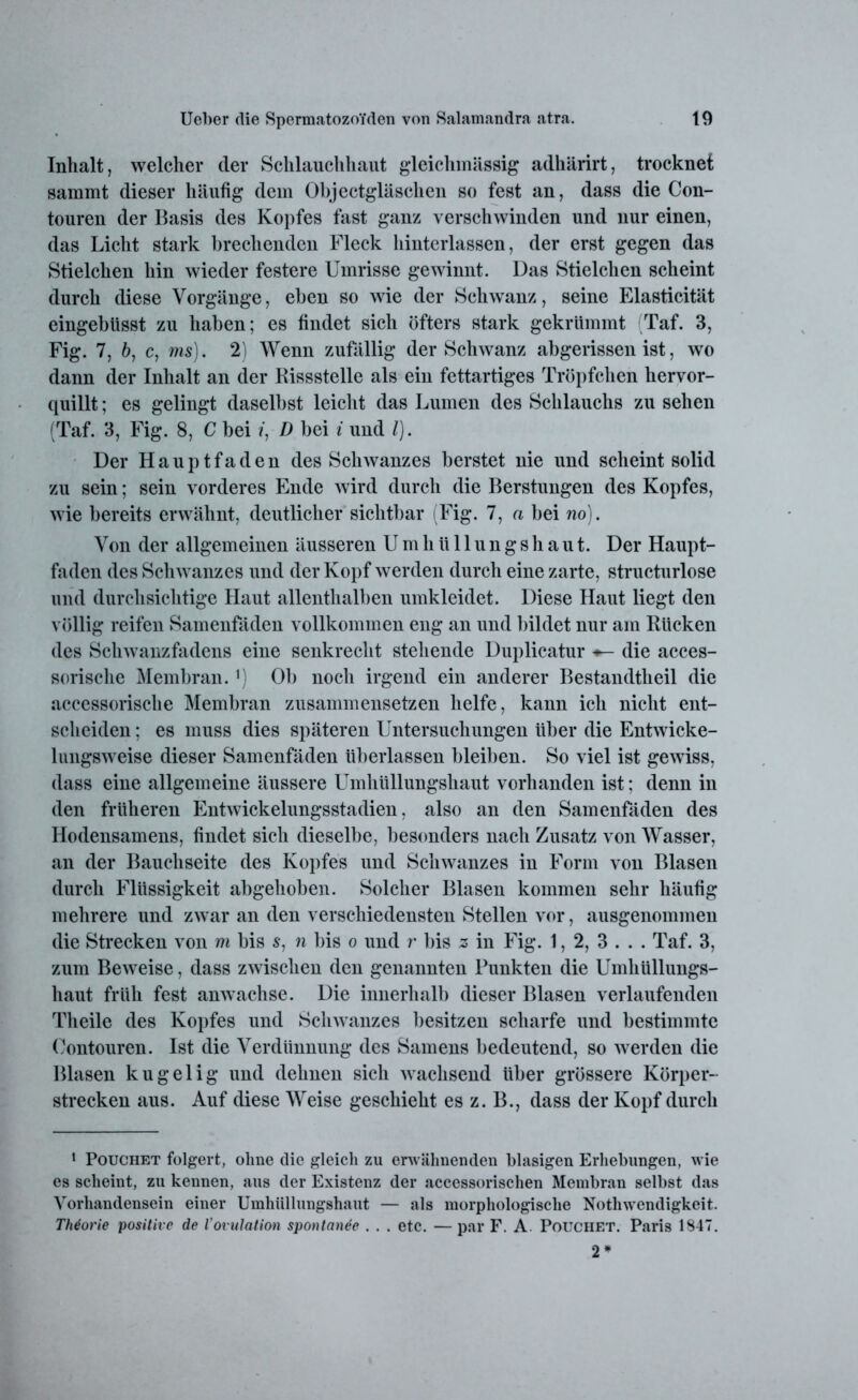 Inhalt, welcher der Schlauchhaut gleichmässig adhärirt, trocknet sammt dieser häufig dem Objectgläschen so fest an, dass die Con- touren der Basis des Kopfes fast ganz verschwinden und nur einen, das Licht stark brechenden Fleck hinterlassen, der erst gegen das Stielchen hin wieder festere Umrisse gewinnt. Das Stielchen scheint durch diese Vorgänge, eben so wie der Schwanz, seine Elasticität eingebtisst zu haben; es findet sich öfters stark gekrümmt (Taf. 3, Fig. 7, 6, c, ms). 2) Wenn zufällig der Schwanz abgerissen ist, wo dann der Inhalt an der Bissstelle als ein fettartiges Tröpfchen hervor- quillt ; es gelingt daselbst leicht das Lumen des Schlauchs zu sehen (Taf. 3, Fig. 8, C bei /, D bei i und l). Der Hauptfaden des Schwanzes berstet nie und scheint solid zu sein; sein vorderes Ende wird durch die Berstungen des Kopfes, wie bereits erwähnt, deutlicher sichtbar (Fig. 7, a bei wo). Von der allgemeinen äusseren Umhüllungshaut. Der Haupt- faden des Schwanzes und der Kopf werden durch eine zarte, structurlose und durchsichtige Haut allenthalben umkleidet. Diese Haut liegt den völlig reifen Samenfäden vollkommen eng an und bildet nur am Rücken des Schwanzfadens eine senkrecht stehende Duplicatur die acces- sorische Membran. l) Ob noch irgend ein anderer Bestandtheil die accessorische Membran zusammensetzen helfe, kann ich nicht ent- scheiden ; es muss dies späteren Untersuchungen über die Entwicke- lungsweise dieser Samenfäden überlassen bleiben. So viel ist gewiss, dass eine allgemeine äussere Umhüllungshaut vorhanden ist; denn in den früheren Entwickelungsstadien, also an den Samenfäden des Hodensamens, findet sich dieselbe, besonders nach Zusatz von Wasser, an der Bauchseite des Kopfes und Schwanzes in Form von Blasen durch Flüssigkeit abgehoben. Solcher Blasen kommen sehr häufig mehrere und zwar an den verschiedensten Stellen vor, ausgenommen die Strecken von m bis s, n bis o und r bis z in Fig. 1, 2, 3 . . . Taf. 3, zum Beweise, dass zwischen den genannten Punkten die Umhüllungs- haut früh fest anwachse. Die innerhalb dieser Blasen verlaufenden Theile des Kopfes und Schwanzes besitzen scharfe und bestimmte Oontouren. Ist die Verdünnung des Samens bedeutend, so werden die Blasen kugelig und dehnen sich wachsend über grössere Körper- strecken aus. Auf diese Weise geschieht es z. B., dass der Kopf durch 1 Pouchet folgert, ohne die gleich zu erwähnenden blasigen Erhebungen, wie es scheint, zu kennen, aus der Existenz der accessorischen Membran selbst das Vorhandensein einer Umhüllungshaut — als morphologische Nothwendigkeit. Theorie positive de Vovulation spontanee . . . etc. — par F. A. PoüCHET. Paris 1S47. 2*