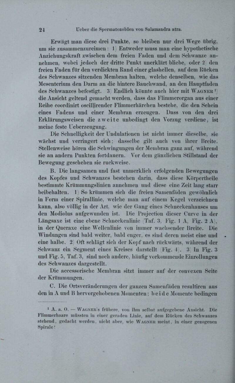 Erwägt man diese drei Punkte, so bleiben nur drei Wege übrig, um sie zusammenzureimen: 1 Entweder muss man eine hypothetische Anziehungskraft zwischen dem freien Faden und dem Schwänze an- nehmen, wobei jedoch der dritte Punkt unerklärt bliebe, oder 2 den freien Faden für den verdickten Rand einer glashellen, auf dem Rücken des Schwanzes sitzenden Membran halten, welche denselben, wie das Mesenterium den Darm an die hintere Bauchwand, an den Hauptfaden des Schwanzes befestigt. 3 Endlich könnte auch hier mit Wagner 1 die Ansicht geltend gemacht werden, dass das Flimmerorgan aus einer Reihe coordinirt oscillirender Flimmerhärchen bestehe, die den Schein eines Fadens und einer Membran erzeugen. Dass von den drei Erklärungsweisen die zweite unbedingt den Vorzug verdiene, ist meine feste Ueberzeugung. Die Schnelligkeit der Undulationen ist nicht immer dieselbe, sie wächst und verringert sich: dasselbe gilt auch von ihrer Breite. Stellenweise hören die Schwingungen der Membran ganz auf, während sie an andern Punkten fortdauern. Vor dem gänzlichen Stillstand der Bewegung geschehen sie ruckweise. B. Die langsamen und fast unmerklich erfolgenden Bewegungen des Kopfes und Schwanzes bestehen darin, dass diese Körpertheile bestimmte Krümmungslinien annehmen und diese eine Zeit lang starr beibelialten. 1 So krümmen sich die freien Samenfäden gewöhnlich in Form einer Spirallinie, welche man auf einem Kegel verzeichnen kann, also völlig in der Art, wie der (Jang eines Schneckenhauses um den Modiolus aufgewunden ist. Die Projection dieser Curve in der Längsaxe ist eine ebene Schneckenlinie Taf. 3, Fig. 1 A, Fig. 2 A , in der Queraxe eine Wellenlinie von immer wachsender Breite. Die Windungen sind bald weiter, bald enger, es sind deren meist eine und eine halbe. 2 Oft schlägt sich der Kopf nach rückwärts, während der Schwanz ein Segment eines Kreises darstellt Fig. 4 . 3 In Fig. 3 und Fig. 5, Taf. 3, sind noch andere, häutig vorkommende Einrollungen des Schwanzes dargestellt. Die accessorische Membran sitzt immer auf der convexen Seite der Krümmungen. C. Die Ortsveränderungen der ganzen Samenfäden resultiren aus den in A und B hervorgehobenen Momenten: 1) e i d e Momente bedingen 1 A. a. 0. — Wagner’s frühere, von ihm seihst aufgegebene Ansicht. Die Flimmerhaare müssten in einer geraden Linie, auf dem Rücken des Schwanzes stehend, gedacht werden, nicht aber, wie Wagner meint, in einer gezogenen Spirale!