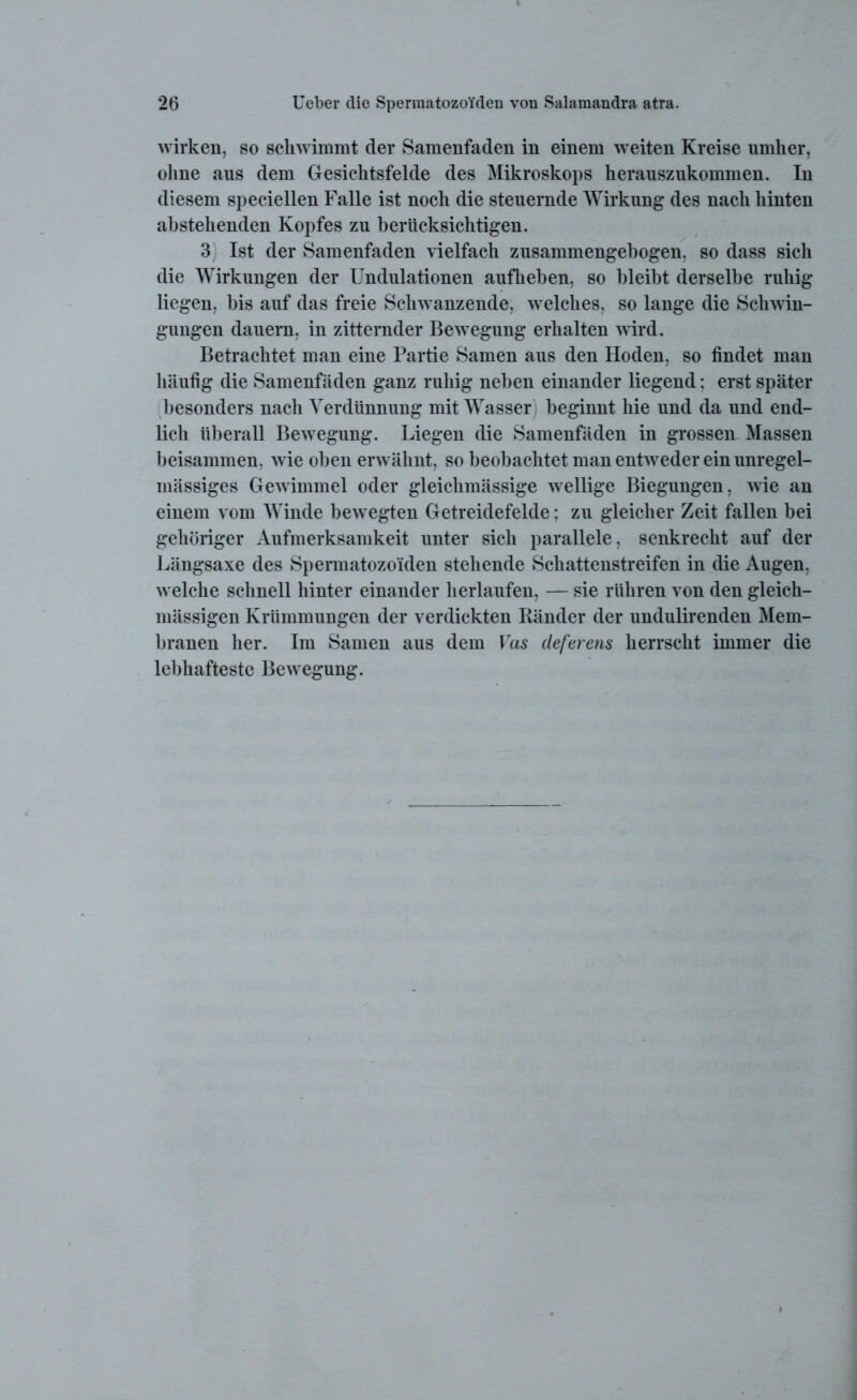 wirken, so schwimmt der Samenfaden in einem weiten Kreise umher, ohne aus dem Gesichtsfelde des Mikroskops herauszukommen. In diesem speciellen Falle ist noch die steuernde Wirkung des nach hinten abstehenden Kopfes zu berücksichtigen. 3) Ist der Samenfaden vielfach zusammengebogen, so dass sich die Wirkungen der Undulationen aufheben, so bleibt derselbe ruhig liegen, bis auf das freie Schwanzende, welches, so lange die Schwin- gungen dauern, in zitternder Bewegung erhalten wird. Betrachtet man eine Partie Samen aus den Hoden, so findet man häufig die Samenfäden ganz ruhig neben einander liegend: erst später besonders nach Verdünnung mit Wasser) beginnt hie und da und end- lich überall Bewegung. Liegen die Samenfäden in grossen Massen beisammen, wie oben erwähnt, so beobachtet man entweder ein unregel- mässiges Gewimmel oder gleichmässige wellige Biegungen, wie an einem vom Winde bewegten Getreidefelde: zu gleicher Zeit fallen bei gehöriger Aufmerksamkeit unter sich parallele, senkrecht auf der Längsaxe des Spermatozo’iden stehende Schattenstreifen in die Augen, welche schnell hinter einander herlaufen, — sie rühren von den gleich- mässigen Krümmungen der verdickten Ränder der undulirenden Mem- branen her. Im Samen aus dem Vas cleferens herrscht immer die lebhafteste Bewegung.