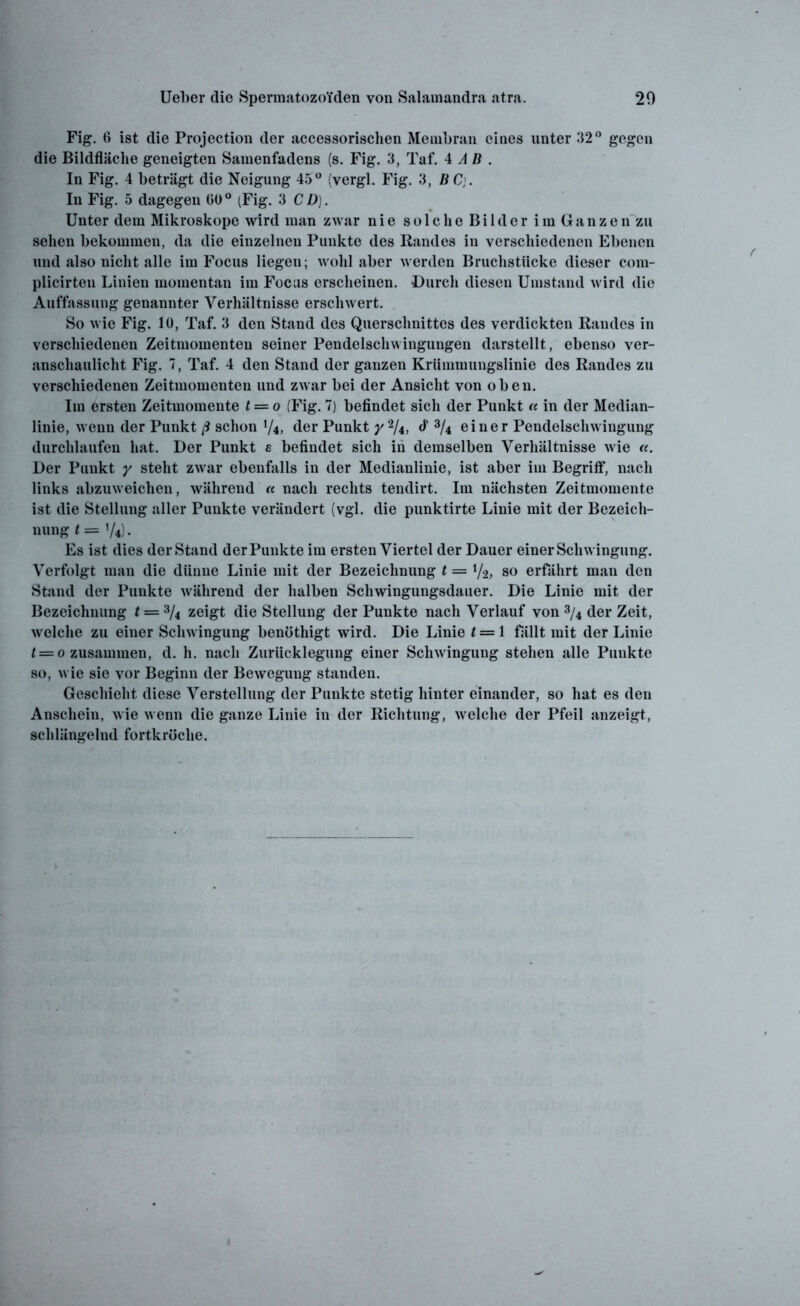 Fig. 6 ist die Projection der accessorischen Membran eines unter 32° gegen die Bildfläche geneigten Samenfadens (s. Fig. 3, Taf. 4 AB. In Fig. 4 beträgt die Neigung 45° (vergl. Fig. 3, BC,. In Fig. 5 dagegen 00° (Fig. 3 CD). Unter dem Mikroskope wird man zwar nie solche Bilder im Ganzen zu sehen bekommen, da die einzelnen Punkte des Randes in verschiedenen Ebenen und also nicht alle im Focus liegen; wohl aber werden Bruchstücke dieser com- plicirten Linien momentan im Focus erscheinen. Durch diesen Umstand wird die Auffassung genannter Verhältnisse erschwert. So wie Fig. lü, Taf. 3 den Stand des Querschnittes des verdickten Randes in verschiedenen Zeitmomenten seiner Pendelschwingungen darstellt, ebenso ver- anschaulicht Fig. 7, Taf. 4 den Stand der ganzen Krümmungslinie des Randes zu verschiedenen Zeitmomenten und zwar bei der Ansicht von oben. Im ersten Zeitmomente t = o (Fig. 7) befindet sich der Punkt « in der Median- linie, wenn der Punkt ß schon y4, der Punkt y2U, 3/4 einer Pendelschwingung durchlaufen hat. Der Punkt e befindet sich in demselben Verhältnisse wie «. Der Punkt y steht zwar ebenfalls in der Medianlinie, ist aber im Begriff, nach links abzuweichen, während « nach rechts tendirt. Im nächsten Zeitmomente ist die Stellung aller Punkte verändert (vgl. die punktirte Linie mit der Bezeich- nung t = y4). Es ist dies der Stand der Punkte im ersten Viertel der Dauer einer Schwingung. Verfolgt man die dünne Linie mit der Bezeichnung t = y2, so erfährt man den Stand der Punkte während der halben Schwingungsdauer. Die Linie mit der Bezeichnung t = 3/4 zeigt die Stellung der Punkte nach Verlauf von 3/4 der Zeit, welche zu einer Schwingung benüthigt wird. Die Linie t = 1 fällt mit der Linie t = o zusammen, d. h. nach Zurücklegung einer Schwingung stehen alle Punkte so, wie sie vor Beginn der Bewegung standen. Geschieht diese Verstellung der Punkte stetig hinter einander, so hat es den Anschein, wie w enn die ganze Linie in der Richtung, welche der Pfeil anzeigt, schlängelnd fortkröche.