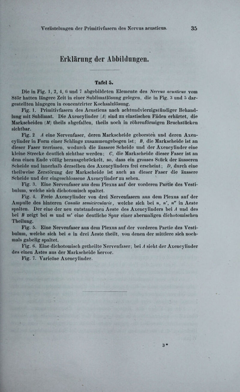 Erklärung der Abbildungen. Tafel 5. Die in Fig. 1, 2, 4, (I und 7 abgebildcten Elemente des Nervus acusticus vom Stör hatten längere Zeit in einer Sublimatlösung gelegen, die in Fig. .‘1 und 5 dar- gestellten hingegen in concentrirter Kochsalzlösung. Fig. 1. Primitivfasern des Acusticus nach achtundvicrzigstündiger Behand- lung mit Sublimat. Die Axencylinder [A] sind zu elastischen Fäden erhärtet, die Markscheiden (M) tlieils abgefallen, theils noch in röhrenförmigen Bruchstücken sichtbar. Fig. 2 A eine Nervenfaser, deren Markscheide geborsten und deren Axen- cylinder in Form einer Schlinge zusammengebogen ist; B, die Markscheide ist an dieser Faser zerrissen, wodurch die äussere Scheide und der Axencylinder eine kleine Strecke deutlich sichtbar werden; C, die Markscheide dieser Faser ist an dem einen Ende völlig herausgebröckelt, so, dass ein grosses Stück der äusseren Scheide und innerhalb derselben des Axencylinders frei erscheint; D, durch eine theilweise Zerstörung der Markscheide ist auch an dieser Faser die äussere Scheide und der eingeschlossene Axencylinder zu sehen. Fig. 3. Eine Nervenfaser aus dem Plexus auf der vorderen Partie des Vesti- bulum, welche sich dichotomisch spaltet. Fig. 4. Freie Axencylinder von drei Nervenfasern aus dem Plexus auf der Ampulle des hinteren Canalis semicircularis, welche sich bei n, n', n in Aeste spalten. Der eine der neu entstandenen Aeste des Axencylinders bei A und des bei B zeigt bei m und m' eine deutliche Spur einer abermaligen dichotomisclien Theilung. Fig. 5. Eine Nervenfaser aus dem Plexus auf der vorderen Partie des Vesti- bulum, welche sich bei a in drei Aeste theilt, von denen der mittlere sich noch- mals gabelig spaltet. Fig. ü. Eine dichotomisch getheilte Nervenfaser; bei A sieht der Axencylinder des einen Astes aus der Markscheide hervor. Fig. 7. Varicöse Axencylinder. 3
