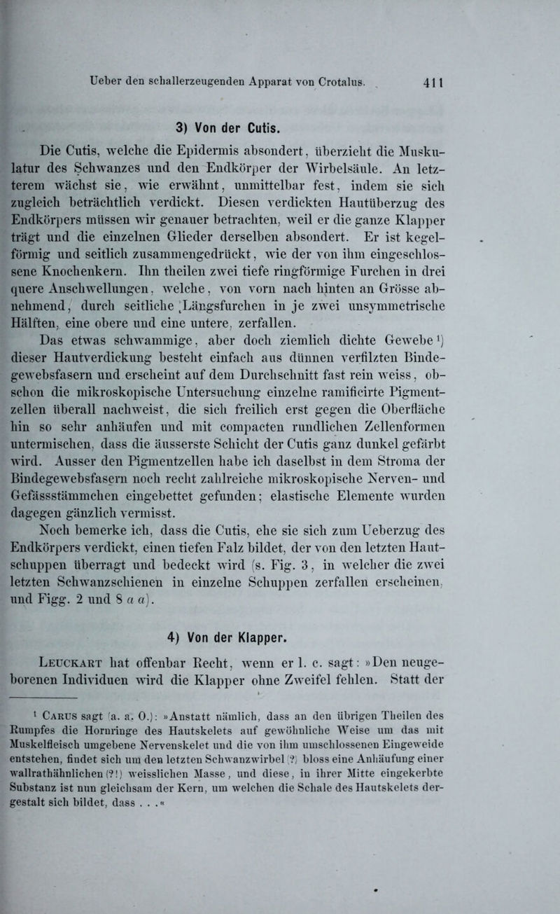 3) Von der Cutis. Die Cutis, welche die Epidennis absondert, überzieht die Musku- latur des Schwanzes und den Endkörper der Wirbelsäule. An letz- terem wächst sie, wie erwähnt, unmittelbar fest, indem sie sich zugleich beträchtlich verdickt. Diesen verdickten Hautüberzug des Endkörpers müssen wir genauer betrachten, weil er die ganze Klapper trägt und die einzelnen Glieder derselben absondert. Er ist kegel- förmig und seitlich zusammengedrückt, wie der von ihm eingeschlos- sene Knochenkern. Ihn theilen zwei tiefe ringförmige Furchen in drei quere Anschwellungen, welche, von vorn nach hinten an Grösse ab- nehmend, durch seitliche tLängsfurchen in je zwei unsymmetrische Hälften, eine obere und eine untere, zerfallen. Das etwas schwammige, aber doch ziemlich dichte Gewebe*) dieser Hautverdickung besteht einfach aus dünnen verfilzten Binde- gewebsfasern und erscheint auf dem Durchschnitt fast rein weiss, ob- schon die mikroskopische Untersuchung einzelne ramificirte Pigment- zellen überall nachweist, die sich freilich erst gegen die Oberfläche hin so sehr anhäufen und mit compacten rundlichen Zellenformen untermischen, dass die äusserste Schicht der Cutis ganz dunkel gefärbt wird. Ausser den Pigmentzellen habe ich daselbst in dem Stroma der Bindegewebsfasern noch recht zahlreiche mikroskopische Nerven- und Gefässstämmchen eingebettet gefunden; elastische Elemente wurden dagegen gänzlich vermisst. Noch bemerke ich, dass die Cutis, ehe sie sich zum Ueberzug des Endkörpers verdickt, einen tiefen Falz bildet, der von den letzten Haut- schuppen überragt und bedeckt wird (s. Fig. 3, in welcher die zwei letzten Schwanz schienen in einzelne Schuppen zerfallen erscheinen, und Figg. 2 und 8 a a). 4) Von der Klapper. Leuckart hat offenbar Recht, wenn er 1. c. sagt: »Den neuge- borenen Individuen wird die Klapper ohne Zweifel fehlen. Statt der 1 Carus sagt ^a. a. 0.): »Anstatt nämlich, dass an den übrigen Tlieilen des Rumpfes die Hornringe des Hautskelets auf gewöhnliche Weise um das mit Muskelfleisch umgebene Nervenskelet und die von ihm umschlossenen Eingeweide entstehen, fiudet sich um den letzten Schwanzwirbel (?) bloss eine Anhäufung einer wallrathähnlichen (?!) weisslichen Masse, und diese, in ihrer Mitte eingekerbte Substanz ist nun gleichsam der Kern, um welchen die Schale des Hautskelets der- gestalt sich bildet, dass . . .«
