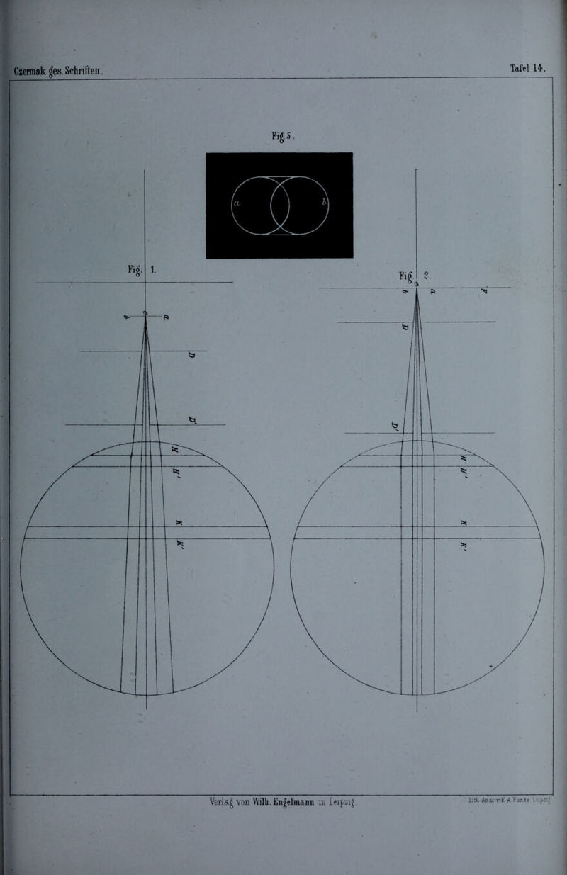 Czermak jjes. Schriften. Veri&g von l\ilh. Engelmami m Leipzig. lifii AnstvEA Funke L-ipnJ