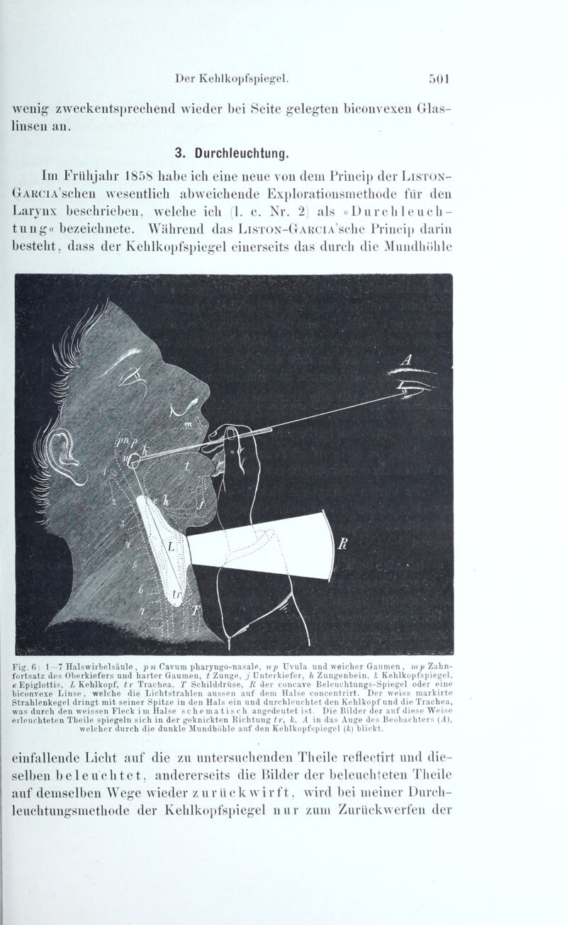wenig1 zweckentsprechend wieder hei Seite gelegten biconvexen Glas- linseu an. 3. Durchleuchtung. Im Frühjahr 1858 habe ich eine neue von dem Princip der Liston- GrARCiA’schen wesentlich abweichende Explorationsmethode für den Larynx beschrieben, welche ich 1. c. Nr. 2 als »Durchleuch- tung« bezeichnete. Während das LiSTON-GARCiA’sche Princip darin besteht, dass der Kehlkopfspiegel einerseits das durch die Mundhöhle Fig. G : 1—7 Halswirbelsäule , pn Cavum pharyngo-nasale, up Uvula und weicher Gaumen , Zahn- fortsatz des Oberkiefers und harter Gaumen, t Zunge, j Unterkiefer, h Zungenbein, 1: Kehlkopfspiegel, «Epiglottis, L Kehlkopf, tr Trachea, T Schilddrüse, R der concave Beleuchtungs-Spiegel oder eine hiconvexe Linse, welche die Lichtstrahlen aussen auf dem Halse concentrirt. Der weiss markirte Strahlenkegel dringt mit seiner Spitze in den Hals ein und durchleuchtet den Kehlkopf und die Trachea, was durch den weissen Fleck im Halse schematisch angedeutet ist. Die Bilder der auf diese Weise erleuchteten Theile spiegeln sich in der geknickten Richtung tr, A\ A in das Auge des Beobachters (-4), welcher durch die dunkle Mundhohle auf den Kehlkopfspiegel (k) blickt. einfallende Licht auf die zu untersuchenden Theile reflectirt und die- selben beleuchtet, andererseits die Bilder der beleuchteten Theile auf demselben Wege wieder z ur ii e k w i r ft, wird bei meiner Durch- leuchtungsmethode der Kehlkopfspiegel nur zum Zurückwerfen der