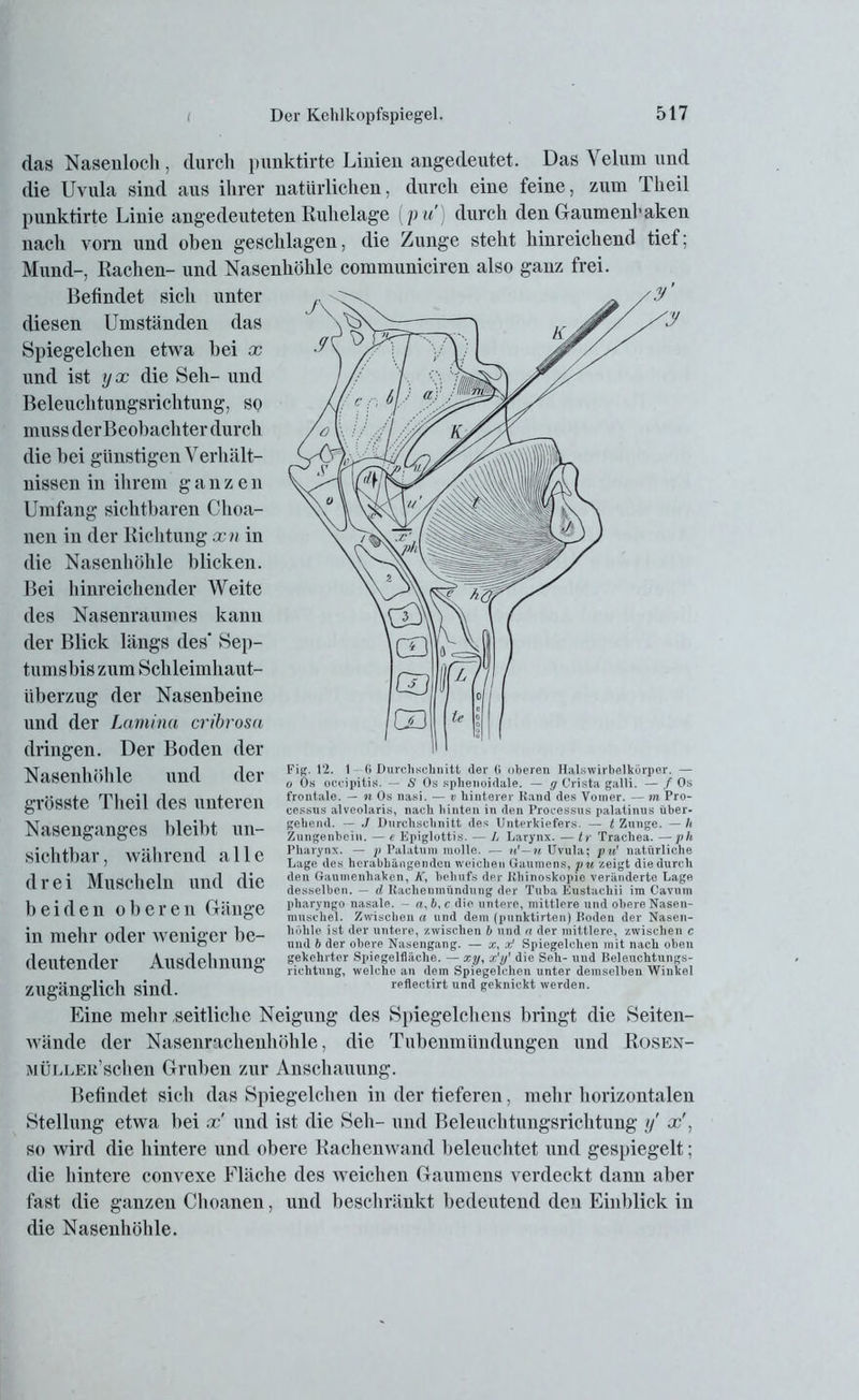 das Nasenloch , durch punktirte Linien angedentet. Das Velum und die Uvula sind aus ihrer natürlichen, durch eine feine, zum Theil punktirte Linie angedeuteten Ruhelage [pu) durch den Gaumenhaken nach vorn und oben geschlagen, die Zunge steht hinreichend tief; Mund-, Rachen- und Nasenhöhle communiciren also ganz frei. Befindet sich unter diesen Umständen das Spiegelchen etwa hei x und ist yx die Seh- und Beleuchtungsrichtung, so muss derBeobachter durch die bei günstigen Verhält- nissen in ihrem ganzen Umfang sichtbaren Choa- nen in der Richtung xn in die Nasenhöhle blicken. Bei hinreichender Weite des Nasenraumes kann der Blick längs des* Sep- tumsbis zum Schleimhaut- überzug der Nasenbeine und der Lamina cribrosa dringen. Der Boden der Nasenhöhle und der grösste Theil des unteren Nasenganges bleibt un- sichtbar, während alle drei Muscheln und die beiden oberen Gänge in mehr oder weniger be- deutender Ausdehnung zugänglich sind. Eine mehr seitliche Neigung wände der Nasenrachenhöhle, MÜLLEu’schen Gruben zur Befindet sich das Spiegelchen in der tieferen, mehr horizontalen Stellung etwa hei x und ist die Seh- und Beleuchtungsrichtung y x\ so wird die hintere und obere Rachenwand beleuchtet und gespiegelt; die hintere convexe Fläche des weichen Gaumens verdeckt dann aber fast die ganzen Choanen, und beschränkt bedeutend den Einblick in die Nasenhöhle. Fig. 12. 1 (i Durchschnitt der (i oberen Halswirbelkörper. — o Os occipitis. — 8 Os sphenoidale. — g Crista galli. — / Os frontale. — n Os nasi. — v hinterer Rand des Voiner. — m Pro- cessus alveolaris, nach hinten in den Processus palatinus über- gehend. — ./ Durchschnitt des Unterkiefers. — t Zunge. — h Zungenbein. — e Epiglottis. — L Larynx. — tr Trachea. —ph Pharynx. — p Palatum raolle. — n’—n Uvula; pu1 natürliche Lage des herabhängenden weichen Gaumens, pu zeigt die durch den Gaumenhaken, K, behufs der Rhinoskopie veränderte Lage desselben. — d Rachenmündung der Tuba Eustachii im Cavum pharyngo nasale. - a,b, c die untere, mittlere und obere Nasen- muschel. Zwischen a und dem (punktirten) Roden der Nasen- höhle ist der untere, zwischen b und n der mittlere, zwischen c und b der obere Nasengang. — x, x1 Spiegelchen mit nach oben gekehrter Spiegelfläche. — zy, x'y' die Seh- und Beleuchtungs- richtung, welche an dem Spiegelchen unter demselben Winkel reflectirt und geknickt werden. des Spiegelchens bringt die Seiten- die Tubenmündungen und Rosen- Anschauung.