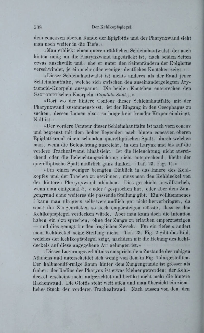 dem concaven oberen Rande der EpigTottis und der Pharynxwand sieht man noch weiter in die Tiefe.« »Man erblickt einen queren röthlichen Schleimhautwulst, der nach hinten innig an die Pharynxwand angedrückt ist, nach beiden Seiten etwas anschwillt und, ehe er unter den Seitenrändern der Epiglottis verschwindet, je ein mehr oder weniger deutliches Knötchen zeigt.« »Dieser Schleimhautwulst ist nichts anderes als der Rand jener Schleimhautfalte, welche sieh zwischen den auseinandergelegten Ary- taenoid-Knorpeln ausspannt. Die beiden Knötchen entsprechen den Santorini’sehen Knorpeln Capituln Sant.).«. »Dort wo der hintere Contour dieser Schleimhautfalte mit der Pharynxwand zusammenstösst, ist der Eingang in den Oesophagus zu suchen, dessen Lumen also, so lauge kein fremder Körper eindringt, Null ist.« »Der vordere Contour dieser Schleimhautfalte ist nach vorn concav und begrenzt mit dem höher liegenden nach hinten concaven oberen Epiglottisrand einen schmalen querelliptischen Spalt, durch welchen man, wenn die Beleuchtung ausreicht, in den Larynx und bis auf die vordere Trachealwand hinabsieht. Ist die Beleuchtung nicht ausrei- chend oder die Beleuchtungsrichtung nicht entsprechend, bleibt der querelliptische Spalt natürlich ganz dunkel. Taf. 23. Fig. 1 .« »Um einen weniger beengten Einblick in das Innere des Kehl- kopfes und der Trachea zu gewinnen, muss man den Kehldeckel von der hinteren Pharynxwand abheben. Dies geschieht unwillkürlich, wenn man einigemal «, e oder i gesprochen hat, oder aber dem Zun- gengrund ohne weiteres die passende Stellung gibt. Ein vollkommenes i kann man übrigens selbstverständlich gar nicht hervorbringen. da sonst der Zungenrücken so hoch emporsteigen müsste, dass er den Kehlkopfspiegel verdecken würde. Aber man kann doch die Intention haben ein i zu sprechen. ohne der Zunge zu erlauben emporzusteigen — und dies genügt für den fraglichen Zweck. Für ein tiefes a ändert mein Kehldeckel seine Stellung nicht. Taf. 23, Fig. 2 gibt das Bild, welches der Kehlkopfspiegel zeigt, nachdem mir die Hebung des Kehl- deckels auf diese angegebene Art gelungen ist.« »Dieses Lagerungsverkältniss entspricht dem Zustande des ruhigen Athmens und unterscheidet sich wenig von dem in Fig. I dargestellten. Der halbmondförmige Raum hinter dem Zungengrunde ist grösser als früher; der Radius des Pharynx ist etwas kleiner geworden: der Kehl- deckel erscheint mehr aufgerichtet und berührt nicht mehr die hintere Rachenwand. Die Glottis stellt weit offen und man übersieht ein ziem- liches Stück der vorderen Trachealwand. Nach aussen von den. den