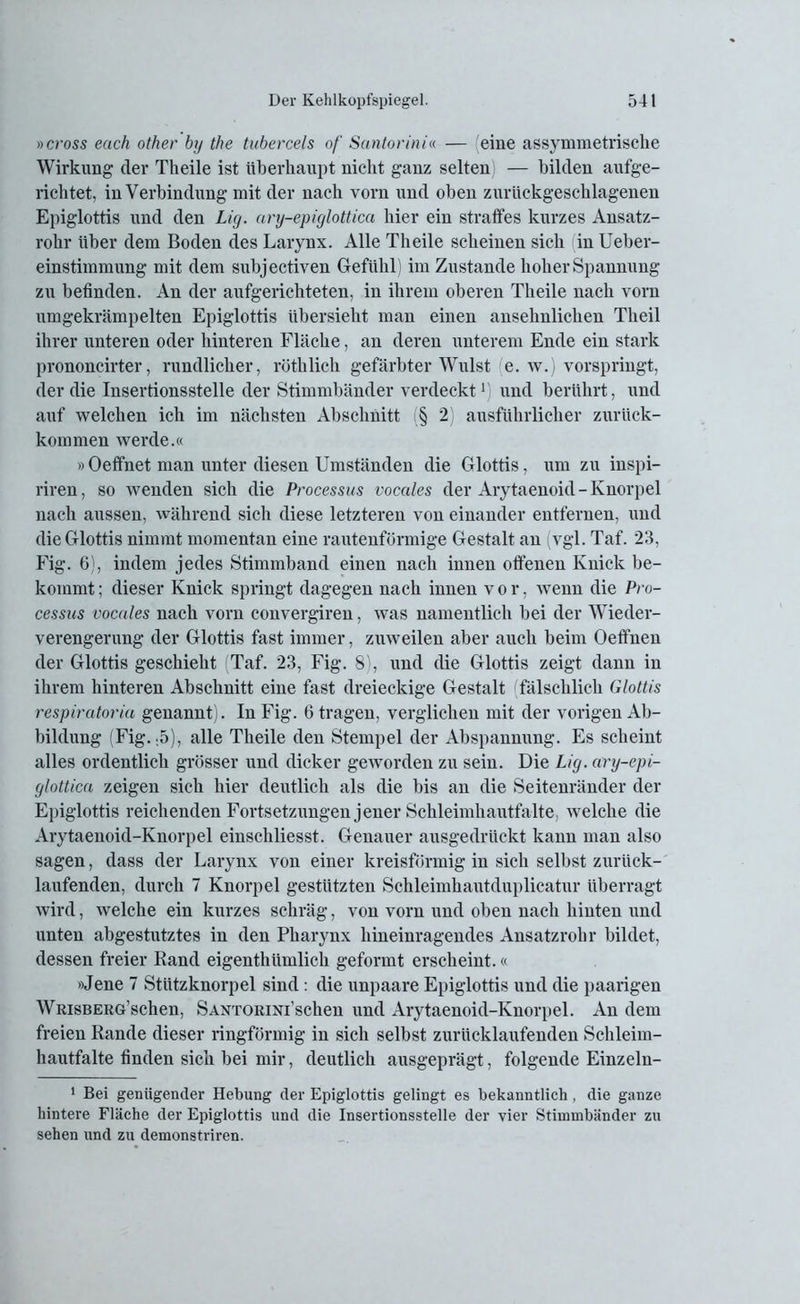 »cross euch other by the tubercels of Santorini« — eine unsymmetrische Wirkung der Theile ist überhaupt nicht ganz selten — bilden aufge- richtet, in Verbindung mit der nach vorn und oben zurückgeschlagenen Epiglottis und den Lig. ary-epiglottica hier ein straffes kurzes Ansatz- rohr über dem Boden des Larynx. Alle Theile scheinen sich in Ueber- einstimmung mit dem subjectiven Gefühl ) im Zustande hoher Spannung zu befinden. An der aufgerichteten, in ihrem oberen Theile nach vorn umgekrämpeiten Epiglottis übersieht man einen ansehnlichen Theil ihrer unteren oder hinteren Fläche, an deren unterem Ende ein stark prononcirter, rundlicher, röthlich gefärbter Wulst (e. w.) vorspringt, der die Insertionsstelle der Stimmbänder verdeckt1 und berührt, und auf welchen ich im nächsten Abschnitt (§ 2) ausführlicher zurück- kommen werde.« »Oeffnet man unter diesen Umständen die Glottis, um zu inspi- riren, so wenden sich die Processus vocales der Arytaenoid - Knorpel nach aussen, während sich diese letzteren von einander entfernen, und die Glottis nimmt momentan eine rautenförmige Gestalt an vgl. Taf. 23, Fig. 6), indem jedes Stimmband einen nach innen offenen Knick be- kommt; dieser Knick springt dagegen nach innen vor, wenn die Pro- cessus vocales nach vorn convergiren, was namentlich bei der Wieder- verengerung der Glottis fast immer, zuweilen aber auch beim Oeffnen der Glottis geschieht Taf. 23, Fig. 8), und die Glottis zeigt dann in ihrem hinteren Abschnitt eine fast dreieckige Gestalt fälschlich Glottis respiratoria genannt). In Fig. 6 tragen, verglichen mit der vorigen Ab- bildung (Fig. ,5), alle Theile den Stempel der Abspannung. Es scheint alles ordentlich grösser und dicker geworden zu sein. Die Lig. ary-epi- glottica zeigen sich hier deutlich als die bis an die Seitenränder der Epiglottis reichenden Fortsetzungen jener Schleimhautfalte, welche die Arytaenoid-Knorpel einschliesst. Genauer ausgedrückt kann man also sagen, dass der Larynx von einer kreisförmig in sich selbst zurück- laufenden, durch 7 Knorpel gestützten Schleimhautduplicatur überragt wird, welche ein kurzes schräg, von vorn und oben nach hinten und unten abgestutztes in den Pharynx hineinragendes Ansatzrohr bildet, dessen freier Rand eigenthümlich geformt erscheint.« »Jene 7 Stützknorpel sind: die unpaare Epiglottis und die paarigen WRisBERG’schen, SANTORiNi'schen und Arytaenoid-Knorpel. An dem freien Rande dieser ringförmig in sich selbst zurücklaufenden Schleim- hautfalte finden sich bei mir, deutlich ausgeprägt, folgende Einzeln- 1 Bei genügender Hebung der Epiglottis gelingt es bekanntlich , die ganze hintere Fläche der Epiglottis und die Insertionsstelle der vier Stimmbänder zu sehen und zu demonstriren.