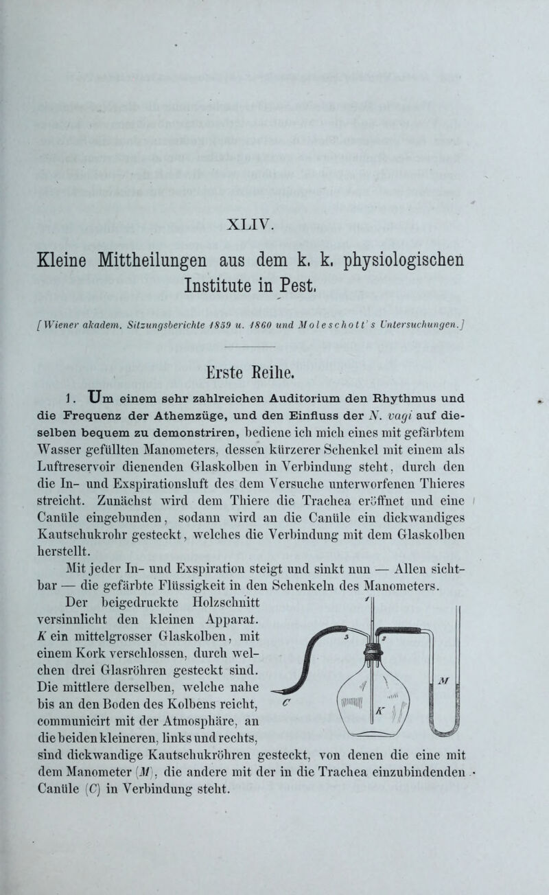 XLIV. Kleine Mittheilungen aus dem k. k. physiologischen Institute in Pest, [Wiener akadem. Sitzungsberichte 185!) u. 1860 und Moleschotts Untersuchungen.] Erste Reihe. 1. Um einem sehr zahlreichen Auditorium den Rhythmus und die Frequenz der Athemzüge, und den Einfluss der N. vagi auf die- selben bequem zu demonstriren, bediene ich mich eines mit gefärbtem Wasser gefüllten Manometers, dessen kürzerer Schenkel mit einem als Luftreservoir dienenden Glaskolben in Verbindung steht, durch den die In- und Exspirationsluft des dem Versuche unterworfenen Thieres streicht. Zunächst wird dem Thiere die Trachea eröffnet und eine Canlile eingebunden, sodann wird an die Canäle ein dickwandiges Kautschukrohr gesteckt, welches die Verbindung mit dem Glaskolben herstellt. Mit jeder In- und Exspiration steigt und sinkt nun — Allen sicht- bar — die gefärbte Flüssigkeit in den Schenkeln des Manometers. Der beigedruckte Holzschnitt versinnlicht den kleinen Apparat. K ein mittelgrosser Glaskolben, mit einem Kork verschlossen, durch wel- chen drei Glasröhren gesteckt sind. Die mittlere derselben, welche nahe bis an den Boden des Kolbens reicht, communicirt mit der Atmosphäre, an die beiden kleineren, links und rechts, sind dickwandige Kautschukröhren gesteckt, von denen die eine mit dem Manometer [M), die andere mit der in die Trachea eiuzubindenden • Caniile (C) in Verbindung steht.
