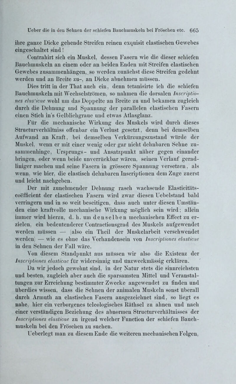 ihre ganze Dicke gehende Streifen reinen exquisit elastischen Gewebes eingeschaltet sind! Contrahirt sich ein Muskel, dessen Fasern wie die dieser schiefen Bauchmuskeln an einem oder an beiden Enden mit Streifen elastischen Gewebes Zusammenhängen, so werden zunächst diese Streifen gedehnt werden und an Breite zu-, an Dicke abnehmen müssen. Dies tritt in der That auch ein, denn tetanisirte ich die schiefen Bauchmuskeln mit Wechselströmen, so nahmen die dorsalen Inscriptio- nes elasticae wohl um das Doppelte an Breite zu und bekamen zugleich durch die Dehnung und Spannung der parallelen elastischen Fasern einen Stich in’s Gelblichgraue und etwas Atlasglanz. Für die mechanische Wirkung des Muskels wird durch dieses Structurverkältniss offenbar ein Verlust gesetzt, denn bei demselben Aufwand an Kraft, bei demselben Verkürzungszustand würde der Muskel, wenn er mit einer wenig oder gar nicht dehnbaren Sehne zu- sammenhinge, Ursprungs- und Ansatzpunkt näher gegen einander bringen, oder wenn beide unverrückbar wären, seinen Verlauf gerad- liniger machen und seine Fasern in grössere Spannung versetzen, als wenn, wie hier, die elastisch dehnbaren Inscriptionen dein Zuge zuerst und leicht nachgeben. Der mit zunehmender Dehnung rasch wachsende Elasticitäts- coefficient der elastischen Fasern wird zwar diesen Uebelstand bald verringern und in so weit beseitigen, dass auch unter diesen Umstän- den eine kraftvolle mechanische Wirkung möglich sein wird: allein immer wird hierzu, d. li. um denselben mechanischen Effect zu er- zielen, ein bedeutenderer Contractionsgrad des Muskels aufgewendet werden müssen — (also ein Theil der Muskelarbeit verschwendet werden — wie es ohne das Vorhandensein von lnscriptiones elasticae in den Sehnen der Fall wäre. Von diesem Standpunkt aus müssen wir also die Existenz der lnscriptiones elasticae für widersinnig und ünzweckmässig erklären. Da wir jedoch gewohnt sind, in der Natur stets die sinnreichsten und besten, zugleich aber auch die sparsamsten Mittel und Veranstal- tungen zur Erreichung bestimmter Zwecke angewendet zu finden und überdies wissen, dass die Sehnen der animalen Muskeln sonst überall durch Armuth an elastischen Fasern ausgezeichnet sind, so liegt es nahe, hier ein verborgenes teleologisches Räthsel zu ahnen und nach einer verständigen Beziehung des abnormen Structurverhältnisses der lnscriptiones elasticae zu irgend welcher Function der schiefen Bauch- muskeln bei den Fröschen zu suchen. Ueberlegt man zu diesem Ende die weiteren mechanischen Folgen,