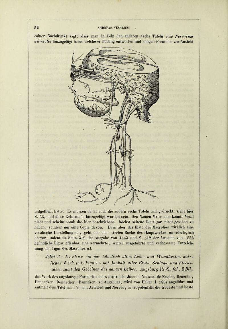 cölner Nachdrucke sagt: dass man in Cöln den anderen sechs Tafeln eine Nervorum delineatio liinzugefügt habe, welche er flüchtig entworfen und einigen Freunden zur Ansicht mitgetheilt hatte. Es müssen daher auch die andern sechs Tafeln nachgedruckt, siehe hier S. 53, und diese Gehirntafel hinzugefügt worden sein. Den Namen Macrolios kannte Vesal nicht und scheint somit das hier beschriebene, höchst seltene Blatt gar nicht gesehen zu haben, sondern nur eine Copie davon. Dass aber das Blatt des Macrolios wirklich eine vesalische Darstellung sei, geht aus dem vierten Buche des Hauptwerkes unwiderleglich hervor, indem die Seite 319 der Ausgabe von 1543 und S. 512 der Ausgabe von 1555 befindliche Figur offenbar eine vermehrte, weiter ausgeführte und verbesserte Umzeich- nung der Figur des Macrolios ist. Jobst de Neck er ein gar künstlich allen Leib- und Wundärzten nütz- liches Werk in 6 Figuren mit Innhalt aller Blut- Schlag- und Flechs- adern samt den Gebeinen des ganzen Leibes. Augsburg foL, 6 Bll., das Werk des augsburger Formschneiders Jobst oder Jost de Necker, de Negker, Denecker, Dennecker, Donnecker, Danneker, zu Augsburg, wird von Haller (I. 180) angeführt und enthielt dem Titel nach Venen, Arterien und Nerven; es ist jedenfalls die treueste und beste