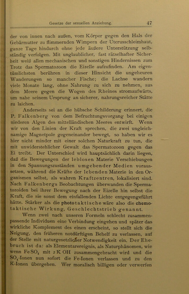 / 4 der von innen nach außen, vom Körper gegen den Hals der Gebärmutter zu flimmernden Wimpern der Uterusschleimhaut, ganze Tage hindurch ohne jede äußere Unterstützung selb- ständig verfolgen. Mit unglaublicher, fast rätselhafter Sicher- heit weiß allen mechanischen und sonstigen Hindernissen zum Trotz das Spermatozoon die Eizelle aufzufinden. Am eigen- tümlichsten berühren in dieser Hinsicht die ungeheuren Wanderungen so mancher Fische; die Lachse wandern viele Monate lang, ohne Nahrung zu sich zu nehmen, aus dem Meere gegen die Wogen des Rheines stromaufwärts, um nahe seinem Ursprung an sicherer, nahrungsreicher Stätte zu laichen. Anderseits sei an die hübsche Schilderung erinnert, die P. Falkenberg von dem Befruchtungsvorgang bei einigen niederen Algen des mittelländischen Meeres entwirft. Wenn wir von den Linien der Kraft sprechen, die zwei ungleich- namige Magnetpole gegeneinander bewegt, so haben wir es hier nicht minder mit einer solchen Naturkraft zu tun, die mit unwiderstehlicher Gewalt das Spermatozoon gegen das Ei treibt. Der Unterschied wird hauptsächlich darin liegen, daß die Bewegungen der leblosen Materie Verschiebungen in den Spannungszuständen umgebender Medien voraus- setzen, während die Kräfte der lebenden Materie in den Or- ganismen selbst, als wahren Kraftzentren, lokalisiert sind. Nach Falkenbergs Beobachtungen überwanden die Sperma- tozoiden bei ihrer Bewegung nach der Eizelle hin selbst die Kraft, die sie sonst dem einfallenden Lichte entgegengeführt hätte. Stärker als die phototaktische wäre also die chemo- taktische Wirkung, Geschlechtstrieb genannt. Wenn zwei nach unseren Formeln schlecht zusammen- passende Individuen eine Verbindung eingehen und später das wirkliche Komplement des einen erscheint, so stellt sich die Neigung, den früheren notdürftigen Behelf zu verlassen, auf der Stelle mit naturgesetzlicfier Notwendigkeit ein. Der Ehe- bruch ist da: als Elementarereignis, als Naturphänomen, wie wenn FeS04 mit 2 K OH zusammengebracht wird und die S04-Ionen nun sofort die Fe-Ionen verlassen und zu den K-Ionen übergehen. Wer moralisch billigen oder verwerfen