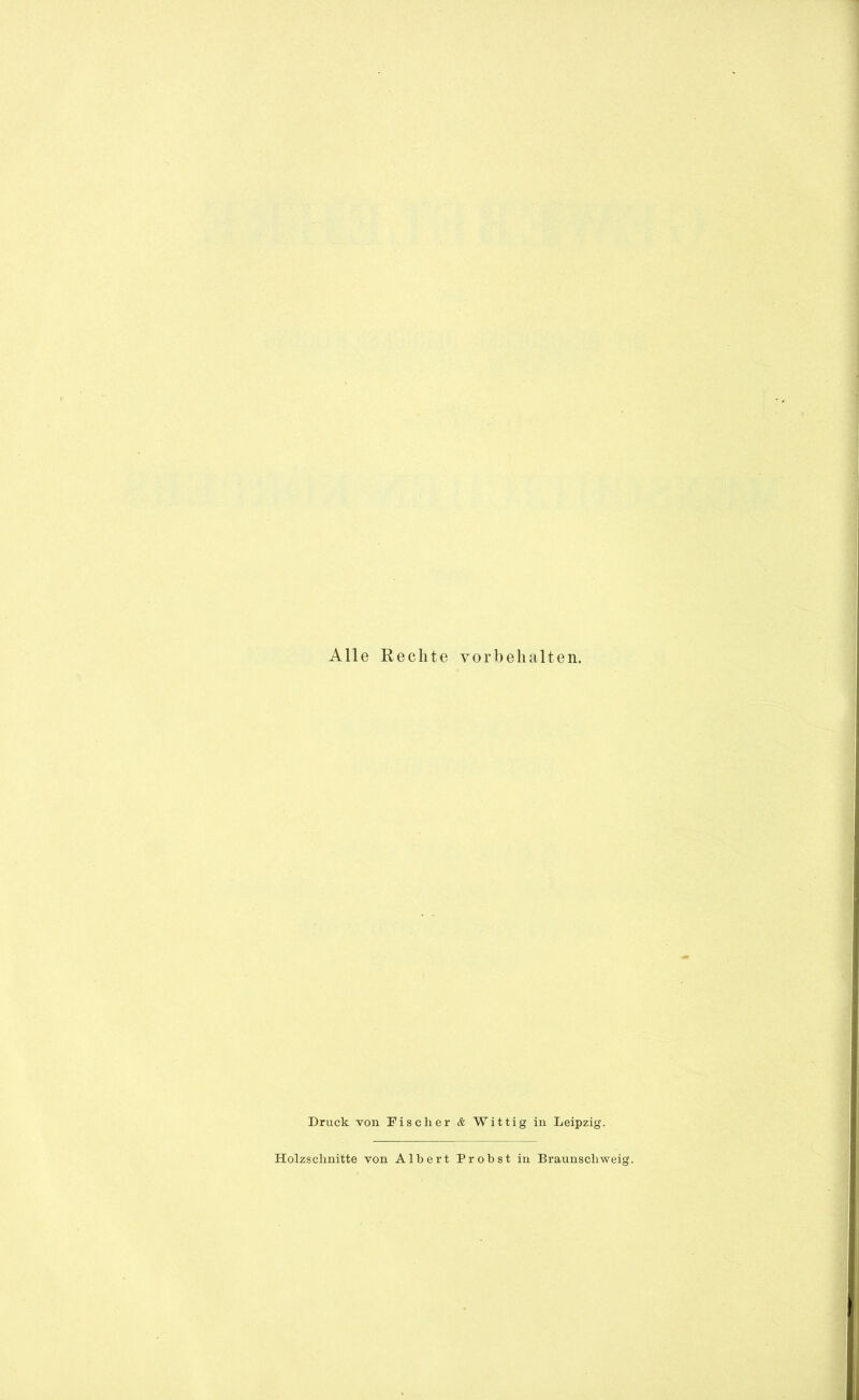 Alle Rechte Vorbehalten. Druck von Fischer & Wittig in Leipzig. Holzschnitte von Albert Probst in Braunschweig.