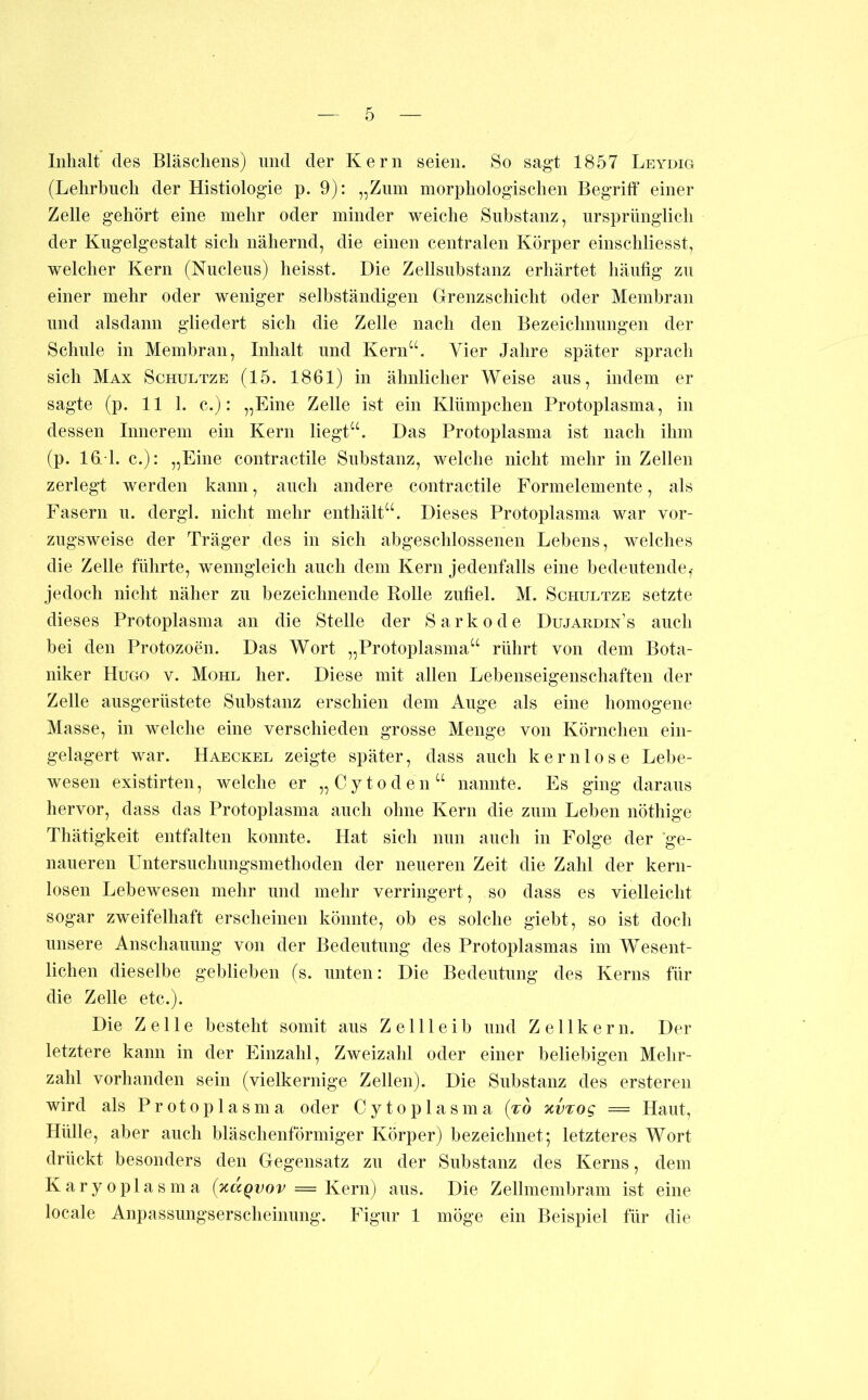 Inhalt des Bläschens) nnd der Kern seien. So sagt 1857 Leydig (Lehrbuch der Histiologie p. 9): „Zum morphologischen Begriff einer Zelle gehört eine mehr oder minder weiche Substanz, ursprünglich der Kugelgestalt sich nähernd, die einen centralen Körper einschliesst, welcher Kern (Nucleus) heisst. Die Zellsubstanz erhärtet häufig zu einer mehr oder weniger selbständigen Grenzschicht oder Membran und alsdann gliedert sich die Zelle nach den Bezeichnungen der Schule in Membran, Inhalt und Kern“. Vier Jahre später sprach sich Max Schultze (15. 1861) in ähnlicher Weise aus, indem er sagte (p. 11 1. c.): „Eine Zelle ist ein Klümpchen Protoplasma, in dessen Innerem ein Kern liegt“. Das Protoplasma ist nach ihm (p. 16l1. c.): „Eine contractile Substanz, welche nicht mehr in Zellen zerlegt werden kann, auch andere contractile Eormelemente, als Fasern u. dergl. nicht mehr enthält“. Dieses Protoplasma war vor- zugsweise der Träger des in sich abgeschlossenen Lebens, welches die Zelle führte, wenngleich auch dem Kern jedenfalls eine bedeutende,- jedoch nicht näher zu bezeichnende Rolle zufiel. M. Schultze setzte dieses Protoplasma an die Stelle der Sarkode Dujardin’s auch bei den Protozoen. Das Wort „Protoplasma“ rührt von dem Bota- niker Hugo v. Mohl her. Diese mit allen Lebenseigenschaften der Zelle ausgerüstete Substanz erschien dem Auge als eine homogene Masse, in welche eine verschieden grosse Menge von Körnchen ein- gelagert war. Haeckel zeigte später, dass auch kernlose Lebe- wesen existirten, welche er „Cytoden“ nannte. Es ging daraus hervor, dass das Protoplasma auch ohne Kern die zum Leben nöthige Thätigkeit entfalten konnte. Hat sich nun auch in Folge der ge- naueren Untersuchungsmethoden der neueren Zeit die Zahl der kern- losen Lebewesen mehr und mehr verringert, so dass es vielleicht sogar zweifelhaft erscheinen könnte, ob es solche giebt, so ist doch unsere Anschauung von der Bedeutung des Protoplasmas im Wesent- lichen dieselbe geblieben (s. unten: Die Bedeutung des Kerns für die Zelle etc.). Die Zelle besteht somit aus Zellleib und Zellkern. Der letztere kann in der Einzahl, Zweizahl oder einer beliebigen Mehr- zahl vorhanden sein (vielkernige Zellen). Die Substanz des ersteren wird als Protoplasma oder Cytoplasma (-rd %vTog = Haut, Hülle, aber auch bläschenförmiger Körper) bezeichnet; letzteres Wort drückt besonders den Gegensatz zu der Substanz des Kerns, dem Karyoplasma (^agvov = Kern) aus. Die Zellmembram ist eine locale Anpassungserscheinung. Figur 1 möge ein Beispiel für die