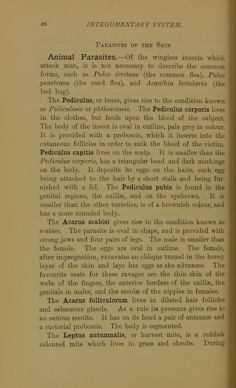 Parasites of the Skin Animal Parasites.—Of the wingless insects which attack man, it is not necessary to describe the common forms, such as Pulex irritans (the common flea), Pulex penetrans (the sand flea), and Acantliia leciularia (the bed hug). The Pediculus, or louse, gives rise to the condition known as Pediculosis or phtheiriasis. The Pediculus corporis lives in the clothes, but feeds upon the blood of the subject. The body of the insect is oval in outline, pale grey in colour. It is provided with a proboscis, which it inserts into the cutaneous follicles in order to suck the blood of the victim. Pediculus capitis lives on the scalp. It is smaller than the Pediculus corporis, has a triangular head and dark markings on the body. It deposits its eggs on the hairs, each egg being attached to the hair by a short stalk and being fur- nished with a lid. The Pediculus pubis is found in the genital regions, the axillae, and on the eyebrows. It is smaller than the other varieties, is of a brownish colour, and has a more rounded body. The Acarus scabiei gives rise to the condition known as scabies. The parasite is oval in shape, and is provided with strong jaws and four pairs of legs. The male is smaller than the female. The eggs are oval in outline. The female, after impregnation, excavates an oblique tunnel in the horny layer of the skin and lays her eggs as she advances. The favourite seats for these ravages are the thin skin of the webs of the fingers, the anterior borders of the axillae, the genitals in males, and the areolae of the nipples in females. The Acarus folliculorum lives in dilated hair follicles and sebaceous glands. As a rule its presence gives rise to no serious results. It has on its head a pair of antennae and a suctorial proboscis. The body is segmented. The Leptus autumnalis, or harvest mite, is a reddish coloured mite which lives in grass and shrubs. During