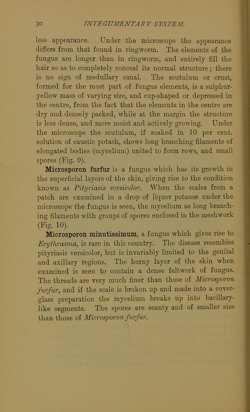 less appearance. Under the microscope the appearance differs from that found in ringworm. The elements of the fungus are longer than in ringworm, and entirely fill the hair so as to completely conceal its normal structure; there is no sign of medullary canal. The scutulum or crust, formed for the most part of fungus elements, is a sulphur- yellow mass of varying size, and cup-shaped or depressed in the centre, from the fact that the elements in the centre are dry and densely packed, while at the margin the structure is less dense, and more moist and actively growing. Under the microscope the scutulum, if soaked in 10 per cent, solution of caustic potash, shows long branching filaments of elongated bodies (mycelium) united to form rows, and small spores (Fig. 9). Microsporon furfur is a fungus which has its growth in the superficial layers of the skin, giving rise to the condition known as Pityriasis versicolor. When the scales from a patch are examined in a drop of liquor potassse under the microscope the fungus is seen, the mycelium as long branch- ing filaments with groups of spores enclosed in the meshwork (Fig. 10). Microsporon minutissimum, a fungus which gives rise to jErythrasma, is rare in this country. The disease resembles pityriasis versicolor, but is invariably limited to the genital and axillary regions. The horny layer of the skin when examined is seen to contain a dense feltwork of fungus. The threads are very much finer than those of Microsporon furfur, and if the scale is broken up and made into a cover- glass preparation the mycelium breaks up into bacillary- like segments. The spores are scanty and of smaller size than those of Microsporon furfur.