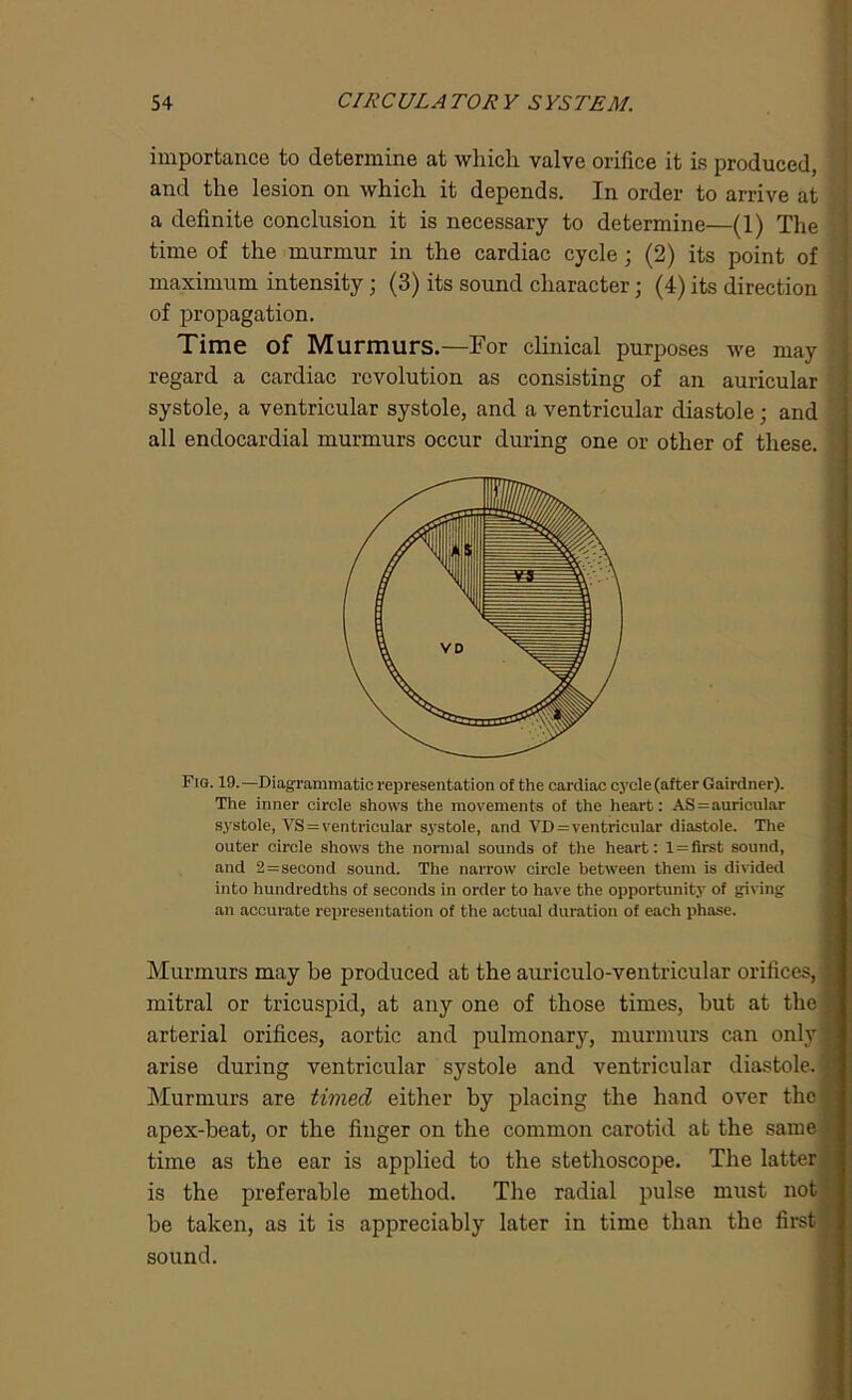 importance to determine at which valve orifice it is produced, and the lesion on which it depends. In order to arrive at a definite conclusion it is necessary to determine—(1) The time of the murmur in the cardiac cycle; (2) its point of maximum intensity; (3) its sound character; (4) its direction of propagation. Time of Murmurs.—For clinical purposes we may regard a cardiac revolution as consisting of an auricular systole, a ventricular systole, and a ventricular diastole; and all endocardial murmurs occur during one or other of these. Fig. 19.—Diagrammatic representation of the cardiac cycle (after Gairdner). The inner circle shows the movements of the heart: AS = auricular systole, VS = ventricular systole, and VD = ventricular diastole. The outer circle shows the normal sounds of the heart: 1=first sound, and 2=second sound. The narrow circle between them is divided into hundredths of seconds in order to have the opportunity of giving an accurate representation of the actual duration of each phase. Murmurs may be produced at the auriculo-ventricular orifices, mitral or tricuspid, at any one of those times, but at the; arterial orifices, aortic and pulmonary, murmurs can only j arise during ventricular systole and ventricular diastole. Murmurs are timed either by placing the hand over the apex-beat, or the finger on the common carotid at the same time as the ear is applied to the stethoscope. The latter is the preferable method. The radial pulse must not be taken, as it is appreciably later in time than the first sound.