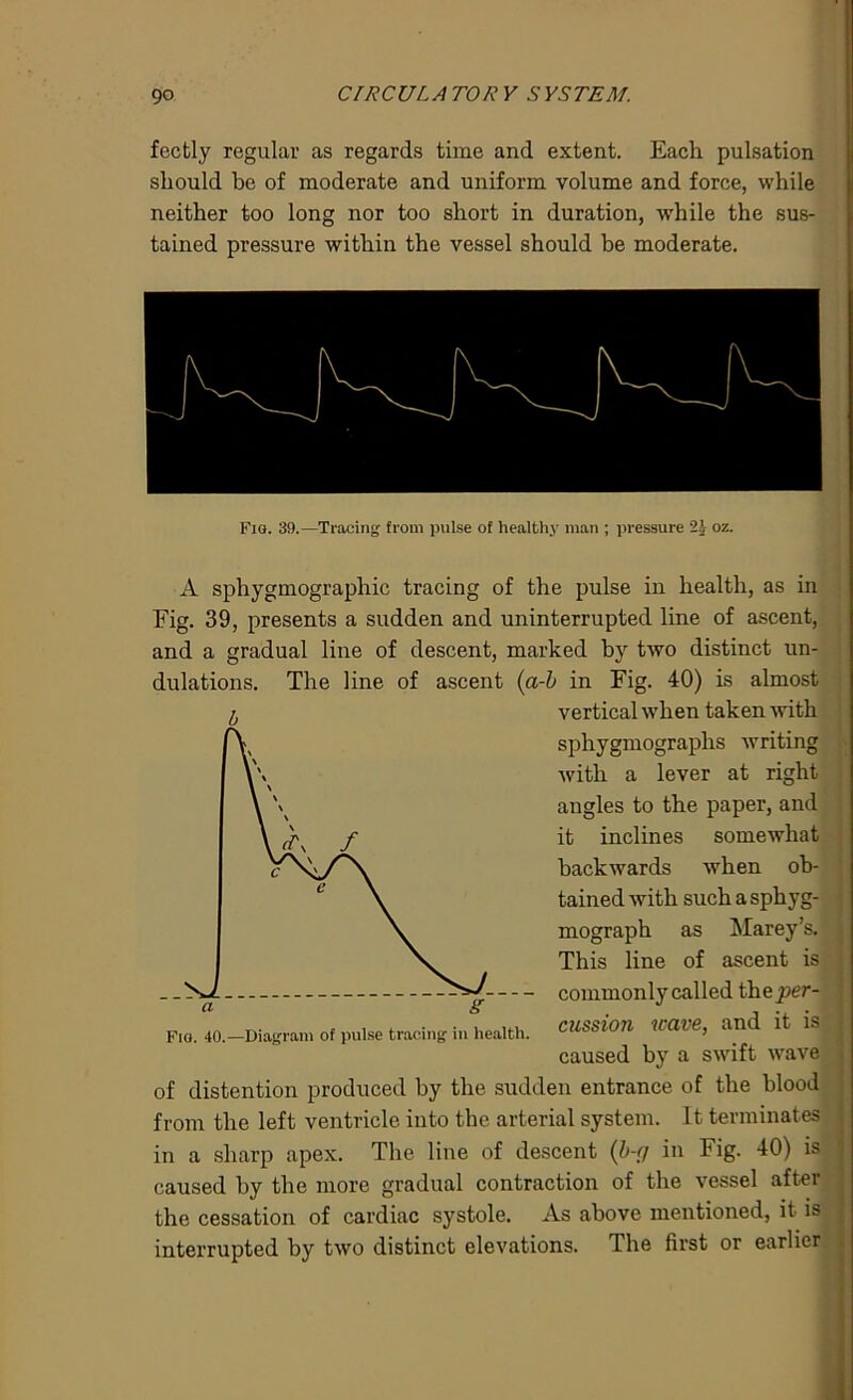 fectly regular as regards time and extent. Each pulsation should he of moderate and uniform volume and force, while neither too long nor too short in duration, while the sus- tained pressure within the vessel should be moderate. Fio. 39.—Tracing from pulse of healthy man ; pressure 2i oz. A sphygmographic tracing of the pulse in health, as in Fig. 39, presents a sudden and uninterrupted line of ascent, and a gradual line of descent, marked by two distinct un- dulations. The line of ascent (a-h in Fig. 40) is almost vertical when taken with sphygmographs writing with a lever at right angles to the paper, and it inclines somewhat backwards when ob- tained with such a sphyg- mograph as Marey’s. This line of ascent is commonly called thejjer- cussion wave, and it is caused by a swift wave of distention produced by the sudden entrance of the blood from the left ventricle into the arterial system. It terminates in a sharp apex. The line of descent (b-fj in Fig. 40) is caused by the more gradual contraction of the vessel after the cessation of cardiac systole. As above mentioned, it is interrupted by two distinct elevations. The first or earlier Fio. 40.—Diagram of pulse tracing in health.