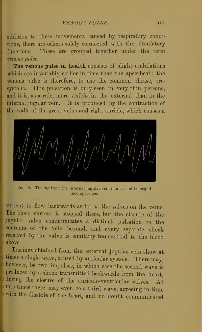 VENOUS PULSE. IOI addition to these movements caused by respiratory condi- tions, there are others solely connected with the circulatory functions. These are grouped together under the term I venous pulse. The venous pulse in health consists of slight undulations which are invariably earlier in time than the apex-beat; the venous pulse is therefore, to use the common phrase, pre- I systolic. This pulsation is only seen in very thin persons, l and it is, as a rule, more visible in the external than in the | internal jugular vein. It is produced by the contraction of the walls of the great veins and right auricle, which causes a Fig. 49.—Tracing from the internal jugular vein in a case of tricuspid incompetence. ' current to How backwards as far as the valves on the veins. » The blood current is stopped there, but the closure of the jugular valve communicates a distinct pulsation to the I contents of the vein beyond, and every separate shock » received by the valve is similarly transmitted to the blood < above. Tracings obtained from the external jugular vein show at I times a single wave, caused by auricular systole. There may, ? however, be two impulses, in which case the second wave is P1 produced by a shock transmitted backwards from the heart, c during the closure of the auriculo-ventricular valves. At i rare times there may even be a third wave, agreeing in time 1 with the diastole of the heart, and no doubt communicated