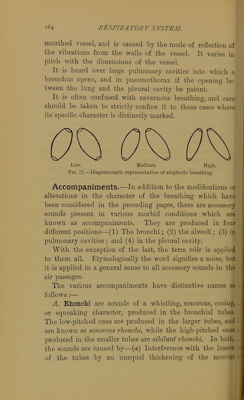 mouthed vessel, and is caused by the mode of reflection of the vibrations from the walls of the vessel. It varies in pitch with the dimensions of the vessel. It is heard over large pulmonary cavities into which a bronchus opens, and in pneumothorax if the opening be- tween the lung and the pleural cavity be patent. It is often confused with cavernous breathing, and care should be taken to strictly confine it to those cases where its specific character is distinctly marked. Low. Medium. High. Fig. 71.—Diagrammatic representation of amphoric breathing. Accompaniments.—In addition to the modifications or alterations in the character of the breathing which have been considered in the preceding pages, there are accessory sounds present in various morbid conditions which are known as accompaniments. They are produced in four different positions—(1) The bronchi; (2) the alveoli; (3) in pulmonary cavities; and (4) in the pleural cavity. With the exception of the last, the term rule is applied to them all. Etymologically the word signifies a noise, but it is applied in a general sense to all accessory sounds in the air passages. The various accompaniments have distinctive names as follows:— A. Rhonchi are sounds of a whistling, sonorous, cooing, or squeaking character, produced in the bronchial tubes. The low-pitched ones are produced in the larger tubes, and are known as sonorous rlionchi, while the high-pitched ones produced in the smaller tubes are sibilant rlionchi. In both, the sounds are caused by—(a) Interference with the lumen of the tubes by an unequal thickening of the mucous