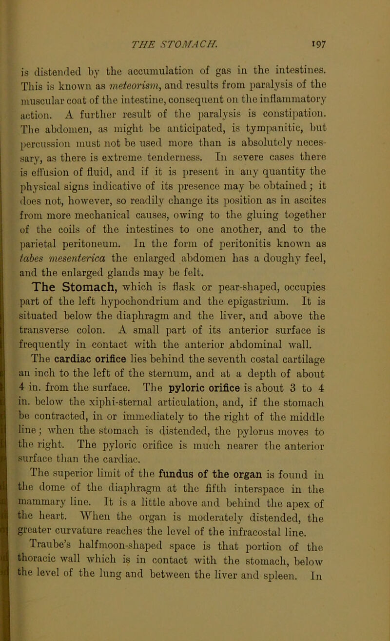 is distended by the accumulation of gas in the intestines. This is known as meteorism, and results from paralysis of the muscular coat of the intestine, consequent on the inflammatory action. A further result of the paralysis is constipation. The abdomen, as might be anticipated, is tympanitic, but percussion must not be used more than is absolutely neces- sary, as there is extreme tenderness. In severe cases there is effusion of fluid, and if it is present in any quantity the physical signs indicative of its presence may be obtained; it does not, however, so readily change its position as in ascites from more mechanical causes, owing to the gluing together of the coils of the intestines to one another, and to the parietal peritoneum. In the form of peritonitis known as tabes mesenterica the enlarged abdomen has a doughy feel, and the enlarged glands may be felt. The Stomach, which is flask or pear-shaped, occupies part of the left hypocliondrium and the epigastrium. It is situated below the diaphragm and the liver, and above the transverse colon. A small part of its anterior surface is frequently in contact with the anterior abdominal Avail. The cardiac orifice lies behind the seventh costal cartilage an inch to the left of the sternum, and at a depth of about 4 in. from the surface. The pyloric orifice is about 3 to 4 in. beloAv the xiphi-sternal articulation, and, if the stomach be contracted, in or immediately to the right of the middle line; Avhen the stomach is distended, the pylorus moves to the right. The pyloric orifice is much nearer the anterior surface than the cardiac. The superior limit of the fundus of the organ is found in the dome of the diaphragm at the fifth interspace in the mammary line. It is a little above and behind the apex of the heart. When the organ is moderately distended, the greater curvature reaches the level of the infracostal line. Traube’s half moon-shaped space is that portion of the thoracic Avail which is in contact Avitli the stomach, beloAv the level of the lung and betAveen the liver and spleen. In